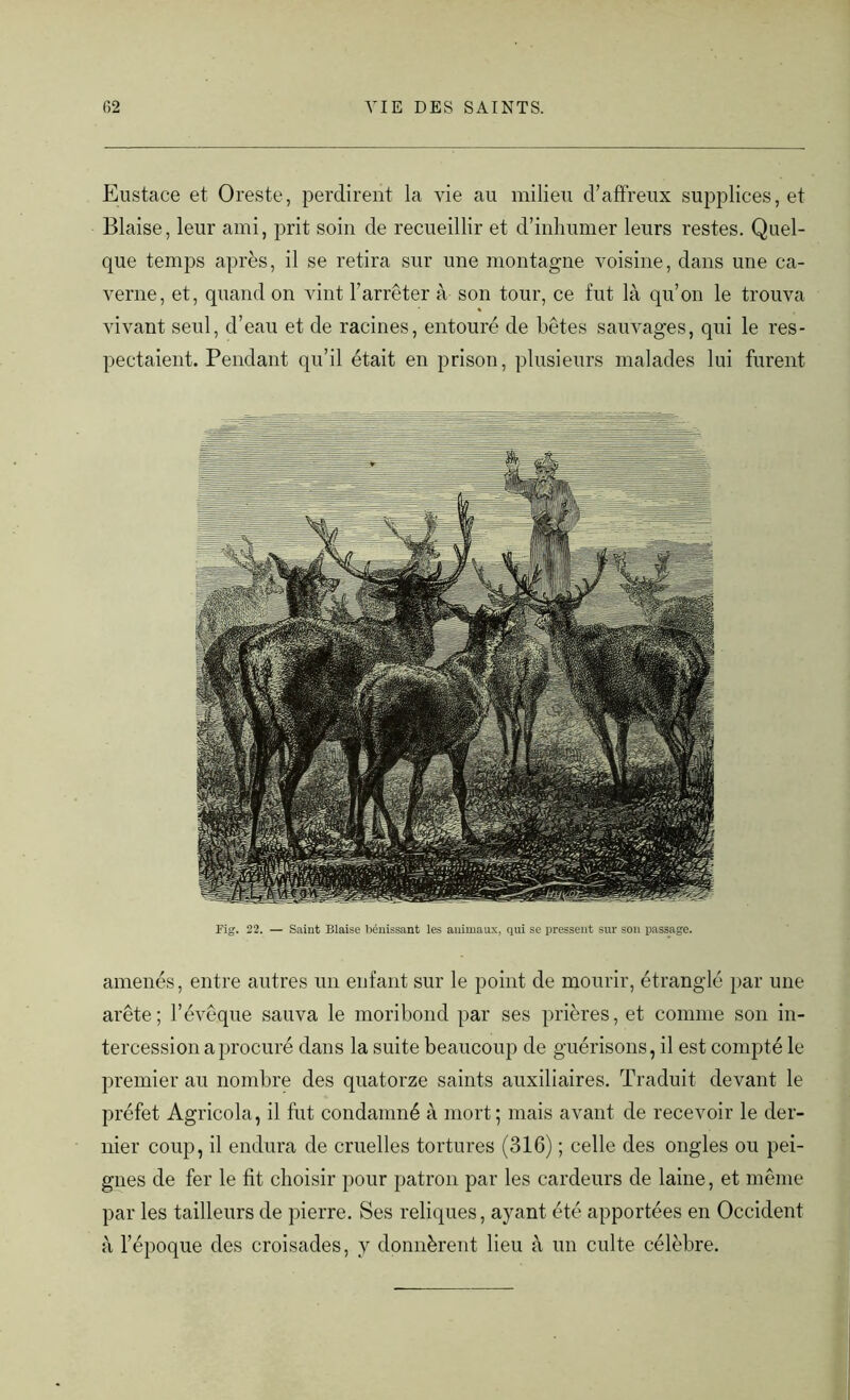 amenés, entre autres un enfant sur le point de mourir, étranglé par une arête; l’évêque sauva le moribond par ses prières, et comme son in- tercession a procuré dans la suite beaucoup de guérisons, il est compté le premier au nombre des quatorze saints auxiliaires. Traduit devant le préfet Agricola, il fut condamné à mort; mais avant de recevoir le der- nier coup, il endura de cruelles tortures (316) ; celle des ongles ou pei- gnes de fer le fit choisir pour patron par les cardeurs de laine, et même par les tailleurs de pierre. Ses reliques, ayant été apportées en Occident à l’époque des croisades, y donnèrent lieu à un culte célèbre. Eustace et Oreste, perdirent la vie au milieu d’affreux supplices, et Biaise, leur ami, prit soin de recueillir et d’inhumer leurs restes. Quel- que temps après, il se retira sur une montagne voisine, dans une ca- verne, et, quand on vint l’arrêter à son tour, ce fut là qu’on le trouva vivant seul, d’eau et de racines, entouré de bêtes sauvages, qui le res- pectaient. Pendant qu’il était en prison, plusieurs malades lui furent Fig. 22. — Saint Biaise bénissant les animaux, qui se pressent sur son passage.