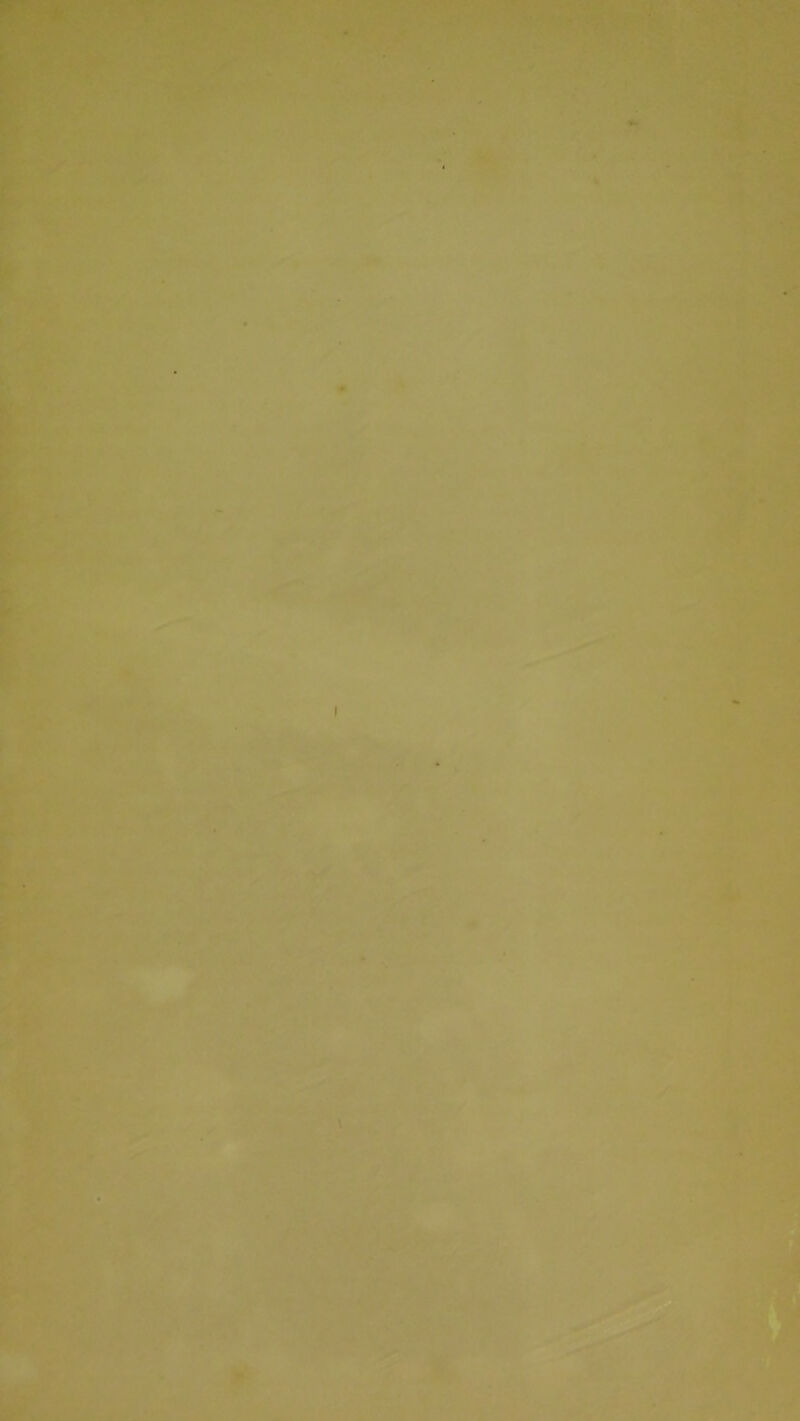 ri «t- l y' I r 7, t V