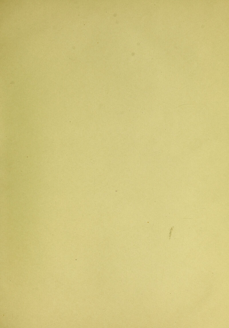 '•4 |j*,V ^' :v;; y.k/