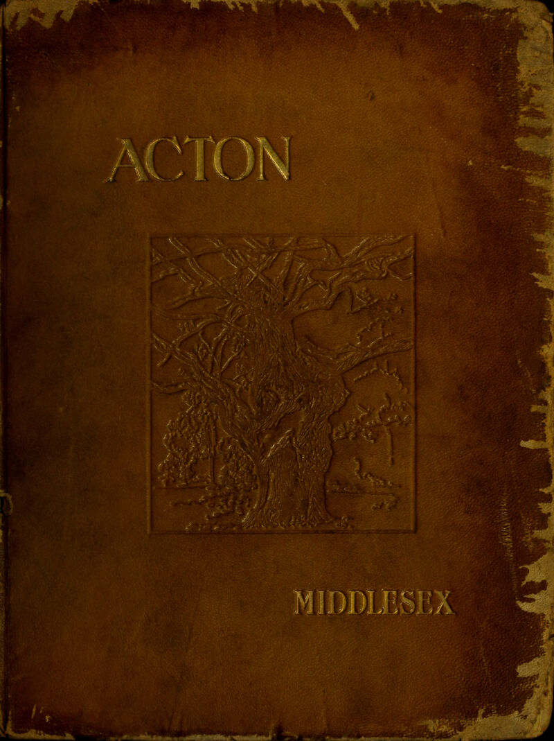 No text description is available for this image