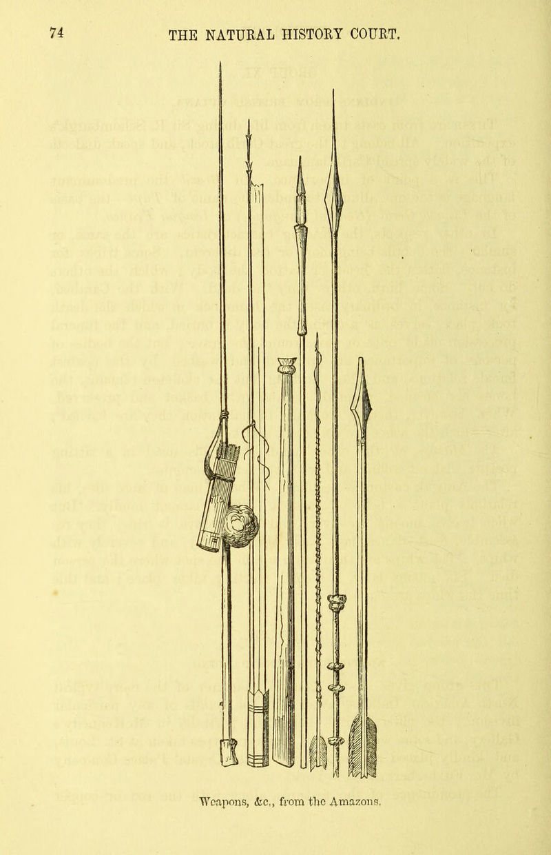 Weapons, &c,, from the Amazons.