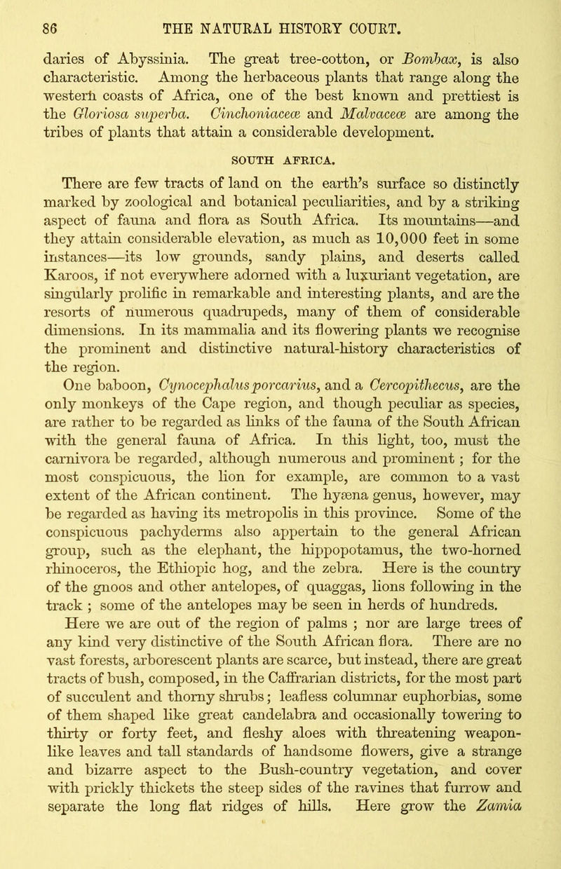 daries of Abyssinia. The great tree-cotton, or Bombax, is also characteristic. Among the herbaceous plants that range along the westerh coasts of Africa, one of the best known and prettiest is the Gloriosa superba. Cinchoniacece and Malvaceae, are among the tribes of plants that attain a considerable development. SOUTH AFRICA. There are few tracts of land on the earth’s surface so distinctly marked by zoological and botanical peculiarities, and by a striking aspect of fauna and flora as South Africa. Its mountains—and they attain considerable elevation, as much as 10,000 feet in some instances—its low grounds, sandy plains, and deserts called Karoos, if not everywhere adorned with a luxuriant vegetation, are singularly prolific in remarkable and interesting plants, and are the resorts of numerous quadrupeds, many of them of considerable dimensions. In its mammalia and its flowering plants we recognise the prominent and distinctive natural-history characteristics of the region. One baboon, Cynocephalus porcarius, and a Cercopithecus, are the only monkeys of the Cape region, and though peculiar as species, are rather to be regarded as links of the fauna of the South African with the general fauna of Africa. In this light, too, must the carnivora be regarded, although numerous and prominent; for the most conspicuous, the lion for example, are common to a vast extent of the African continent. The hyaena genus, however, may be regarded as having its metropolis in this province. Some of the conspicuous pachyderms also appertain to the general African group, such as the elephant, the hippopotamus, the two-horned rhinoceros, the Ethiopic hog, and the zebra. Here is the country of the gnoos and other antelopes, of quaggas, lions following in the track ; some of the antelopes may be seen in herds of hundreds. Here we are out of the region of palms ; nor are large trees of any kind very distinctive of the South African flora. There are no vast forests, arborescent plants are scarce, but instead, there are great tracts of bush, composed, in the Caffrarian districts, for the most part of succulent and thorny shrubs; leafless columnar euphorbias, some of them shaped like great candelabra and occasionally towering to thirty or forty feet, and fleshy aloes with threatening weapon- like leaves and tall standards of handsome flowers, give a strange and bizarre aspect to the Bush-country vegetation, and cover with prickly thickets the steep sides of the ravines that furrow and separate the long flat ridges of hills. Here grow the Zamia