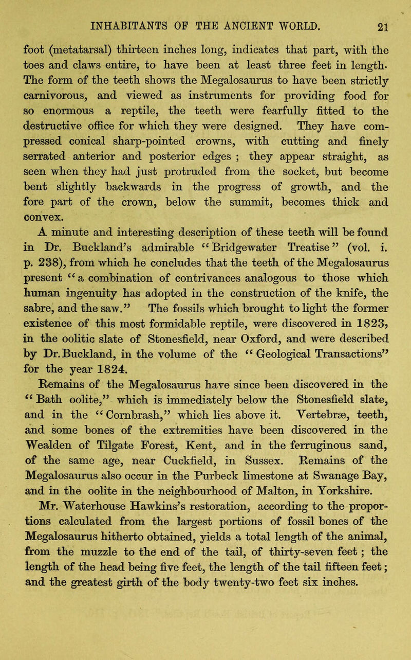 foot (metatarsal) thirteen inches long, indicates that part, with the toes and claws entire, to have been at least three feet in length- The form of the teeth shows the Megalosanras to have been strictly carnivorous, and viewed as instruments for providing food for so enormous a reptile, the teeth were fearfully fitted to the destructive office for which they were designed. They have com- pressed conical sharp-pointed crowns, with cutting and finely serrated anterior and posterior edges ; they appear straight, as seen when they had just protruded from the socket, but become bent slightly backwards in the progress of growth, and the fore part of the crown, below the summit, becomes thick and convex. A minute and interesting description of these teeth will be found in Dr. Buckland’s admirable “Bridgewater Treatise” (vol. i. p. 238), from which he concludes that the teeth of the Megalosaurus present “a combination of contrivances analogous to those which human ingenuity has adopted in the construction of the knife, the sabre, and the saw.” The fossils which brought to light the former existence of this most formidable reptile, were discovered in 1823> in the oolitic slate of Stonesfield, near Oxford, and were described by Dr.Buckland, in the volume of the te Geological Transactions” for the year 1824. Remains of the Megalosaurus have since been discovered in the (c Bath oolite,” which is immediately below the Stonesfield slate, and in the “ Combrash,” which lies above it. Vertebrae, teeth, and some bones of the extremities have been discovered in the Wealden of Tilgate Forest, Kent, and in the ferruginous sand, of the same age, near Cuckfield, in Sussex. Remains of the Megalosaurus also occur in the Purbeck limestone at Swanage Bay, and in the oolite in the neighbourhood of Malton, in Yorkshire. Mr. Waterhouse Hawkins’s restoration, according to the propor- tions calculated from the largest portions of fossil bones of the Megalosaurus hitherto obtained, yields a total length of the animal, from the muzzle to the end of the tail, of thirty-seven feet; the length of the head being five feet, the length of the tail fifteen feet; and the greatest girth of the body twenty-two feet six inches.