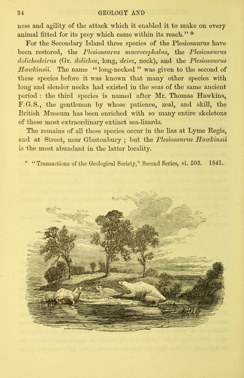ness and agility of the attack which it enabled it to make on every animal fitted for its prey which came within its reach.” # For the Secondary Island three species of the Plesiosaurus have been restored, the Plesiosaurus macrocephalus, the Plesiosaurus dolichodeirus (Gr. dolichos, long, deire, neck), and the Plesiosaurus Hawhinsii. The name “ long-necked ” was given to the second of these species before it was known that many other species with long and slender necks had existed in the seas of the same ancient period : the third species is named after Mr. Thomas Hawkins, F.G.S., the gentleman by whose patience, zeal, and skill, the British Museum has been enriched with so many entire skeletons of these most extraordinary extinct sea-lizards. The remains of all these species occur in the lias at Lyme Regis, and at Street, near Glastonbury ; but the Plesiosaurus Hawkinsii is the most abundant in the latter locality. * “Transactions of the Geological Society,” Second Series, vi. 503. 1841.