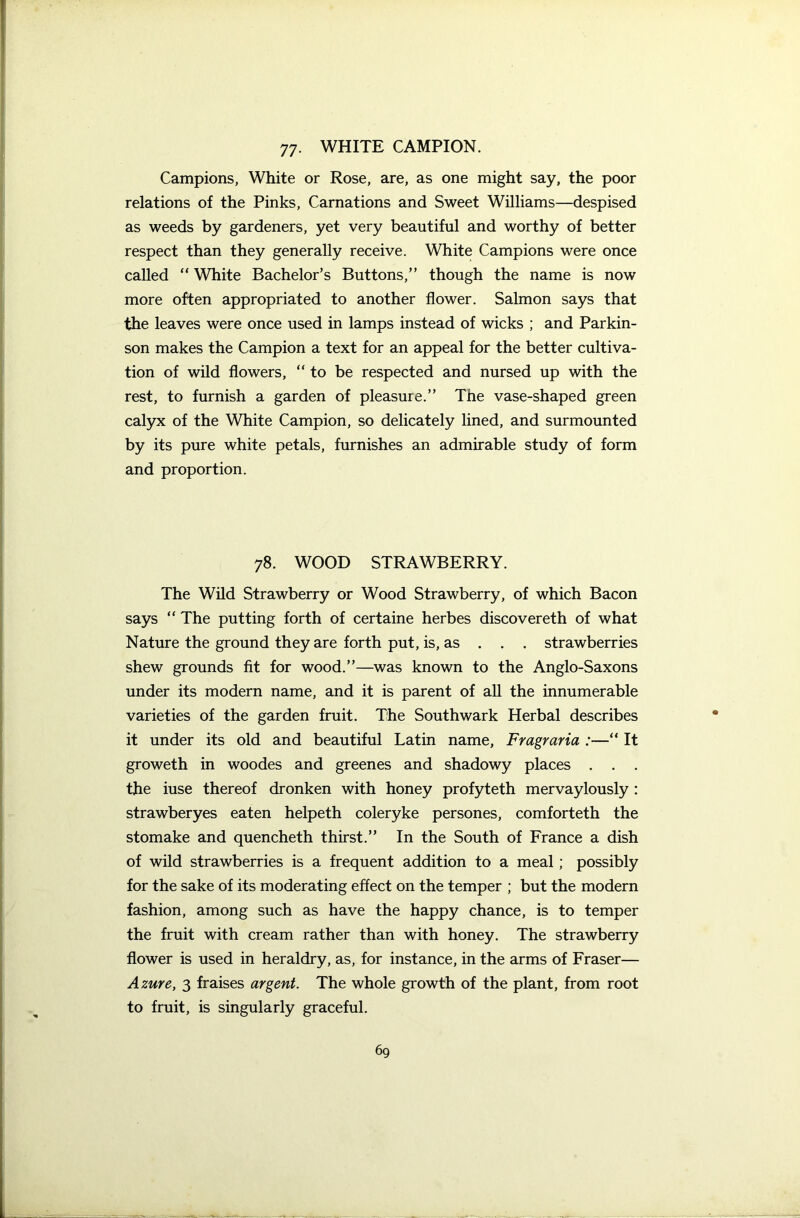 Campions, White or Rose, are, as one might say, the poor relations of the Pinks, Carnations and Sweet Williams—despised as weeds by gardeners, yet very beautiful and worthy of better respect than they generally receive. White Campions were once called “ White Bachelor’s Buttons,” though the name is now more often appropriated to another flower. Salmon says that the leaves were once used in lamps instead of wicks ; and Parkin- son makes the Campion a text for an appeal for the better cultiva- tion of wild flowers, “to be respected and nursed up with the rest, to furnish a garden of pleasure.” The vase-shaped green calyx of the White Campion, so delicately lined, and surmounted by its pure white petals, furnishes an admirable study of form and proportion. 78. WOOD STRAWBERRY. The Wild Strawberry or Wood Strawberry, of which Bacon says “ The putting forth of certaine herbes discovereth of what Nature the ground they are forth put, is, as . . . strawberries shew grounds fit for wood.”—was known to the Anglo-Saxons under its modern name, and it is parent of all the innumerable varieties of the garden fruit. The Southwark Herbal describes it under its old and beautiful Latin name, Fragraria :—“ It groweth in woodes and greenes and shadowy places . . . the iuse thereof dronken with honey profyteth mervaylously : strawberyes eaten helpeth coleryke persones, comforteth the stomake and quencheth thirst.” In the South of France a dish of wild strawberries is a frequent addition to a meal; possibly for the sake of its moderating effect on the temper ; but the modern fashion, among such as have the happy chance, is to temper the fruit with cream rather than with honey. The strawberry flower is used in heraldry, as, for instance, in the arms of Fraser— Azure, 3 fraises argent. The whole growth of the plant, from root to fruit, is singularly graceful.