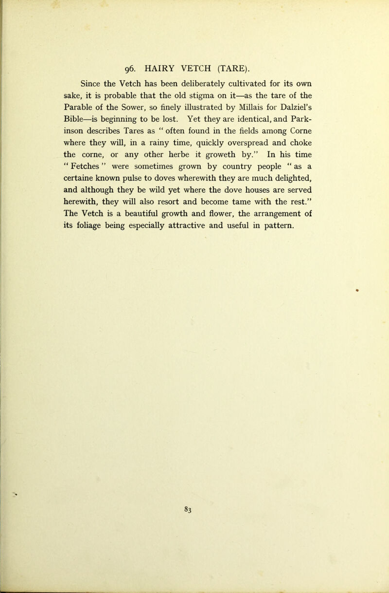 Since the Vetch has been deliberately cultivated for its own sake, it is probable that the old stigma on it—as the tare of the Parable of the Sower, so finely illustrated by Millais for Dalziel’s Bible—is beginning to be lost. Yet they are identical, and Park- inson describes Tares as “ often found in the fields among Corne where they will, in a rainy time, quickly overspread and choke the corne, or any other herbe it groweth by.” In his time “ Fetches ” were sometimes grown by country people “as a certaine known pulse to doves wherewith they are much delighted, and although they be wild yet where the dove houses are served herewith, they will also resort and become tame with the rest.” The Vetch is a beautiful growth and flower, the arrangement of its foliage being especially attractive and useful in pattern. 83