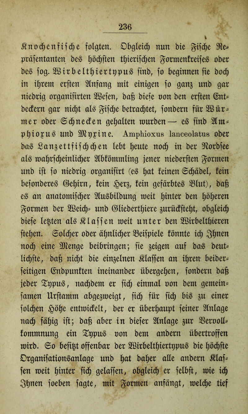 ^nod^enfifd^e folgten. Obgleid^ nun bie gifd^e präfentanten be^ l)ö($ften t^ierifd^en gormenfreife^ ober be^ fog. Söirbeltl^iertppu^ finb, fo beginnende bod^ in ü^rem erften Einfang mit einigen fo ganj unb gar niebrig organifirten SBefen, bafe biefe non ben erften ^nU bedtern gar nic^t aB gif^e betrad^tet, fonbern für 2ßür== mer ober ne den gehalten mürben— e§ finb 21 p^iopu^ unb 9Jtppine. Amphioxus lanceolatus ober ba^ ßangettfifdf)(^en lebt l^eute nod^ in ber 5ltorbfee al^ ma^rf(^einlid^er Slbfömmling jener nieberften formen unb ift fo niebrig organifirt (e.^ ^at feinen ©d^äbel, fein befonbere^ (^e^irn, fein §er§, fein gefärbte^ 23lut), bajg e^ an anatomif($er 2lu^bilbung meit hinter ben p^eren gormen ber 2öeid^= unb @liebertl)iere gurüdfte^t^ obgleid^ biefe lebten aB klaffen meit unter ben Sßirbeltbieren fte^en. ©old^er ober ä^nlid^er ^eifpiele fönnte iä) Qb^en nod^ eine 9}fenge beibringen; fie geigen auf ba^ beut^ licbfte, bad nid^t bie eingelnen Maffen an i^ren- beiber^ feitigen ©nbpunften ineinanber übergeben, fonbern ba§ jeber ^ppu^, nai^bem er fid^ einmal oon bem gemein^ famen Urftamm abgegmeigt, fi(^ für fid^ bi^ gu einer foli^en §öbe entmid'elt, ber er überhaupt feiner Inlage nad^ fä^ig ift; bad aber in biefer Einlage gur 2Serooll= fommnung ein Sf!ppu^ non bem anbern übertroffen mirb. ©0 befi^t offenbar ber 2Birbeltl)iertppu^ bie pd^fte Drganifation^anlage unb l^at halber alle anbern ^laf^ fen meit l^inter fid^ gelaffen, obgleid^ er felbft, mie id^ Q^nen foeben fagte, mit gormen anfängt, meld^e tief