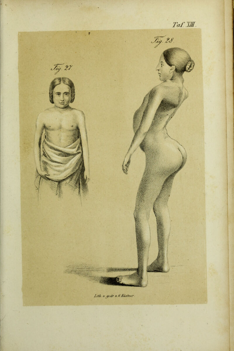 TafJE. Lifh. u . ^cdr. V. fr. Künfr/rr.