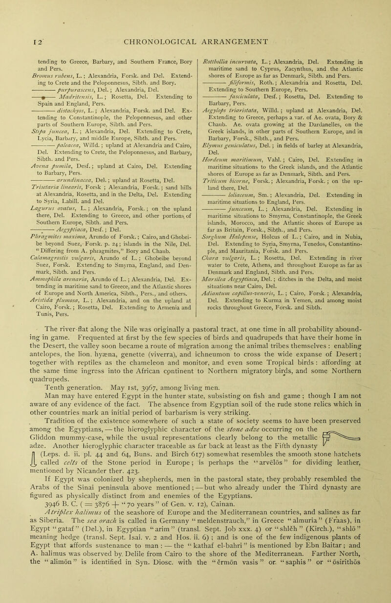 tending to Greece, Barbary, and Southern France, Bory and Pers. Bromus ntbens, L.; Alexandria, Forsk. and Del. Extend- ing to Crete and the Peloponnesus, Sibth. and Bory. purparascens, Del. ; Alexandria, Del. 0 Madritensis, L. ; Rosetta, Del. Extending to Spain and England, Pers. distachyos, L.; Alexandria, Forsk. and Del. Ex- tending to Constantinople, the Peloponnesus, and other parts of Southern Europe, Sibth. and Pers. Sttpa juncea, L. ; Alexandria, Del. Extending to Crete, Lycia, Barbary, and middle Europe, Sibth. and Pers. paleacea, Willd. ; upland at Alexandria and Cairo, Del. Extending to Crete, the Peloponnesus, and Barbary, Sibth. and Pers. Avena pumila, Desf. ; upland at Cairo, Del. Extending to Barbary, Pers. arundinacea, Del.; upland at Rosetta, Del. Trisetciria linearis, Forsk ; Alexandria, Forsk.; sand hills at Alexandria, Rosetta, and in the Delta, Del. Extending to Syria, Labill. and Del. Lagunts ovatus, L. ; Alexandria, Forsk. ; on the upland there, Del. Extending to Greece, and other portions, of Southern Europe, Sibth. and Pers. Aegyptiaca, Desf. ; Del. Phragmites maxima, Arundo of Forsk.; Cairo, and Ghobei- be beyond Suez, Forsk. p. 24; islands in the Nile, Del. “ Differing from A. phragmites,” Bory and Chaub. Calamagrostis vulgaris, Arundo of L. ; Ghobeibe beyond Suez, Forsk. Extending to Smyrna, England, and Den- mark, Sibth. and Pers. Ammophila arenaria, Arundo of L. ; Alexandria, Del. Ex- tending in maritime sand to Greece, and the Atlantic shores of Europe and North America, Sibth., Pers., and others. Aristida plumosa, L. ; Alexandria, and on the upland at Cairo, Forsk. ; Rosetta, Del. Extending to Armenia and Tunis, Pers. The river-flat along the Nile was originally a pastoral tract, at one time in all probability abound- ing in game. Frequented at first by the few species of birds and quadrupeds that have their home in the Desert, the valley soon became a route of migration among the animal tribes themselves ; enabling antelopes, the lion, hyaena, genette (viverra), and ichneumon to cross the wide expanse of Desert; together with reptiles as the chameleon and monitor, and even some Tropical birds ; affording at the same time ingress into the African continent to Northern migratory birds, and some Northern quadrupeds. Tenth generation. May 1st, 3967, among living men. Man may have entered Egypt in the hunter state, subsisting on fish and game ; though I am not aware of any evidence of the fact. The absence from Egyptian soil of the rude stone relics which in other countries mark an initial period of barbarism is very striking. Tradition of the existence somewhere of such a state of society seems to have been preserved among the Egyptians,—the hieroglyphic character of the stone adze occurring on the Gliddon mummy-case, while the usual representations clearly belong to the metallic adze. Another hieroglyphic character traceable as far back at least as the Fifth dynasty (Leps. d. ii. pi. 44 and 64, Buns, and Birch 617) somewhat resembles the smooth stone hatchets called celts of the Stone period in Europe; is perhaps the “arvelos” for dividing leather, mentioned by Nicander ther. 423. If Egypt was colonized by shepherds, men in the pastoral state, they probably resembled the Arabs of the Sinai peninsula above mentioned;—but who already under the Third dynasty are figured as physically distinct from and enemies of the Egyptians. 3946 B. C. ( = 3876 -|- “ 70 years ” of Gen. v. 12), Cainan. A triplex halimus of the seashore of Europe and the Mediterranean countries, and salines as far as Siberia. The sea orach is called in Germany “ meldenstrauch,” in Greece “almuria” (Fraas), in Egypt “gataf” (Del.), in Egyptian “arim” (transl. Sept. Job xxx. 4) or “ shlSh ” (Kirch.), “shl5” meaning hedge (transl. Sept. Isai. v. 2 and Hos. ii. 6) ; and is one of the few indigenous plants of Egypt that affords sustenance to man : — the “ kathaf el-bahri ” is mentioned by Ebn Baitar ; and A. halimus was observed by. Delile from Cairo to the shore of the Mediterranean. Farther North, the “ alimon ” is identified in Syn. Diosc. with the “ Srmon vasis ” or. “ saphis ” or “ osirithos Rottbollia incurvata, L.; Alexandria, Del. Extending in maritime sand to Cyprus, Zacynthus, and. the Atlantic shores of Europe as far as Denmark, Sibth. and Pers. piliformis, Roth.; Alexandria and Rosetta, Del. Extending to Southern Europe, Pers. fasciculata, Desf. ; Rosetta, Del. Extending to Barbary, Pers. Aegylops triaristata, Willd. ; upland at Alexandria, Del. Extending to Greece, perhaps a var. of Ae. ovata, Bory & Chaub. Ae. ovata growing at the Dardanelles, on the Greek islands, in other parts of Southern Europe, and in Barbary, Forsk., Sibth., and Pers. Elymus geniculatus, Del. ; in fields of barley at Alexandria, Del. Hordeum maritimum, Vahl. ; Cairo, Del. Extending in maritime situations to the Greek islands, and the Atlantic shores of Europe as far as Denmark, Sibth. and Pers. Triticum bicorne, Forsk.; Alexandria, Forsk. ; on the up- land there, Del. loliaceum, Sm. ; Alexandria, Del. Extending in maritime situations to England, Pers. junceum, L. ; Alexandria, Del. Extending in maritime situations to Smyrna, Constantinople, the Greek islands, Morocco, and the Atlantic shores of Europe as far as Britain, Forsk., Sibth., and Pers. Sorghum Halepense, Holcus of L. ; Cairo, and in Nubia, Del. Extending to Syria, Smyrna, Tenedos, Constantino- ple, and Mauritania, Forsk. and Pers. Chara vulgaris, L.; Rosetta, Del. Extending in river water to Crete, Athens, and throughout Europe as far as Denmark and England, Sibth. and Pers. Marsilea Aegyptiaca, Del. ; ditches in the Delta, and moist situations near Cairo, Del. Adiantum capillus-veneris, L. ; Cairo, Forsk. ; Alexandria, Del. Extending to Kurma in Yemen, and among moist rocks throughout Greece, Forsk. and Sibth.