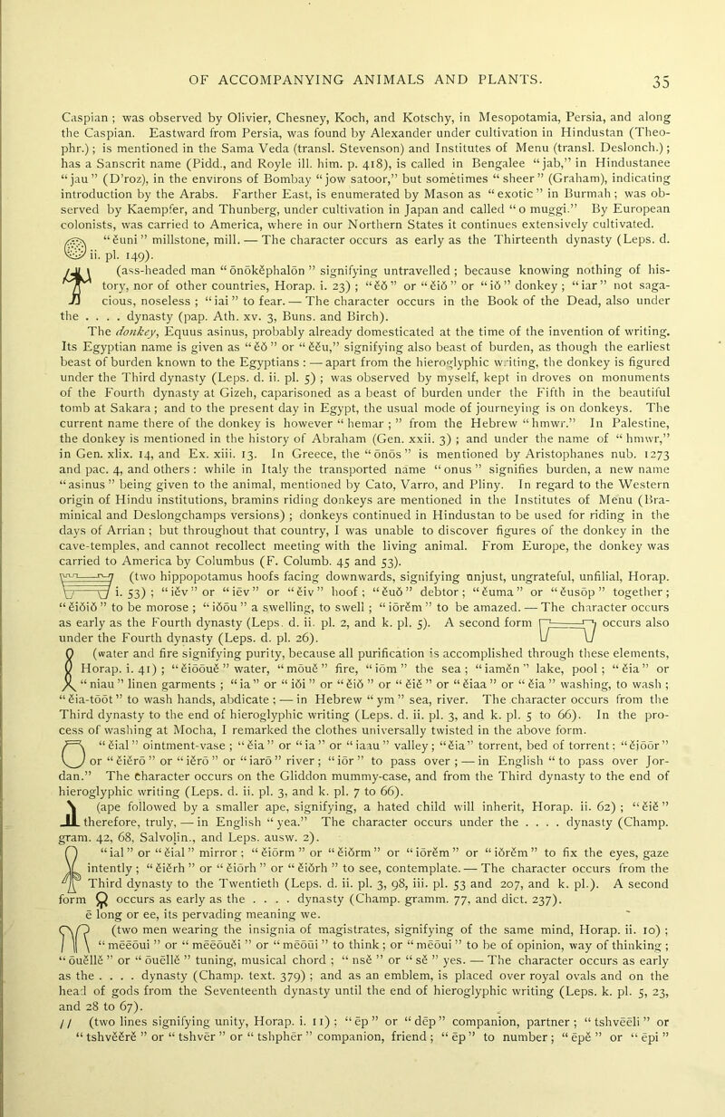 Caspian ; was observed by Olivier, Chesney, Koch, and Kotschy, in Mesopotamia, Persia, and along the Caspian. Eastward from Persia, was found by Alexander under cultivation in Hindustan (Theo- phr.); is mentioned in the Sama Veda (transl. Stevenson) and Institutes of Menu (transl. Deslonch.); has a Sanscrit name (Pidd., and Royle ill. him. p. 418), is called in Bengalee “jab,” in Hindustanee “jau” (D’roz), in the environs of Bombay “jow satoor,” but sometimes “ sheer” (Graham), indicating introduction by the Arabs. Farther East, is enumerated by Mason as “exotic” in Burmah ; was ob- served by Kaempfer, and Thunberg, under cultivation in Japan and called “o muggi.” By European colonists, was carried to America, where in our Northern States it continues extensively cultivated. ®“6uni” millstone, mill. — The character occurs as early as the Thirteenth dynasty (Leps. d. ii. pi. 149). t (ass-headed man “6nok2phalon ” signifying untravelled; because knowing nothing of his- tory, nor of other countries, Horap. i. 23) ; “26” or “2i6” or “i6” donkey ; “iar” not saga- cious, noseless ; “iai”tofear. — The character occurs in the Book of the Dead, also under the .... dynasty (pap. Ath. xv. 3, Buns, and Birch). The donkey, Equus asinus, probably already domesticated at the time of the invention of writing. Its Egyptian name is given as “26 ” or “ 22u,” signifying also beast of burden, as though the earliest beast of burden known to the Egyptians : —apart from the hieroglyphic w.'iting, the donkey is figured under the Third dynasty (Leps. d. ii. pi. 5) ; was observed by myself, kept in droves on monuments of the Fourth dynasty at Gizeh, caparisoned as a beast of burden under the Fifth in the beautiful tomb at Sakara; and to the present day in Egypt, the usual mode of journeying is on donkeys. The current name there of the donkey is however “ hemar ; ” from the Hebrew “ hmwr.” In Palestine, the donkey is mentioned in the history of Abraham (Gen. xxii. 3) ; and under the name of “ hmwr,” in Gen. xlix. 14, and Ex. xiii. 13. In Greece, the “ onos ” is mentioned by Aristophanes nub. 1273 and pac. 4, and others : while in Italy the transported name “onus” signifies burden, a new name “asinus ” being given to the animal, mentioned by Cato, Varro, and Pliny. In regard to the Western origin of Hindu institutions, bramins riding donkeys are mentioned in the Institutes of Menu (Bra- minical and Deslongchamps versions) ; donkeys continued in Hindustan to be used for riding in the days of Arrian ; but throughout that country, I was unable to discover figures of the donkey in the cave-temples, and cannot recollect meeting with the living animal. From Europe, the donkey was carried to America by Columbus (F. Columb. 45 and 53). Wt-h rv-y (two hippopotamus hoofs facing downwards, signifying unjust, ungrateful, unfilial, Horap. \7~~ yj i. 53) ; “iSv”or “iev” or “6iv” hoof; “6u6” debtor; “2uma” or “6usop” together; “ Si6i6 ” to be morose ; “ i6ou ” a swelling, to swell ; “ ior2m ” to be amazed. — The character occurs occurs also n? as early as the Fourth dynasty (Leps. d. ii. pi. 2, and k. pi. 5). A second form under the Fourth dynasty (Leps. d. pi. 26). f (water and fire signifying purity, because all purification is accomplished through these elements, Horap. i. 41) ; “ 2ioou2 ” water, “ mouS ” fire, “iom” the sea; “iam£n” lake, pool; “Sia” or “ niau ” linen garments ; “ ia ” or “ i6i ” or “ 6i6 ” or “ Si6 ” or “ 2iaa ” or “ 6ia ” washing, to wash ; “ 6ia-toot ” to wash hands, abdicate ; — in Hebrew “ ym ” sea, river. The character occurs from the Third dynasty to the end of hieroglyphic writing (Leps. d. ii. pi. 3, and k. pi. 5 to 66). In the pro- cess of washing at Mocha, I remarked the clothes universally twisted in the above form. 0“2ial” ointment-vase ; “6ia” or “ia” or “iaau” valley; “6ia” torrent, bed of torrent; “2io5r” or “ 2i2ro ” or “ i2ro ” or “ iaro ” river ; “ior” to pass over; — in English “ to pass over Jor- dan.” The Character occurs on the Gliddon mummy-case, and from the Third dynasty to the end of hieroglyphic writing (Leps. d. ii. pi. 3, and k. pi. 7 to 66). \ (ape followed by a smaller ape, signifying, a hated child will inherit, Horap. ii. 62) ; “2i6” _LL therefore, truly,—in English “yea.” The character occurs under the .... dynasty (Champ, gram. 42, 68, Salvolin., and Leps. ausw. 2). Q “ ial ” or “ 2ial ” mirror ; “ 6iorm ” or “6i6rm” or “ior2m” or “ i6r2m ” to fix the eyes, gaze V intently; “6i6rh ” or “2i5rh” or “2i6rh ” to see, contemplate. — The character occurs from the It Third dynasty to the Twentieth (Leps. d. ii. pi. 3, 98, iii. pi. 53 and 207, and k. pi.). A second form ^ occurs as early as the .... dynasty (Champ, gramm. 77, and diet. 237). e long or ee, its pervading meaning we. (two men wearing the insignia of magistrates, signifying of the same mind, Horap. ii. 10) ; • meeoui ” or “ meeouSi ” or “ meoCii ” to think ; or “ rneoui ” to be of opinion, way of thinking ; “ ouSllS ” or “ ouellS ” tuning, musical chord ; “ ns2 ” or “ s6 ” yes. —- The character occurs as early as the .... dynasty (Champ, text. 379) ; and as an emblem, is placed over royal ovals and on the head of gods from the Seventeenth dynasty until the end of hieroglyphic writing (Leps. k. pi. 5, 23, and 28 to 67). // (two lines signifying unity, Horap. i. 11); “ ep ” or “dep” companion, partner; “ tshveeli ” or “ tshvS2r2 ” or “ tshver ” or “ tshpher ” companion, friend ; “ ep ” to number ; “ ep6 ” or “ epi ”