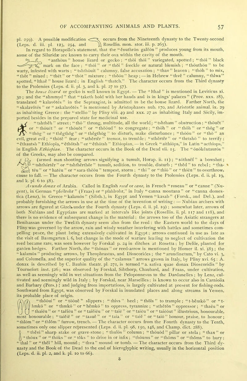 pi. 259). A possible modification < ^ occurs from the Nineteenth dynasty to the Twenty-second (Leps. d. iii. pi. 123, 254, and J4 Rosellin. mon. stor. iii. p. 263). In regard to Horapollo’s statement, that the “Snuthrdn galeon ” produces young from its mouth, some of the Siluridae are known to carry their ova within the cavity of the mouth. “anthous” house lizard or gecko; “thoi thoi” variegated, spotted; “ thoi ” black •=^^74^ mark on the face ; “ thoi ” or “ thbi ” freckle or natural blemish ; “ thouthou ” to be warty, infested with warts ; “ tshthouit ” calumny, false accusation ; “ thav ” leaven ; “ thoh ” to mix, “ thbt ” mixed ; “ thet ” or “ thot ” mixture ; “ thbou ” heap ; — in Hebrew “ thvS ” calumny, “ thlwa” spotted, “lthafi ” house lizard ; in English “thatch.” The character occurs from the Third dynasty to the Ptolemies (Leps. d. ii. pi. 3, and k. pi. 27 to 57). The house lizard or gecko is well known in Egypt. — The “ IthaS ” is mentioned in Leviticus xi. 30 ; and the “shmmyd ” that “ taketh hold with her hands and is in kings’ palaces ” (Prov. xxx. 28), translated “ kalavbtes ” in the Septuagint, is admitted to be the house lizard. Farther North, the “skalav&tes ” or “ askalavdtes ” is mentioned by Aristophanes nub. 170, and Aristotle animal, ix. 29 as inhabiting Greece: the “stellio” by Pliny viii. 49 and xxx. 27 as inhabiting Italy and Sicily, im- ported besides in the prepared state for medicinal use. u/ “tshthSh ” street; “tho” throng, multitude, all the world; “ tshtham ” obstruction; “thouSt” dl or “ thouet ” or “ thoudt ” or “ th65ud ” to congregate; “thoh” or “ thSh ” or “ thbg ” or Jy “ thog ” or “ thSgthdg ” or “ thSgthog ” to disturb, make disturbance; “thoou” or “tho” an evil, great evil; “thotS” fear; “sth6rt£r” tremor, to tremble; “sth£rt£r” or “thrtsho” to terrify; “ Sthautsh ” Ethiopia, “ Sthfitsh ” or “ Sthotsh ” Ethiopian, — in Greek “ aithiops,” in Latin “ aethiops,” in English Ethiopian. The character occurs in the Book of the Dead vii. 15. The “ onoki5ntauros ” of the Greeks, may also be compared. Q^ (armed man shooting arrows signifying a tumult, Horap. ii. 11) ; “sothnSf ” a bowshot; tshthortSr” or “ tshthgrthdr ” tumult, sedition, to trouble, disturb ; “ th£d ” to rebel; “tha- teu ” or “ hateu ” or “ sara-theou ” tempest, storm ; “ thi ” or “ thio ” or “ thieu ” to overthrow, cause to fall. —The character occurs from the Fourth dynasty to the Ptolemies (Leps. d. ii. pi. 19, and k. pi. 6 to 58). Arundo donax of Arabia. Called in English reed or cane, in French “ roseau ” or “ canne ” (Nu- gent), in German “pfeilrohr” (Fraas) or “pfahlrohr,” in Italy “ canna montana” or “canna domes- tica (Lenz), in Greece “ kalamos ” (Sibth.), in Egypt and Yemen “ kasab ” (Forsk., and Del.), and probably furnishing the arrows in use at the time of the invention of writing: —• Nubian archers with arrows are figured at Gizelvunder the Fourth dynasty (Leps. d. ii. pi. 19) ; somewhat later, arrows of both Nubians and Egyptians are marked at intervals like joints (Rosellin. ii. pi. 117 and 118), and there is no evidence of subsequent change in the material; the arrows too of the Asiatic strangers at Benihassan under the Twelfth dynasty seem also from the reed : the Eastern world to the days of Pliny was governed by the arrow, rain and windy weather interfering with battles and sometimes com- pelling peace, the plant being extensively cultivated in Egypt; arrows continued in use as late as the visit of Baumgarten i. 6, but change in the mode of warfare leading to neglect of cultivation the reed became rare, was seen however by Forskal p. 24 in ditches at Rosetta; by Delile, planted for garden hedges. Farther North, the “thbnax” or reed-arrow is mentioned by Homer il. xi. 583 ; the “kalamSs ” producing arrows, by Theophrastus, and Dioscorides ; the “ arundinetum,” by Cato vi. 3, and Columella, and the superior quality of the “ calamus ” arrows grown in Italy, by Pliny xvi. 65 : A. donax is described by C. Bauhin theatr. pi. 271, is termed “ a. sativa quae donax Dioscoridis ” by Tournefort inst. 526; was observed by Forskal, Sibthorp, Chaubard, and Fraas, under cultivation, as well as seemingly wild in wet situations from the Peloponnesus to the Dardanelles ; by Lenz, cul- tivated and seemingly wild in Italy ; by Forskal, near Marseilles ; is known to occur also in Carnioiia and Barbary (Pers.) ;' and judging from importations, is largely cultivated at present for fishing-rods. Southward from Egypt, was observed by Forskal in inundated places and along streams in Yemen, its probable place of origin. “th6oui” or “ toouS ” slippers; “ thivs ” heel; “ thdls ” to trample ; “t-h£mk5” or “ t- hmko” or “ thmko ” or “ hSmko ” to oppress, tyrannize ; “ sth§t6n ” oppressor ; “ thaeu ” or “ thaieu ” or “ taSieu ” or “ taiSieu ” or “ taie ” or “ taieu ” or “ taieout ” illustrious, honourable, most honourable; “ tai£i£ ” or “taauS” or “ taia ” or “ taiS ” or “ taio ” honour, praise, to honour; “thlom” or “thl6m” furrow, trench. — The character occurs from the Fourth dynasty to the Tenth, sometimes only one slipper represented (Leps. d. ii. pi. 98, 150, 148, and Champ, diet. 288). “ thSvi ” sharp stake or grave-stone ; “ thulds ” column ; “ thouod ” pillar or stela ; “ thax ” or ‘thoux” or “ thoks ” or “ tdks ” to drive in or infix; “thoums” or “thorns” or “thdms” to bury; thal ” or “th§l” hill, mound ; “ thva” mound or tomb. — The character occurs from the Third dy- nasty and the Book of the Dead to the end of hieroglyphic writing, usually in the horizontal position (Leps. d. ii. pi. 2, and k. pi. 10 to 66). S