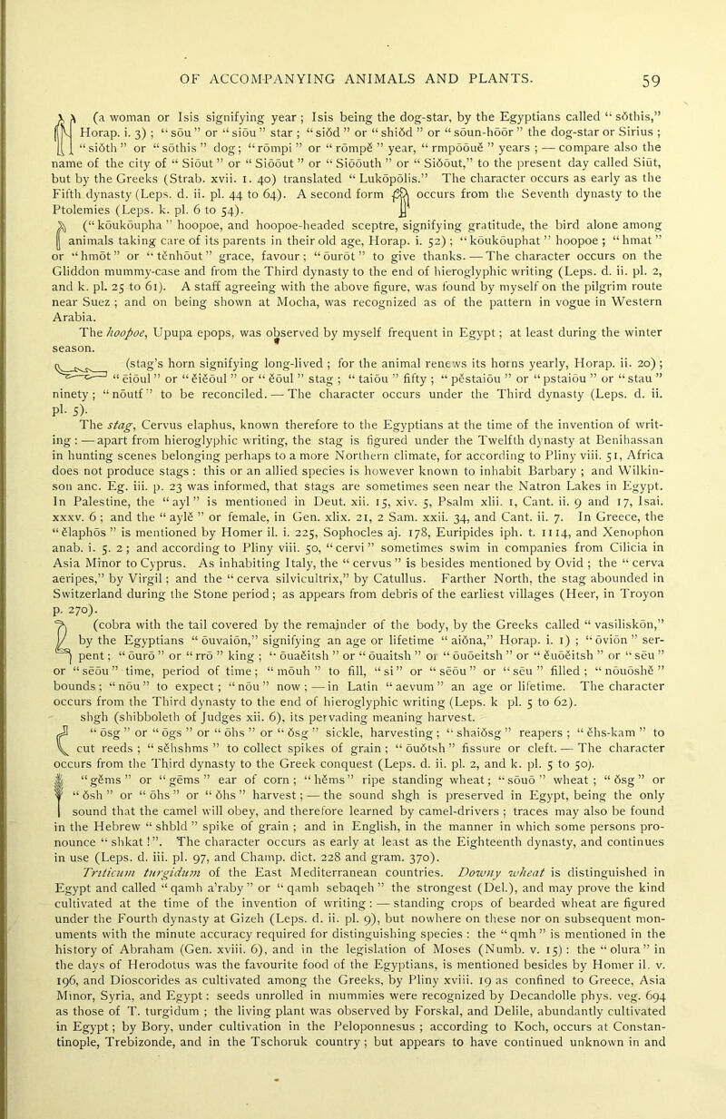 ^ (a woman or Isis signifying year ; Isis being the dog-star, by the Egyptians called “ sbthis,” Horap. i. 3) ; “ s5u ” or “ siou ” star ; “ si6d ” or “ shibd ” or “ soun-hbor ” the dog-star or Sirius ; “si6th ” or “sbthis ” dog; “rompi ” or “ rompS ” year, “ rmpooub ” years ; — compare also the name of the city of “ Siout ” or “ Sioout ” or “ Sioouth ” or “ Sibout,” to the present day called Siut, but by the Greeks (Strab. xvii. 1. 40) translated “ Lukopolis.” The character occurs as early as the Fifth dynasty (Leps. d. ii. pi. 44 to 64). A second form occurs from the Seventh dynasty to the Ptolemies (Leps. k. pi. 6 to 54). Jj (“ koukoupha ” hoopoe, and hoopoe-headed sceptre, signifying gratitude, the bird alone among | animals taking care of its parents in their old age, Horap. i. 52) ; “ koukouphat ” hoopoe ; “ hmat ” or “hmot” or “tbnhout” grace, favour; “ourot” to give thanks.—The character occurs on the Gliddon mummy-case and from the Third dynasty to the end of hieroglyphic writing (Leps. d. ii. pi. 2, and k. pi. 25 to 61). A staff agreeing with the above figure, was found by myself on the pilgrim route near Suez ; and on being shown at Mocha, was recognized as of the pattern in vogue in Western Arabia. The hoopoe, Upupa epops, was observed by myself frequent in Egypt; at least during the winter season. ^ ^ ^ (stag’s horn signifying long-lived ; for the animal renews its horns yearly, Horap. ii. 20) ; “ eioul ” or “ biboul ” or “ boul ' or to be reconciled. stag ; “ taiou ” fifty ; “ pbstaiou ” or “ pstaiou ” or “ stau ” The character occurs under the Third dynasty (Leps. d. ii. ninety; “ noutf ’ pi. s). The stag, Cervus elaphus, known therefore to the Egyptians at the time of the invention of writ- ing : —apart from hieroglyphic writing, the stag is figured under the Twelfth dynasty at Benihassan in hunting scenes belonging perhaps to a more Northern climate, for according to Pliny viii. 51, Africa does not produce stags : this or an allied species is however known to inhabit Barbary ; and Wilkin- son anc. Eg. iii. p. 23 was informed, that stags are sometimes seen near the Natron Lakes in Egypt. In Palestine, the “ ayl ” is mentioned in Deut. xii. 15, xiv. 5, Psalm xlii. 1, Cant. ii. 9 and 17, Isai. xxxv. 6 ; and the “ aylb ” or female, in Gen. xlix. 21, 2 Sam. xxii. 34, and Cant. ii. 7. In Greece, the “Slaphos” is mentioned by Homer il. i. 225, Sophocles aj. 178, Euripides iph. t. 1114, and Xenophon anab. i. 5. 2 ; and according to Pliny viii. 50, “ cervi ” sometimes swim in companies from Cilicia in Asia Minor to Cyprus. As inhabiting Italy, the “ cervus ” is besides mentioned by Ovid ; the “ cerva aeripes,” by Virgil; and the “ cerva silvicultrix,” by Catullus. Farther North, the stag abounded in Switzerland during the Stone period; as appears from debris of the earliest villages (Heer, in Troyon p. 270). (cobra with the tail covered by the remainder of the body, by the Greeks called “ vasiliskon,” \J by the Egyptians “ ouvaion,” signifying an age or lifetime “ aibna,” Horap. i. 1) ; “ovion” ser- ^ pent; “ ouro ” or “ rro ” king ; “ ouabitsh ” or “ ouaitsh ” 01 “ ouoeitsh ” or “ buobitsh ” or “ seu ” or “ seou ” time, period of time; “ mouh ” to fill, “si” or “seou” or “seu” filled; “ nouoshb ” bounds; “ nou ” to expect; “nou” now;—in Latin “ aevum ” an age or lifetime. The character occurs from the Third dynasty to the end of hieroglyphic writing (Leps. k pi. 5 to 62). shgh (shibboleth of Judges xii. 6), its pervading meaning harvest. (“ osg ” or “ ogs ” or “ ohs ” or “ bsg ” sickle, harvesting ; “ shaibsg ” reapers ; “ bhs-kam ” to cut reeds; “ sbhshms ” to collect spikes of grain; “ oubtsh ” fissure or cleft. — The character occurs from the Third dynasty to the Greek conquest (Leps. d. ii. pi. 2, and k. pi. 5 to 50;. M “gbms” or “gems” ear of corn; “hbms” ripe standing wheat; “ sbuo ” wheat; “bsg” or j “ bsh ” or “ ohs ” or “ bhs ” harvest; — the sound shgh is preserved in Egypt, being the only | sound that the camel will obey, and therefore learned by camel-drivers ; traces may also be found in the Hebrew “ shbld ” spike of grain ; and in English, in the manner in which some persons pro- nounce “ shkat!”. The character occurs as early at least as the Eighteenth dynasty, and continues in use (Leps. d. iii. pi. 97, and Champ, diet. 228 and gram. 370). Tnticum tnrgidum of the East Mediterranean countries. Downy wheat is distinguished in Egypt and called “qamh a’raby ” or “ qarnh sebaqeh ” the strongest (Del.), and may prove the kind cultivated at the time of the invention of writing : — standing crops of bearded wheat are figured under the Fourth dynasty at Gizeh (Leps. d. ii. pi. 9), but nowhere on these nor on subsequent mon- uments with the minute accuracy required for distinguishing species : the “qmh ” is mentioned in the history of Abraham (Gen. xviii. 6), and in the legislation of Moses (Numb. v. 15) : the “olura” in the days of Herodotus was the favourite food of the Egyptians, is mentioned besides by Homer il. v. 196, and Dioscorides as cultivated among the Greeks, by Pliny xviii. 19 as confined to Greece, Asia Minor, Syria, and Egypt: seeds unrolled in mummies were recognized by Decandolle phys. veg. 694 as those of T. turgidum ; the living plant was observed by Forskal, and Delile, abundantly cultivated in Egypt; by Bory, under cultivation in the Peloponnesus ; according to Koch, occurs at Constan- tinople, Trebizonde, and in the Tschoruk country ; but appears to have continued unknown in and