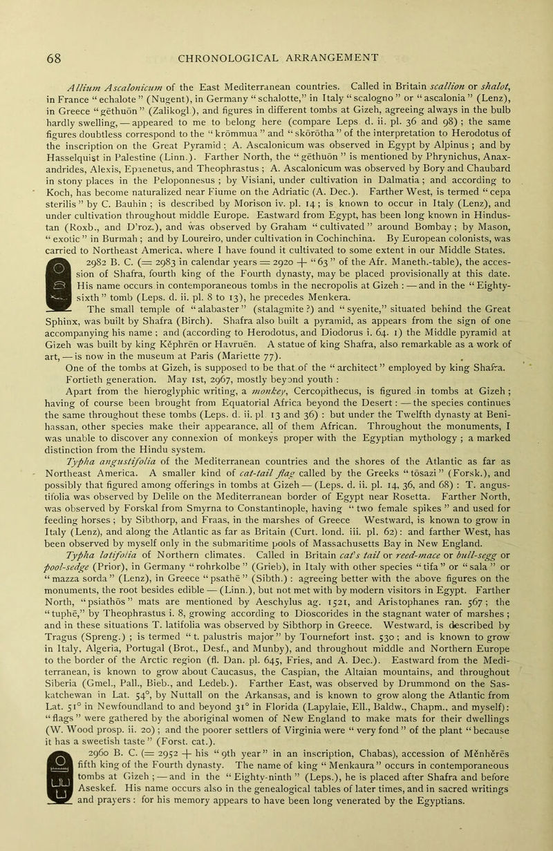 Allium Ascalonicum of the East Mediterranean countries. Called in Britain scallion or shalot, in France “ echalote ” (Nugent), in Germany “ schalotte,” in Italy “ scalogno ” or “ ascalonia ” (Lenz), in Greece “gethuon” (Zalikogl), and figures in different tombs at Gizeh, agreeing always in the bulb hardly swelling, — appeared to me to belong here (compare Leps d. ii. pi. 36 and 98); the same figures doubtless correspond to the “ krommua ” and “ skorotha ” of the interpretation to Herodotus of the inscription on the Great Pyramid : A. Ascalonicum was observed in Egypt by Alpinus ; and by Hasselquist in Palestine (Linn.). Farther North, the “ gethuon ” is mentioned by Phrynichus, Anax- andrides, Alexis, Epaenetus, and Theophrastus ; A. Ascalonicum was observed by Bory and Chaubard in stony places in the Peloponnesus; by Visiani, under cultivation in Dalmatia; and according to Koch, has become naturalized near Fiume on the Adriatic (A. Dec.). Farther West, is termed “cepa sterilis” by C. Bauhin ; is described by Morison iv. pi. 14; is known to occur in Italy (Lenz), and under cultivation throughout middle Europe. Eastward from Egypt, has been long known in Hindus- tan (Roxb., and D’roz.), and was observed by Graham “ cultivated ” around Bombay ; by Mason, “ exotic ” in Burmah ; and by Loureiro, under cultivation in Cochinchina. By European colonists, was carried to Northeast America, where I have found it cultivated to some extent in our Middle States. 2982 B. C. (= 2983 in calendar years = 2920 -f- “63 ” of the Afr. Maneth.-table), the acces- sion of Shafra, fourth king of the Fourth dynasty, may be placed provisionally at this date. His name occurs in contemporaneous tombs in the necropolis at Gizeh : —and in the “ Eighty- sixth ” tomb (Leps. d. ii. pi. 8 to 13), he precedes Menkera. The small temple of “alabaster” (stalagmite?) and “syenite,” situated behind the Great Sphinx, was built by Shafra (Birch). Shafra also built a pyramid, as appears from the sign of one accompanying his name ; and (according to Herodotus, and Diodorus i. 64. 1) the Middle pyramid at Gizeh was built by king Kfiphren or Havruen. A statue of king Shafra, also remarkable as a work of art, — is now in the museum at Paris (Mariette 77). One of the tombs at Gizeh, is supposed to be that of the “ architect ” employed by king Shafra. Fortieth generation. May 1st, 2967, mostly beyond youth : Apart from the hieroglyphic writing, a monkey, Cercopithecus, is figured -in tombs at Gizeh ; having of course been brought from Equatorial Africa beyond the Desert:—the species continues the same throughout these tombs (Leps. d. ii. pi 13 and 36) : but under the Twelfth dynasty at Beni- hassan, other species make their appearance, all of them African. Throughout the monuments, I was unable to discover any connexion of monkeys proper with the Egyptian mythology ; a marked distinction from the Hindu system. Typha angustifolia of the Mediterranean countries and the shores of the Atlantic as far as Northeast America. A smaller kind of cat-tail flag called by the Greeks “ tosazi ” (Forsk.), and possibly that figured among offerings in tombs at Gizeh— (Leps. d. ii. pi. 14, 36, and 68) : T. angus- tifolia was observed by Delile on the Mediterranean border of Egypt near Rosetta. Farther North, was observed by Forskal from Smyrna to Constantinople, having “ two female spikes ” and used for feeding horses ; by Sibthorp, and Fraas, in the marshes of Greece Westward, is known to grow in Italy (Lenz), and along the Atlantic as far as Britain (Curt. lond. iii. pi. 62): and farther West, has been observed by myself only in the submaritime pools of Massachusetts Bay in New England. Typha latifolia of Northern climates. Called in Britain cat's tail or reed-mace or bull-segg or pool-sedge (Prior), in Germany “rohrkolbe” (Grieb), in Italy with other species “tifa” or “sala ” or “mazza sorda ” (Lenz), in Greece “psathe” (Sibth.) : agreeing better with the above figures on the monuments, the root besides edible — (Linn.), but not met with by modern visitors in Egypt. Farther North, “psiathos” mats are mentioned by Aeschylus ag. 1521, and Aristophanes ran. 567; the “tuphe,” by Theophrastus i. 8, growing according to Dioscorides in the stagnant water of marshes ; and in these situations T. latifolia was observed by Sibthorp in Greece. Westward, is described by Tragus (Spreng.) ; is termed “ t. palustris major” by Tournefort inst. 530; and is known to grow in Italy, Algeria, Portugal (Brot., Desf., and Munby), and throughout middle and Northern Europe to the border of the Arctic region (fl. Dan. pi. 645, Fries, and A. Dec.). Eastward from the Medi- terranean, is known to grow about Caucasus, the Caspian, the Altaian mountains, and throughout Siberia (Gmel., Pall., Bieb., and Ledeb.). Farther East, was observed by Drummond on the Sas- katchewan in Lat. 540, by Nuttall on the Arkansas, and is known to grow along the Atlantic from Lat. 510 in Newfoundland to and beyond 310 in Florida (Lapylaie, Ell., Baldw., Chapm., and myself): “flags” were gathered by the aboriginal women of New England to make mats for their dwellings (W. Wood prosp. ii. 20) ; and the poorer settlers of Virginia were “ very fond ” of the plant “because it has a sweetish taste ” (Forst. cat.). 2960 B. C. (= 2952 -j- his “9th year” in an inscription, Chabas), accession of M&nhSres fifth king of the Fourth dynasty. The name of king “ Menkaura” occurs in contemporaneous tombs at Gizeh ; — and in the “ Eighty-ninth ” (Leps.), he is placed after Shafra and before Aseskef. His name occurs also in the genealogical tables of later times, and in sacred writings and prayers : for his memory appears to have been long venerated by the Egyptians.