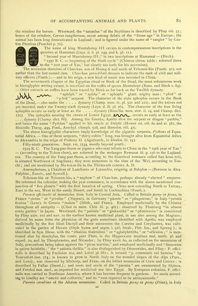 the reindeer for horses. Westward, the “ tarandus ” of the Scythians is described by Pliny viii. 52 ; bones of the reindeer, Cervus rangiferinus, occur among debris of the “ Stone age ” in Europe; the animal has been long domesticated in Lapland ; and is figured under the name of “ rangier ” by Gas- ton Phoebus (Pouchet p. 70). The name of king Muntuhotep 111. occurs in contemporaneous inscriptions in the quarries at Hamamat (Leps. d. ii. pi. 149, and k. pi. 11). “ Second year of Muntuhotep III.,” in two inscriptions at Hamamat— (Birch). “ 2337 B. C. = beginning of the Sixth cycle ” (Chinese chron. table ; referred there to the “21st year of Yao,” but clearly too earlv for his accession). The accession therefore of Chao-hao. son of Hoang-ti and uncle of Tchouen-hio (Pauth. 30), not earlier than the last-named date. Chao-hao prescribed dresses to indicate the rank of civil and mili- tary officers (Pauth.); — and in his reign, a new kind of music was invented in China. The seventeenth chapter of the Egyptian ritual or Book of the Dead, the most voluminous work in hieroglyphic writing extant, is inscribed on the coffin of queen Mentuhept (Buns, and Birch v. 89). — Other extracts on coffins have been traced by Birch as far back as the Twelfth dynasty. “ aphdph ” or “ aphdp ” or “ aphophi ” giant mighty man; “phof” or “ p-hof ” serpent. The character of the slain aphophis occurs in the Book of the Dead,—also under the .... dynasty (Champ, mon. iv. pi. 320 and 222); and the knives not yet inserted, under the Twenty-sixth dynasty (Leps. d. iii. pi. 26). The character of the free living aphophis occurs as early at least as the .... dynasty (Rosellin. mon. stor. ii. 24, and Champ, diet. 170). The aphophis wearing the crown of Lower Egypt, occurs as early at least as the . . . . dynasty (Champ, diet. 88). Among the Greeks, Apollo slew the serpent or dragon “puthbn,” and hence the name “ Pythian ” applied to his oracle at Delphi (Homer od. viii. 80 and xi. 581, the Hesiodic Theog. 499, Pind., Aeschyl. choeph. 928, and Herodot. viii. 47). The above hieroglyphic characters imply knowledge of the gigantic serpents, Pythotis of Equa- torial Africa. — One of these serpents, “ thirty cubits ” long, was brought alive from Equatorial Africa to Alexandria in the reign of Ptolemy II. (Agatharch., in Diodor. iii. 25). Fifty-ninth generation. Sept. 1st, 2334, mostly beyond youth : 2329 B. C. The Yang-pao-theou or pigmies who sent tribute to China in the “ 29th year of Yao ” — (according to the Tchou-chou), are referred in the melanges Remusat iii. p. 256 to the Lapland- ers. The country of the Yang-pao-theou, according to the historical romance called San koue tchi, is situated Northwest of Sogdiana; they were numerous in the time of the ’Wei, according to Tou- chi ; and are mentioned by Ma-touan-lin in the Thirteenth century A. D. Amemphsinus, a Chaldean of Lanchares or Laranchis, reigning at Babylon — (Berosus in Alex. Polyhist., Euseb., and Syncell.). Tchouan-hiu or Tchouen-hio, a “nephew” of Chao-hao, perhaps already “ elected ” emperor. He reformed the calendar, making the year commence, in accordance with the above-mentioned con- junction of “ five planets ” with the first lunation of spring. China now extending North to Tartary, East to the sea, West to the sandy Desert, and South to Cochinchina (Pauth.). Pceonia officinalis of mountains from Italy to Central Asia. Called in Britain peony or piony, in France “ pioine ” or “ pivoine ” (Nugent), in Germany “ paonie ” or “ pfingstrose,” in Italy “peonia femina ” (Lenz), in Greece “ makos ” (Sibth., and Fraas). Employed medicinally by the Chinese throughout all antiquity — (Cibot in mem. Chin. iii. p. 461): observed by Thunberg “in almost every garden ” in Japan. Westward, the “ paionia ” or “ glukusithe ” or “ pSntorovSs ” is considered by Pliny xxiv. 102 and xxv. 10 the earliest known medicinal plant, in use also among the Magians; derived its name frbm the physician of the gods sometimes identified with Apollo, was employed medicinally by the five Idaei Dactyli and their successors the Curetes and Corybantes, was culti- vated in the garden of Hecate (Orph. hymn and argon, i. 916, Strab , Plut. lun., and Spreng ) ; is identified in Syn. Diosc. with the “ ithaious thaktulous ” or “ aglaophdtitha ” or “sSlenion ; ” is men- tioned also by Aeschylus, the comic poet Plato, in the Hippocratic treatises mul. morb. 56 and superf. 20, and by Theophrastus, and Nicander ; by Pliny xxvii. 60, as collected on the mountains of Italy, precautions being taken against the “picus martius,” and employed medicinally and “faunorum in quiete ludubriis ; ” the “ paionia thel&ia ” is also distinguished by Dioscorides, and Pliny : P. offici- nalis is described by Fuchsius 202, and Lobel pi. 682; is termed “p. communis vel foemina” by Tournefort inst. 274; is known to grow in North Italy on the wooded slopes of the Alps (Pers., and Lenz) ; was observed by Sibthorp, and Fraas, on the loftier mountains of Crete and Greece ; is described by Pallas (Steud.) ; and roots and seeds of the “paeonia” are enumerated by Alpinus, and Forskal mat. med., as imported for medicinal use into Egypt. By European colonists, P. offici- nalis was carried to Northeast America, where it has become frequent in gardens. Its seeds accord- ing to Lindley are “ emetic and cathartic,” and its “ root reported to be antispasmodic.” Pceonia corallina of the Altaian mountains. Called in Britain peony or piony (Prior), in Italy 11