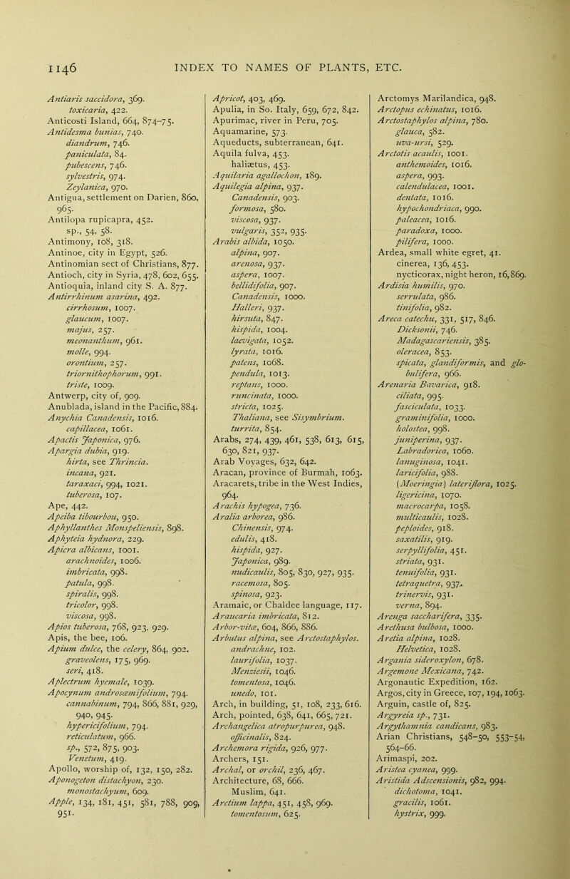 Antiaris saccidora, 369. toxicaria, 422. Anticosti Island, 664, 874-75. Antidesma bunias, 740. diandrum, 746. paniculata, 84. pubescens, 746. sylvestris, 974. Zeylanica, 970. Antigua, settlement on Darien, 860, 965- Antilopa rupicapra, 452. sp., 54, 58. Antimony, 108, 318. Antinoe, city in Egypt, 526. Antinomian sect of Christians, 877. Antioch, city in Syria, 478, 602, 655. Antioquia, inland city S. A. 877. Antirrhinum asarina, 492. cirrhosum, 1007. glaucum, 1007. inajus, 257. meonanthiun, 961. molle, 994. orontium, 257. triornithophorum, 991. triste, 1009. Antwerp, city of, 909. Anublada, island in the Pacific, 884. Anychia Canadensis, 1016. capillacea, 1061. Apactis Japonica, 976. Apargia dubia, 919. hirta, see Thrincia. incana, 921. taraxaci, 994, 1021. tuberosa, 107. Ape, 442. Apeiba tibourbou, 950. Aphyllanthes Monspeliensis, 898. Aphyteia hydnora, 229. Apicra albicajis, 1001. arachnoides, 1006. imbricata, 998. patula, 998. spiralis, 998. tricolor, 998. viscosa, 998. Apios tuberosa, 768, 923, 929. Apis, the bee, 106. Apium dulce, the celery, 864, 902. graveolens, 175, 969. sen', 418. A plectrum hyemale, 1039. Apocynum androscemifolium, 794. cannabinum, 794, 866, 881, 929, 940, 945. hypericifolium, 794. reticulatum, 966. sp., 572, 875, 903. Venetian, 419. Apollo, worship of, 132, 150, 282. Aponogeton distachyon, 230. monostachyum, 609. Apple, 134, 181,451, 581, 788, 909, 95i- Apricot, 403, 469. Apulia, in So. Italy, 659, 672, 842. Apurimac, river in Peru, 705. Aquamarine, 573. Aqueducts, subterranean, 641. Aquila fulva, 453. haliaetus, 453. Aquilaria agallochon, 189. Aquilegia alpina, 937. Canadensis, 903. form osa, 580. viscosa, 937. vulgaris, 352, 935. Arabis albida, 1050. alpina, 907. arenosa, 937. asp era, 1007. bellidifolia, 907. Canadensis, 1000. Halleri, 937. hirsuta, 847. hispida, 1004. laevigata, 1052. lyrata, 1016. patens, 1068. pendula, 1013. reptans, 1000. runcinata, 1000. stricta, 1025. Thaliana, see Sisymbrium, turrita, 854. Arabs, 274, 439, 461, 538, 613, 615, 630, 821, 937. Arab Voyages, 632, 642. Aracan, province of Burmah, 1063. Aracarets, tribe in the West Indies, 964. Arachis hypogea, 736. Aralia arborea, 986. Chinensis, 974. edulis, 418. hispida, 927. Japonica, 989. nudicaulis, 805, 830, 927, 935. racemosa, 805. spinosa, 923. Aramaic, or Chaldee language, 117. Araucaria imbricata, 812. Arbor-vitce, 604, 866, 886. Arbutus alpina, see Arctostapkylos. andrachne, 102. laurifolia, 1037. Menziesii, 1046. tomentosa, 1046. unedo, 101. Arch, in building, 51, 108, 233, 616. Arch, pointed, 638, 641, 665, 721. Archangelica atropurpurea, 948. officinalis, 824. Archetnora rigida, 926, 977. Archers, 151. Archal, or orchil, 236, 467. Architecture, 68, 666. Muslim, 641. Arctium lappa, 451, 458, 969. tomcntosum, 625. Arctomys Marilandica, 948. Arctopus echinatus, 1016. Arctostapkylos alpina, 780. glauca, 582. uva-ursi, 529. Arctotis acaulis, 1001. anthemoides, 1016. aspera, 993. calendtdacea, 1001. denlata, 1016. hypochondriaca, 990. paleacea, 1016. paradoxa, 1000. pilifera, 1000. Ardea, small white egret, 41. cinerea, 136, 453. nycticorax, night heron, 16,869. Ardisia kumilis, 970. serrulata, 986. tinifolia, 982. Areca catechu, 331, 517, 846. Dicksonii, 746. Madagascariensis, 385. oleracea, 853. spicata, glandiformis, and glo- bulifera, 966. Arenaria Bavarica, 918. ciliata, 995. fasciculata, 1033. graminifolia, 1000. holostea, 998. juniperina, 937. Labradorica, 1060. lanuginosa, 1041. laricifolia, 988. (Moeringia) lateriflora, 1025. ligericina, 1070. macrocarpa, 1058. multicaulis, 1028. peploides, 918. saxatilis, 919. serpyllifolia, 451. striata, 931. tenu folia, 931. tetraquetra, 937.. trinervis, 931. verna, 894. Arenga saccharifera, 335. Arethusa bulbosa, 1000. Aretia alpina, 1028. Helvetica, 102S. Argania sideroxylon, 678. Argemone Mexicana, 742. Argonautic Expedition, 162. Argos, city in Greece, 107,194,1063. Arguin, castle of, 825. Argyreia sp., 731. Argythamnia candicans, 983. Arian Christians, 548-50, 553—54, 564-66. Arimaspi, 202. Aristea cyanea, 999. Aristida Adscensionis, 982, 994. dichotoma, 1041. gracilis, 1061. hystrix, 999.