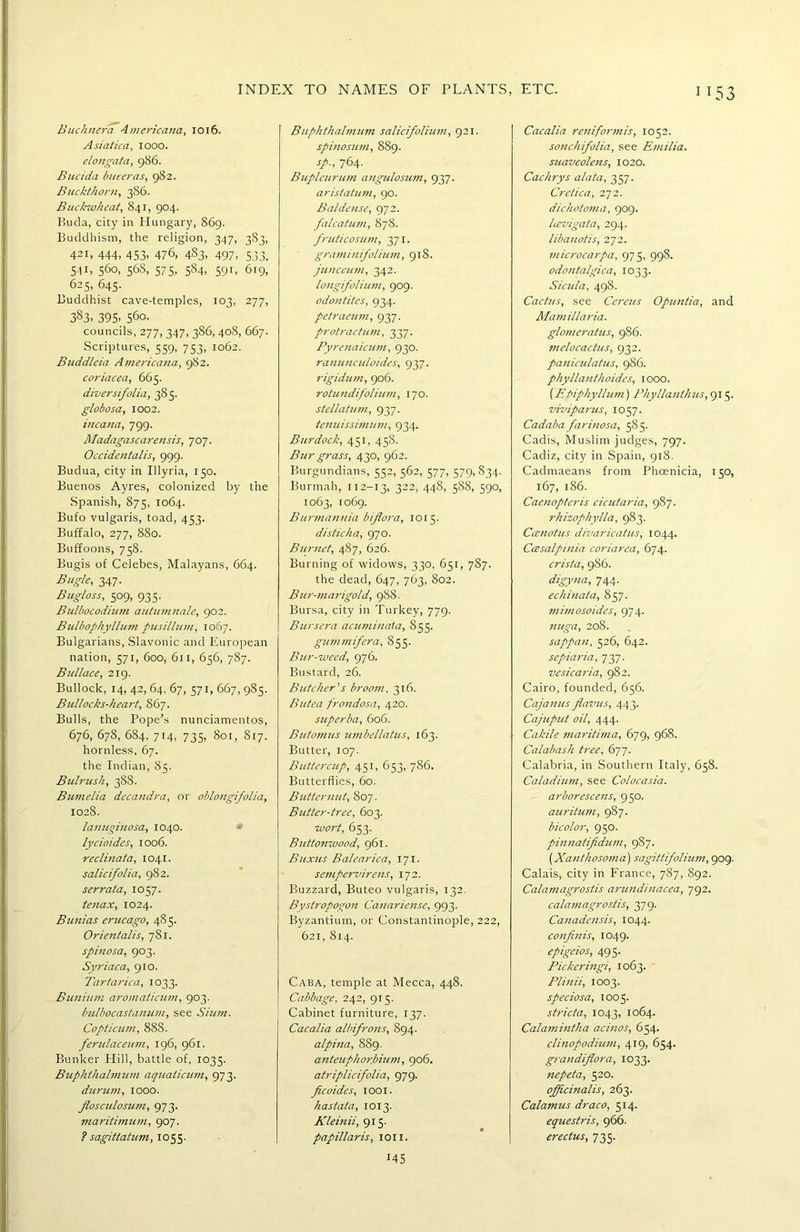 Buchner a Americana, 1016. Asiatica, 1000. emngata, 986. Bucida buceras, 982. Buckthorn, 386. Buckwheat, 841, 904. Buda, city in Hungary, 869. Buddhism, the religion, 347, 383, 421, 444, 453, 476, 483, 497, 533. 51L 56°- 56S> 575. 5S4, 59 L 619, 625, 645. Buddhist cave-temples, 103, 277, 383. 395- 560. councils, 277, 347, 386, 408, 667. Scriptures, 559, 753, 1062. Buddleia Americana, 982. coriacea, 665. diversifolia, 38 5. globosa, 1002. incana, 799. Aladagascarensis, 707. Occidentalis, 999. Budua, city in Illyria, 150. Buenos Ayres, colonized by the Spanish, 875, 1064. Bufo vulgaris, toad, 453. Buffalo, 277, 880. Buffoons, 758. Bugis of Celebes, Malayans, 664. Bugle, 347. Bugloss, 509, 935. Bulbocodium autumnale, 902. Bidbophyllum pusillum, 1067. Bulgarians, Slavonic and European nation, 571, 600, 611, 656, 787. Bidlace, 219. Bullock, 14, 42, 64, 67, 571, 667, 985. Bullocks-heart, 867. Bulls, the Pope’s nunciamentos, 676, 678, 684, 714, 735, 801, 817. hornless, 67. the Indian, 85. Bulrush, 388. Bumelia decandra, or oblongifolia, 1028. lanuginosa, 1040. lycioides, 1006. reclinata, 1041. salicifolia, 982. serrata, 1057. tenax, 1024. Bunias erucago, 485. Orientalis, 781. spinosa, 903. Syriaca, 910. Tartarica, 1033. Bunium aromaticum, 903. bulbocastanum, see Slum. Copticum, 88S. fendaceum, 196, 961. Bunker Hill, battle of, 1035. Buphthalmum aquaticum, 973. durum, 1000. Jloscidosum, 973. maritimum, 907. ? sagittatum, 1055. Buphthalmum salicifolium, 921. spinosum, 8S9. sp., 764. Bupleurum angidosum, 937. aristatum, 90. Baldense, 972. falcatum, 878. fridicosum, 371. graminifolium, 918. junceum, 342. longifolium, 909. odontites, 934. petraeum, 937. protractum, 337. Pyrenaicum, 930. ranunculoides, 937. rigidum, 906. rotundifolium, 170. stellatum, 937. temdssimum, 934. Burdock, 451, 458. Bur grass, 430, 962. Burgundians, 552, 562, 577, 579,834. Burmah, 112-13, 322, 44S, 588, 590, 1063, io69- Burmannia biflora, 1015. disticha, 970. Burnet, 487, 626. Burning of widows, 330, 651, 787. the dead, 647, 763, 802. Bur-marigold, 988. Bursa, city in Turkey, 779. Bursera acuminata, 855. gummifera, 855. Bur-weed, 976. Bustard, 26. Butcher's broom, 316. Butea frondosa, 420. superba, 606. Butomus umbellatus, 163. Butter, 107. Bidtercup, 451, 653, 786. Butterflies, 60. Butternut, 807. Butter-tree, 603. wort, 653. Buttonwood, 961. Buxus Balearica, 171. sempervirens, 172. Buzzard, Buteo vulgaris, 132. Bystropogon Canariense, 993. Byzantium, or Constantinople, 222, 621, 814. Caba, temple at Mecca, 448. Cabbage, 242, 915. Cabinet furniture, 137. Cacalia albifrons, 894. alpina, 889. anteuphor.bium, 906. atriplicifolia, 979. ficaides, loot. hastata, 1013. Kleinii, 915. papillaris, ion. *45 Cacalia reniformis, 1052. sonchifolia, see Emilia, suaveolens, 1020. Cachrys alata, 357. Cretica, 272. dichotoma, 909. Icevigata, 294. libauotis, 272. microcarpa, 975, 998. odontalgica, 1033. Sicula, 498. Cactus, see Cereus Opuntia, and Mamillaria. glomeratus, 986. melocactus, 932. paniculatus, 9S6. phyllanthoides, 1000. (Ebiphyllum) Phyllanthus, 915. viviparus, 1057. Cadaba farinosa, 5S5. Cadis, Muslim judges, 797. Cadiz, city in Spain, 918. Cadmaeans from Phoenicia, 150, 167, 186. Caenopteris cicutaria, 987. rkizophylla, 983. Ccenotus divaricatus, 1044. Ccesalpinia coriarea, 674. crista, 986. digyna, 744. echinata, 857. mimosoides, 974. nuga, 208. sappan, 526, 642. sepiaria, 737. vesicaria, 982. Cairo, founded, 656. Cajanus flavus, 443. Cajuput oil, 444. Cakile maritima, 679, 968. Calabash tree, 677. Calabria, in Southern Italy, 658. Caladiurn, see Colocasia. arborescens, 950. attrition, 987. bicolor, 950. pinnatifidum, 987. (Xanthosoma) sagittifolium, 909. Calais, city in France, 787, 892. Calamagrostis arundinacea, 792. ca/amagrostis, 379. Canadensis, 1044. confinis, 1049. epigeios, 495. Pickeringi, 1063. Plinii, 1003. speciosa, 1005. s trie ta, 1043, 1064. Calamintha acinos, 654. clinopodium, 419, 654. grandiflora, 1033. nepeta, 520. officinalis, 262- Calamus draco, 514. equestris, 966. erectus, 735.