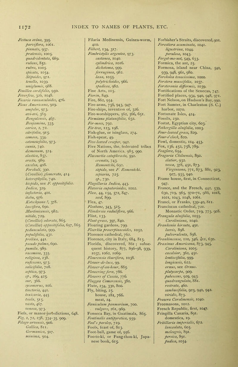 Fesluca. ovina, 395. parvijiora, 1061. pinnata, 937. pratensis, 1005. quadridentata, 689. rubens, 852. rubra, 1005. spicata, 1054. Stipoides, 971. tenella, 1039. uniglumis, 988. Feuillea cordifolia, 950. Feverfew, 326, 1048. Ficaria ramuictdoides, 476. Ficus Americana, 919. ampelos, 973. avi-avi, 385. Bengalensis, 467. Benjamina, 335. carica, 2, 72. citrifolia, 915. comosa, 334. cotoneaefolia, 973. cunia, 740. damonum, 524. elastica, 857. erecta, 989. excelsa, 40S. Forskali, 390. (Covellia) glomerata, 414. heterophylla, 740. hispida, see F. oppositifolia. Indica, 329. infedoria, 401. itabu, 976. Kotschyana ?, 378. laccifera, 690. Martinicensis, 982. nitida, 729. ( Covellia) odorata, 865. {Covellia) oppositifolia, 697, 865. pedunculata, 999. populifolia, 431. prolixa, 441. pseudo palma, 690. pumila, 989. racemosa, 335. religiosa, 238. rufescens, 973. salicifolia, 708. septica, 973. j/., 269, 425. .rz/r, 366. sycomorus, 106. tinctoria, 441. ioxicaria, 445 tsiela, 315. vasta, 467. venosa, 973. Fiefs, or manor-jurisdictions, 648. A/?-, 2, 72, 238, 334-35, 909. Filago arvensis, 906. Gallica, 811. Germanica, 507. minima, 904. Filaria Medinensis, Guinea-worm, 410. Filbert, 134, 317. Fijtibristylis argentea, 973. castanea, 1040. cylindrica, 1016. dichotoma, 999. ferruginea, 9S2. laxa, 1055. polytrichoides, 966. spadicea, 982. Fine Arts, 115. Fiorin, 8 49. Fire, 862, 954. Fire-arms, 756, 943, 947. Fire-ships, invention of, 326. Fire-worshippers, 562, 566, 651. Firmiana platanifolia, 632. Fir-moss, 792. Fir-tree, 123, 198. Fish-glue, or isinglass, 274. Fish-spear, 49. Five-leaved creeper, 942. Five Nations, the, federated tribes of North America, 985, 990. Flacourtia cataphrada, 592. crenata, 743. Ramontchi, 692. sapida, see F. Ramontchi. sepiaria, 725. sp., 730. Flagellaria Indica, 443. Flaveria eupatorioides, 1002. Flax, 44, 154, 572, 847. seed, 899. Flea, 47. Fleabatie, 343, 525. Flindersia radulifera, 9 66. Flint, 133. Float-grass, 397, 840. Floating gardens, 799. Floerkia proserpinacoides, 1052. Florence cathedral, 762. Florence, city in Italy, 684, 815. Florida, discovered, 861 ; subse- quent history, 877, 896-98, 939, 1037, 1062, 1069. Flourensia thurifera, 1038. Flower-de-luce, 99. Flower-ofan-hour, 885. Flowering fern, 786. Flowers of Cassia, 776. Fluggea Cotnorensis, 381. Flute, 234, 330, 800. Fly, biting, 25. house, 181, 766. meat, 24. Fcenicuhtm panmorium, 700. vulgare, 261, 969. Fonseca Bay, in Guatimala, 865. Fontinalis antipyretica, 959. Fool's parsley, 719. Fools, feast of, 813. Foot-ball, game of, 956. Foo-to-ki, or Fung-thou-ki, Japa- nese book, 615. Forbisher’s Straits, discovered, 901. Forestiera acuminata, 1041. ligustrina, 1044. porulosa, 1043. Forget-me-not, 549, 633. Formica, the ant, 25. Formosa, island near China, 540, 939, 948, 961, 980. Forskolea tenacissi?>ia, 1000. Forster a muscifolia, 10 37. Forsteronia diffort?iis, 1039. Fortifications of the Senecas, 747. Fortified places, 934, 940, 948, 971. Fort Nelson, on Hudson’s Bay, 990. Fort Sumter, in Charleston (S. C.) harbor, 1070. Fortunate Isles, 424. Fossils, 250. Fostat, Egyptian city, 603/ Fothergilla alnifolia, 1003. Four-leaved grass, 829. Four-o'clock, 820. Fowl, domestic, 114. 453. Fox, 136, 452, 758, 789. Foxglove, 654. Fragaria Chiloensis, 892. elatior, 932. vesca, 378, 451, 873. Virginiana, 771,873, 881, 923, 927, 935- 940. Frame house, first, in Connecticut, 947- France, and the French, 442, 539, 630, 719, 965, 970-71, 986, 1018, 1021, 1043, 1048, 1061. Franci, or Franks, 539-40, 811. Franciscan cathedral, 721. Monastic Order, 719, 775. 908. Frangula alnifolia, 1055. Caroliniana, 1040. Frankenia hirsuta, 491. laevis, 898. pulveridenta, S98. Frankincense, no, 346, 411, 630. Fraxinus Americana, 873, 945. Caroliniana, 1005. excelsior, 362, 451. lentiscifolia, 999. longicusis, 622. ornus, see Ornus. platycarpa, 909. picbescens, 929, 943. quadrangidata, 881. rostrata, 460. sambucifolia, 925, 940, 942. viridis, 873. Frazer a Carolhiensis, 1040. Freemasons, 1012. French Republic, first, 1047. Fringilla Canaria, 891. domestica, 19. Fritillaria imperialis, 672. lanceolata, 605. meleagris, 891. persica, 891. pttdica, 1054.