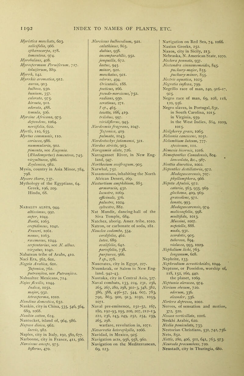 Myristica moschata, 603. salicifolia, 966. spharocarpa, 278. tomentosa, 974. Myrobalans, 408. Myrospermum Peruiferum, 717. toluiferum, 8S9. Myrrh, 142. Myrrhis aromatica, 912. aurea, 903. bulbosa, 930. bunium, 357. colorata, 975. hirsuta, 911. odorata, 488. temula. 506. Myrsine Africana, 975. dependens, 1064. neriifolia, 622. Myrtle, no, 635. Myrtles communis, no. coriacea, 986. nummularia, 902. pimenta, see Eugenia. (Rhodomyrtus) tomentosa, 745. virgultuosa, 986. Zeylanica, 982. Mysia, country in Asia Minor, 784, 798. Mysore thorn, 737. Mythology of the Egyptians, 64. Greek, 196, 209. Hindu, 68. Nabalus albus, 944. altissimus, 992. asper, 1044. Bootii, 1063. crepidineus, 1041. Fraseri, 1061. nanus, 1063. racemosus, 1044. serpentarius, see N. albus. virgatus-, 1040. Nabatean tribe of Arabs, 410. Naci Era, 562, 601. Nageia Arabica, 601. Japonica, 762. putranjiva, see Putranjiva. Nahualtec Mexicans, 714. Arajas flexilis, 1044. Indica, 1051. major, 932. tetrasperma, 1010. Nandina domestica, 632. Nankin, city in China, 535, 546, 564, 689, 1068. Nankin cotton, 624. Nantucket, island of, 964, 986. Napaea dioica, 962. laevis, 982. Naples, city in Italy, 192, 580,677. Narbonne, city in France, 411, 566. Narcissus anceps, 975. bijlorus, 470. Narcissus bulbocodium, 921. calathinus, 863. dubius, 938. incomparabilis, 952. jonquilla, 672. laetus, 945. minor, 921. moschatus, 921. odor us, 494. Orientalis, 188. poeticus, 166. pseudo-narcissus, 752. radians, 930. serotinus, 271. ?sp., 465. tazetta, 166, 419. trHolms, 997. viridijlorus, 945. Nardosmia fragrans, 1047. Japonica, 419. palmata, 1043. Nardostachys jatamansi, 321. Nardus stricta, 903. Naregamia alata, 726. Narraganset River, in New Eng- land, 947. Narthecium ossifragum, 905. Narwhal, 752. Nasamonians, inhabiting the North African Desert, 269. Nasturtium amphibium, 885. armoracia, 432. lacustre, 1069. officinale, 376. palustre, 1024. sylvestre, 882. Nat Mandir, dancing-hall of the Siva Temple, 684. Natchez, aborig. Amer. tribe, 1010. Natron, or carbonate of soda, 181. ATauclea cadamba, 554. cordifolia, 462. lutea, 689. ovalifolia, 642. parvifolia, 738. purpurea, 966. ? sp., 278. Naucrates, city in Egypt, 227. Naumkeak, or Salem in New Eng- land, 942-43. Nautaka, city in Central Asia, 327. Naval combats, 133, 224, 231, 256, 265, 267, 280, 298, 302-3, 348, 382, 386, 388, 456-57, 544, 607, 783, 792, 863, 900, 913, 1050, 1055, 1071. Naval pre-eminence, 151-52, 167, 180, 192-93, 195, 200, 207, 212-13, 222, 236, 243, 249, 252, 254, 259, 265, 298. warfare, revolution in, 1071. Navarretia heterophylla, 1066. Navidad, in Mexico, 925. Navigation acts, 956, 958, 960. Navigation on the Mediterranean, 69, 123. Navigation on Red Sea, 74, 1066. Naxian Greeks, 252. Naxos, city in Sicily, 213. Nebraska, N. American State, 1070. Neckera pennata, 937. Nedandra cinnamomoides, 845. puchury-major, 855. puchury-minor, S55. Nectris aquatica, 1025. Negretia injlexa, 799. Negrillo race of man, 240, 916-17, 925- Negro race of man, 69, 108, 118, 120, 956. Negro slaves, in Portugal, 831. in South Carolina, 1015. in Virginia, 939. in the West Indies, 864, 1009, 1015. Neilgherry grass, 1065. Nelsonia canescens, 1051. Nelumbium luteum, 777. speciosum, in. Nemesia bicornis, 1016. Nemopanthes Canadensis, 804. lanceolata, &c., 987. Neottia diuretica, 1002. Nepenthes destillatoria, 972. Madagascarensis, 707. phyllamphora, 966. Nepeta Apuleii, 972. cataria, 563, 935, 969. glechoma, 409, 969. graveolens, 971. lanata, 993. Madagascarensis, 974. melissaefolia, 998. multifida, 1013. Mussini, 1007. nepetella, 888. Hilda, 931. scordotis, 905. tuberosa, 894. violacea, 993, 1029. Nephelium lichi, 763. longanum, 608. Nephrite, 133. Nephrodium acrostichoides, 1044. Neptune, or Poseidon, worship of, 118, 152, 160, 440. the planet, 1069. Neptunia oleracea, 974. Nerium obesum, 720. odorum, 336. oleander, 336. Nertera depressa, 1002. Nerves, of sensation and motion, 372, 520. Nesaea verticillata, 1016. Neskhi Arabic, 620. Neslia paniculata, 733. Nestorian Christians, 531,742,756. Nets, 852. Nettle, 280, 406, 511, 641, 763, 973. Neurada procumbens, 720. Neustadt, city in Thuringia, 680.