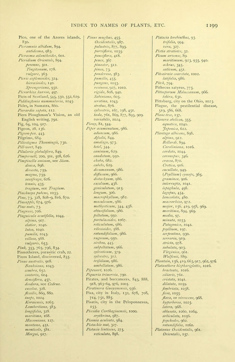 Pico, one of the Azores islands, 830. Picramnia albidum, 894. antidesma, 983. Picrasma ailanlhoides, 601. Picridium Orientate, 894. perenne, 501. Tingitanum, 178. vulgare, 563. Picris asmenioides, 324. hieracioides, 140. Sprmgeriana, 931. Picrorhiza kurroo, 497. Piets of Scotland, 545, 550, 552, 629. Piddingtonia nummularia, 1045. Pider, in Sumatra, 860. Pierardia sapota, 112. Piers Ploughman’s Vision, an old English writing, 791. Pig, 64, 104, 917. Pigeon, 28, 136. Pigeon-pea, 443. Pilgrims, 684. Piliostigma Thonningii, 730. Pill-wort, 849. Pilularia globulifera, 849. Pimperncll, 200, 501, 50S, 626. Pirnpinella anisnm, see Sison. dioica, 898. dissecta, 759. tnagna, 759. saxifraga, 626. tenuis, 435. tragium, see Tragium. Pinckney a pubens, 1033. Pine, 73, 328, 808-9, 816, 870. Pineapple, 674, 976. Pine-nuts, 73. Pingrass, 706. Pinguicula acutifolia, 1044. alpina, 907. elatior, 1040. lutea, 1040. pumila, 1043. villosa, 988. vulgaris, 653. Pink, 353, 765, 796, 834. Pinnotheres, parasitic crab, 22. Pinos Island, discovered, 855. Pinus australis, 908. Banksiana, 1043. cembra, 652. contorta, 604. densifiora, 457. deodara, see Cednts. excelsa, 328. Jlexilis, S69, 880. inops, 1024. Koraiensis, 1063. Lambertiana, 583. longifolia, 328. maritima, 168. Massoniana, 127. montana, 451. monticola, 581. Morgai, 917. Pinus niughus, 455. Occidentalis, 987. palustris, 877, 893. parvifiora, 1035. pauciflora, 418. peuce, 367. pinaster, 512. pinea, 73. ponderosa, 583. pumilio, 455. pungens, 1053. resinosa, 927, 1010. rigida, 808, 940. Sabiniana, 605. serotina, 1043. strob us, 876. sylvestris, 167, 198, 451. tceda, 761, 869, 877, 893, 909. variabilis, 1024. Piony, 81, 544. Piper acuminatum, 986. aduncum, 986. Afzelii, 844. amalago, 973. betel, 344. caninum, 629. caudatum, 950. chaba, 682. cubebs, 629. decumanum, 986. diffusion, 966. distachyum, 9S6. excelsum, 438. geniculatum, 915. longum, 306. macrophyllum, 982. maculosum, 986. methysticum, 344, 438. obtusifolium, 986. peltatum, 950. portulacoidcs, 1067. reticulatum, 9S6. ribesioides, 588. rotundifolium, 9S6. rugosum, 950. siriboa, 445. subpeltatum, 966. sylvaticum, 579. sylvestre, 312. trifolium, 986. umbellatum, 986. Pipewort, 1026. Piqueria trinervia, 790. Pirates, and buccaneers, 843, 888, 918, 963-64, 976, 1005. Piratinera Guayanensis, 936. Pisa, city in Italy, 132, 678, 708, 714, 751, 8S5. Pisatis, city in the Peloponnesus, r53- Piscidia Carthaginensis, 1000. erythrina, 987. Pisonia aculeata, 984. Pistachio nut, 327. Pis facia lentiscus, 275. reticulata, 898. Pistacia terebinthus, 93. trifolia, 994. vera, 327. Pistia stratiotes, 32. Pisum arvense, 89. maritimum, 923, 935, 940. ochrus, 345. sativum, 451. Pitcairnia coarctata, 1002. latifolia, 986. Pitch, 794. Pithecus satyrus, 775. Pittosporum Moluccanum, 966. tobira, 631. Pittsburg, city on the Ohio, 1023. Plague, the pestilential disease, 519, 586, 668. Plane-tree, 157. Planera abelicea, 355. aquatica, 1040. Japonica, 622. Plantago albicans, 89S. alpina, 912. Bellardi, 894. Caroliniana, 1016. cordata, 1044. coronopus, 346. crassa, 870. Cretica, 916. cucullata, 949. (Psyllium) cynops, 365. graminea, 906. interrupta, 1041. ispaghula, 49S. lagopus, 454. lanceolata, 4S0. macrorhiza, 972. major, 156, 419, 958, 969. maritima, 894, 969. media, 97. minuta, 1033. Patagonica, 1042. psyllium, 197. serpentina, 930. serraria, 919. stricta, 978. subulata, 903. Virginica, 961. Wulfenii, 889. Plantain, 156, 419, 663,917, 962, 97& Platanthera blephariglottis, 1016. brae teat a, 1016. ciliaris, 761. cristata, 1041. dilatata, 1059. fimbriata, 1038. fissa, 1055. flava, or virescens, 968. hyperborea, 1025. later a, 968. obtusata, 1060, 1064. orbiculata, 1056. psychodes, 962. rotundifolia, 1060. Platanus Occidentalis, 961. Orientalis, 157.