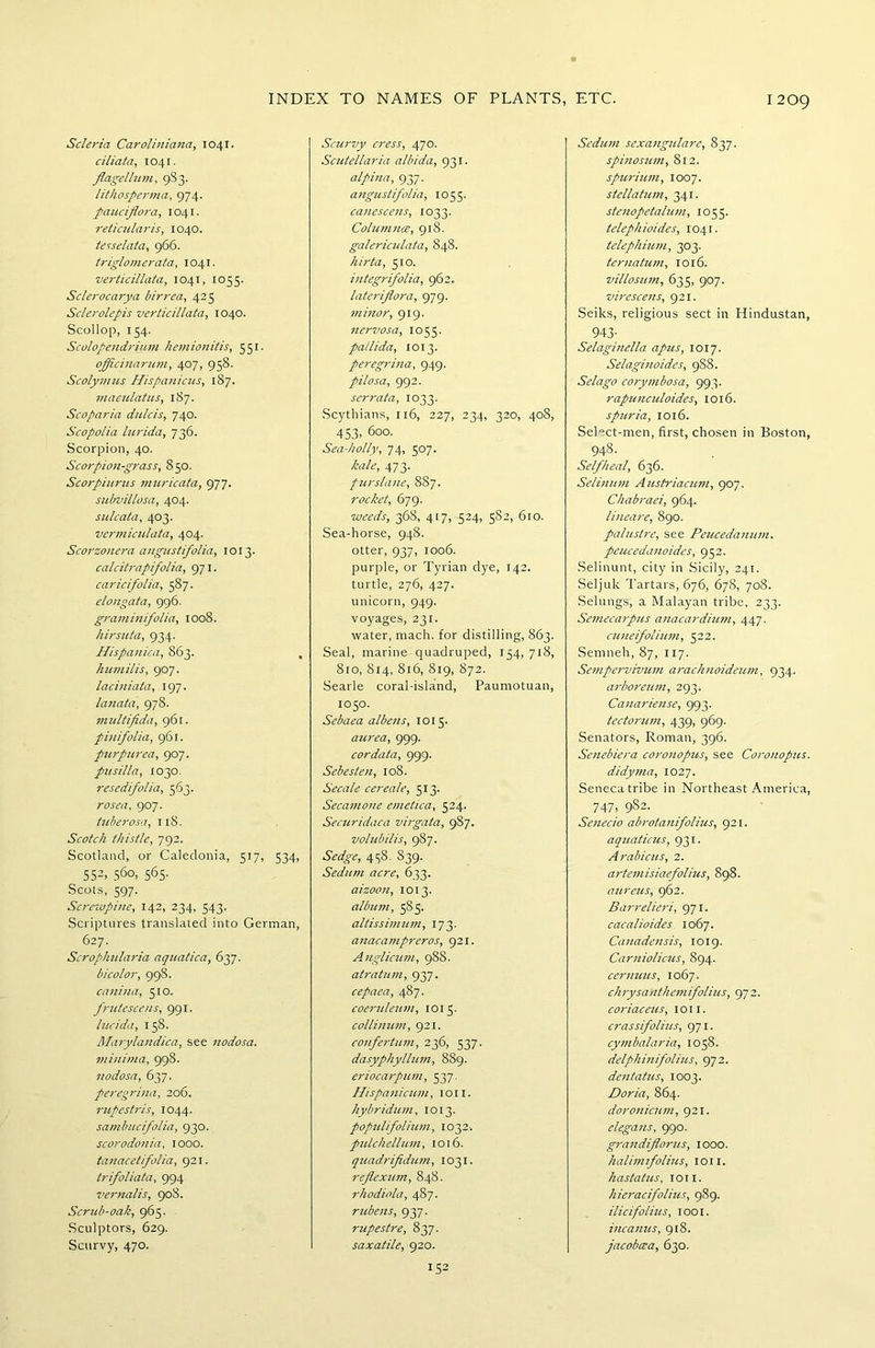 Scleria Caroliniana, 1041. ciliata, 1041. flagellum, 9S3. lithosperma, 974. pauciflora, 1041. reticularis, 1040. tetselata, 966. triglomerata, 1041. verticillata, 1041, 1055. Sclerocarya birrea, 425 Sclerolepis verticillata, 1040. Scollop, 154. Scolopendrium hemionitis, 551. oflicinarum, 407, 958. Scolymus Hispanicus, 187. maculatus, 187. Scoparia dulcis, 740. Scopolia lurida, 736. Scorpion, 40. Scorpion-grass, 850. Scorpiurus muricata, 977. subvillosa, 404. sulcata, 403. vermiculata, 404. Scorzonera angustifolia, 1013. calcitrapifolia, 971. caricifolia, 587. elongata, 996. gram inifolia, 1008. hirsuta, 934. Hispanica, 863. , kumilis, 907. laciniata, 197. lanata, 978. multifida, 961. pinifolia, 961. purpurea, 907. pusilla, 1030. resedifolia, 563. rosea, 907. tuberosa, 118. Scotch thistle, 792. Scotland, or Caledonia, 517, 534, 552, 560, 565. Scots, 597. Screwpine, 142, 234, 543. Scriptures translated into German, 627. Scrophularia aquatica, 637. bicolor, 998. canina, 510. frutescens, 991. lucida, 158. Marylandica, see nodosa, minima, 998. nodosa, 637. peregrina, 206. rupestris, 1044. sambucifolia, 930. scorodonia, 1000. tanacetifolia, 921. trifoliata, 994 vernalis, 908. Scrub-oak, 965. Sculptors, 629. Scurvy, 470. Scurvy cress, 470. Scutellaria albida, 931. alpina, 937. angustifolia, 1055. canescens, 1033. Columnce, 918. galericulata, 848. hirta, 510. integrifolia, 962. lateriflora, 979. minor, 919. nervosa, 1055. pallida, 1013. peregrina, 949. pilosa, 992. serrata, 1033. Scythians, 116, 227, 234, 320, 408, 453, 600. Sea-holly, 74, 507. kale, 473. purslane, 887. rocket, 679. weeds, 368, 417, 524, 5S2, 610. Sea-horse, 948. otter, 937, 1006. purple, or Tyrian dye, 142. turtle, 276, 427. unicorn, 949. voyages, 231. water, mach. for distilling, 863. Seal, marine quadruped, 154, 718, 810, 814, 816, 819, 872. Searle coral-island, Paumotuan, 1050. Sebaea albeitr, 1015. aurea, 999. cordata, 999. Sebesten, 108. Secale cere ale, 513. Secamone emetica, 524. Securidaca virgata, 987. volubilis, 987. Sedge, 458. S39. Sedum acre, 633. aizoon, 1013. album, 585. altissiimun, 173. anacampreros, 921. Anglicum, 988. atratum, 937. cepaea, 487. coeruleum, 1015. collinum, 921. confertum, 236, 537. dasyphyllum, 889. eriocarpum, 537. Hispanicum, ion. hybridum, 1013. populifolium, 1032-. pulchellum, 1016. quadrijidum, 1031. reflexum, 848. rhodiola, 487. rube ns, 937. rupestre, 837. saxatile, 920. 152 Sedum sexangulare, 837. spinosum, 812. spurium, 1007. stellatum, 341. stenopetalum, 1055. telephioides, 1041. telephium, 303. ternatum, 1016. villosttm, 635, 907. virescens, 921. Seiks, religious sect in Hindustan, 943- Selaginella apus, 1017. Selaginoides, 9S8. Selago corymbosa, 993. rapunculoides, 1016. spuria, 1016. Select-men, first, chosen in Boston, 948. Selfheal, 636. Selinum Austriacum, 907. Chabraei, 964. lineare, 890. palustre, see Peucedanum. peucedanoides, 952. Selinunt, city in Sicily, 241. Seljuk Tartars, 676, 678, 708. Sellings, a Malayan tribe, 233. Semecarpus anacardium, 447. cuneifolium, 522. Sernneh, 87, 117. Sempervivum arachnoideum, 934. arboreum, 293. Canariense, 993. tectorum, 439, 969. Senators, Roman, 396. Senebiera coronopus, see Coronopus. didyma, 1027. Seneca tribe in Northeast America, 747. 982- Senecio abrotanifolius, 921. aquaticus, 931. Arabicus, 2. artemisiaefolius, 898. aureus, 962. 1Barrelieri, 971. cacalioides 1067. Canadensis, 1019. Carniolicus, 894. cer nuus, 1067. chrysanthemifolius, 972. coriaceus, I o 11. crassifolius, 971. cymbalaria, 1058. delphinifolius, 972. dentatus, 1003. Doria, 864. doronicnm, 921. elegans, 990. grandiflorus, 1000. halimifolius, ion. hastatus, ion. hieracifolius, 989. ilicifolius, 1001. incanus, 918. jacobcea, 630.