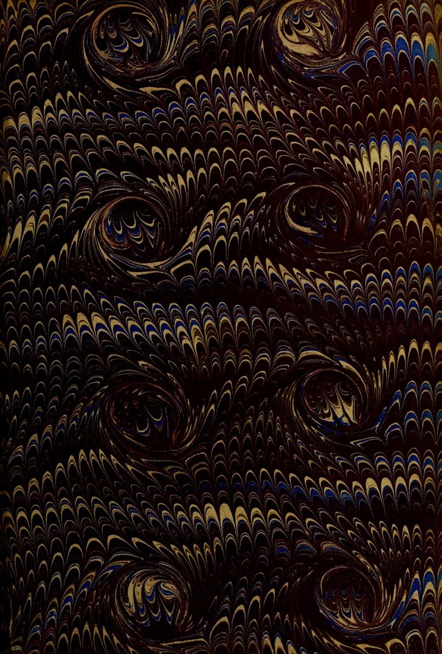 No text description is available for this image