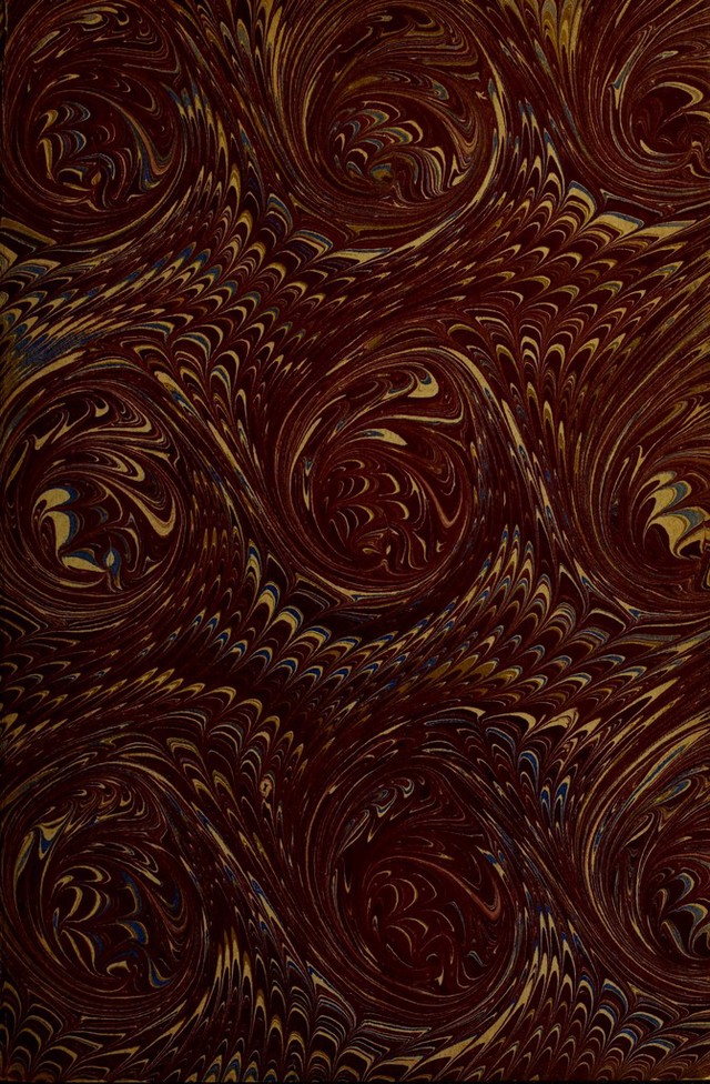 No text description is available for this image