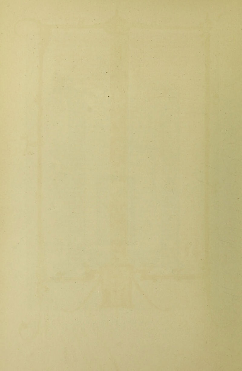 't' n ^ . . .-.I V. \ \ V *• . «; ■A\ <