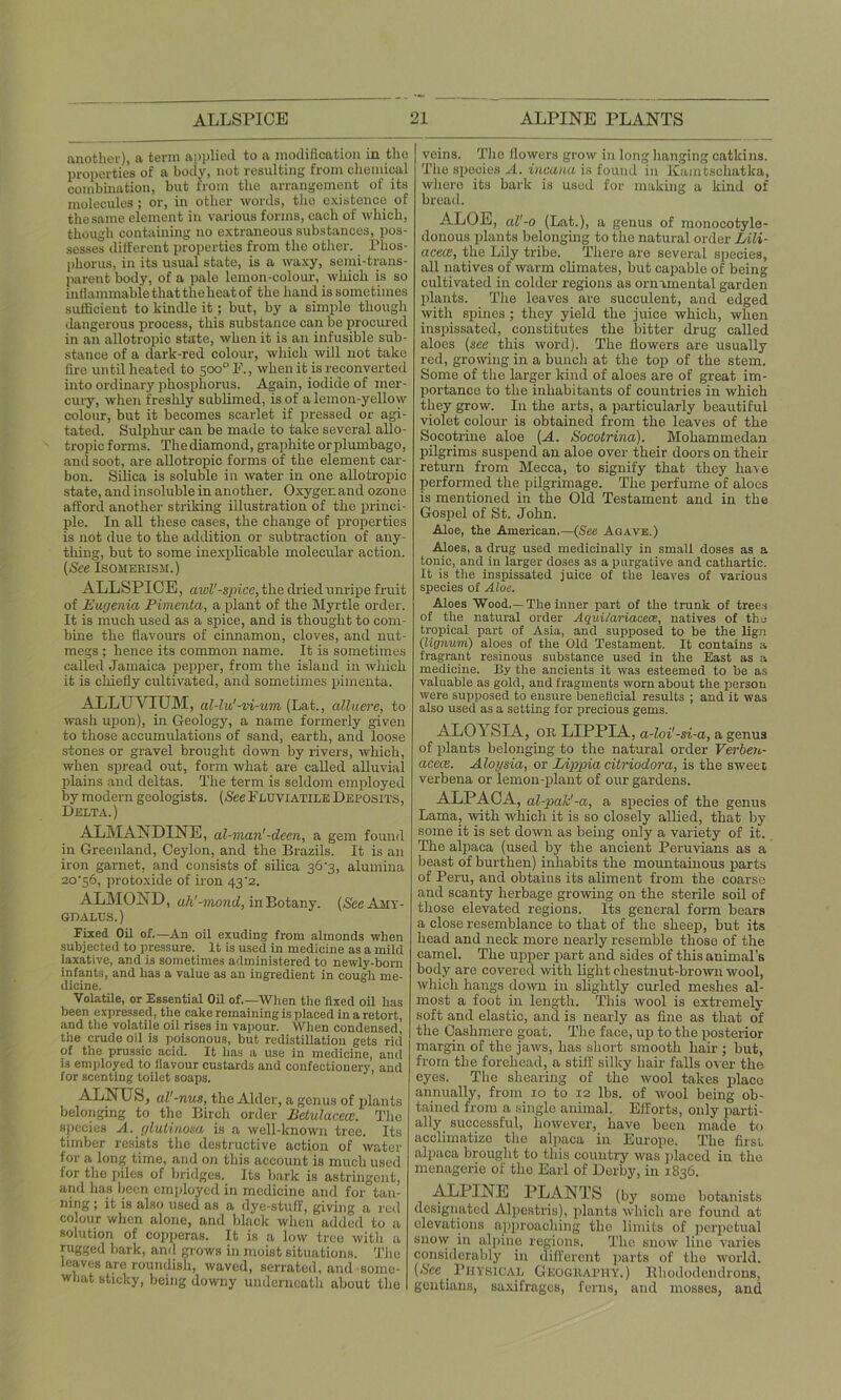 another), a terra applied to a modification in the properties of a body, not resulting from chemical combination, but from the arrangement of its molecules; or, in other words, the existence of thesame element in various forms, each of which, though containing no extraneous substances, pos- sesses different properties from the other. Phos- phorus, in its usual state, is a waxy, semi-trans- parent body, of a pale lemon-colour, which is so inflammable that the heat of the hand is sometimes sufficient to kindle it; but, by a simple though dangerous process, this substance can be procured in an allotropic state, when it is an infusible sub- stance of a dark-red colour, which will not take fire until heated to 500 ° F., when it is reconverted into ordinary phosphorus. Again, iodide of mer- cury, when freshly sublimed, is of a lemon-yellow colour, but it becomes scarlet if pressed or agi- tated. Sulphur can be made to take several allo- tropic forms. The diamond, graphite or plumbago, and soot, are allotropic forms of the element car- bon. Silica is soluble in water in one allotropic state, and insoluble in another. Oxyger.and ozone afford another striking illustration of the princi- ple. In all these cases, the change of properties is not due to the addition or subtraction of any- thing, but to some inexplicable molecular action. (See Isomerism.) ALLSPICE, awl' -spice, the dried unripe fruit of Eugenia Pimenta, a plant of the Myrtle order. It is much used as a spice, and is thought to com- bine the flavours of cinnamon, cloves, and nut- megs ; hence its common name. It is sometimes called Jamaica pepper, from the island in which it is chiefly cultivated, and sometimes pimenta. ALLUVIUM, al-lu' -vi-um (Lat., alluere, to wash upon), in Geology, a name formerly given to those accumulations of sand, earth, and loose stones or gravel brought down by rivers, which, when spread out, form what are called alluvial plains and deltas. The term is seldom employed by modern geologists. (See Fluviatile Deposits, Delta.) ALMANDINE, al-man'-deen, a gem found in Greenland, Ceylon, and the Brazils. It is an iron garnet, and consists of silica 36 '3, alumina 2o'56, protoxide of iron 43'2. ALMOND, ah'-mond, in Botany. (SeeAMY- GD ALL'S.) Fixed Oil of.—An oil exuding from almonds when subjected to pressure. It is used in medicine as a mild laxative, and is sometimes administered to newly-born infants, and ka3 a value as an ingredient in cough me- dicine. Volatile, or Essential Oil of.—When the fixed oil has been expressed, the cake remaining is placed in a retort, and the volatile oil rises in vapour. When condensed, the crude oil is poisonous, but redistillation gets rid of the prussic acid. It has a use in medicine, and is employed to flavour custards and confectionery, and for scenting toilet soaps. ALNUiS, al'-nus, the Alder, a genus of plants belonging to the Birch order Betulacece. The species A. glutinosa is a well-known tree. Its timber resists the destructive action of water for a long time, arid on this account is much used for the piles of bridges. Its bark is astringent, and has been employed in medicine and for tan- ning ; it is also used as a dye-stuff, giving a red colour when alone, and black when added to a solution of copperas. It is a low tree with a rugged bark, and grows in moist situations. The leaves are roundish, waved, serrated, and some- what sticky, being downy underneath about the veins. The flowers grow in long hanging catkins. The species A. incana is found in Kaintschatka, where its bark is used for making a kind of bread. ALOE, al'-o (Lat.), a genus of monocotyle- donous plants belonging to the natural order Lili- acece, the Lily tribe. There are several species, all natives of warm climates, but capable of being cultivated in colder regions as ornamental garden plants. The leaves are succulent, and edged with spines ; they yield the juice which, when inspissated, constitutes the bitter drug called aloes (see this word). The flowers are usually red, growing in a bunch at the top of the stem. Some of the larger kind of aloes are of great im- portance to the inhabitants of countries in which they grow. In the arts, a particularly beautiful violet colour is obtained from the leaves of the Socotrine aloe (A. Socotrina). Mohammedan pilgrims suspend an aloe over their doors on their return from Mecca, to signify that they have performed the pilgrimage. The perfume of aloes is mentioned in the Old Testament and in the Gospel of St. John. Aloe, the American.—(See Agave.) Aloes, a drug used medicinally in small doses as a tonic, and in larger doses as a purgative and cathartic. It is the inspissated juice of the leaves of various species of Aloe. Aloes Wood,—The inner part of the trunk of trees of the natural order Aquiiariacece, natives of the tropical part of Asia, and supposed to be the lign (lignum) aloes of the Old Testament. It contains a fragrant resinous substance used in the East as a medicine. By the ancients it was esteemed to be as valuable as gold, and fragments worn about the person were supposed to ensure beneficial results ; and it was also used as a setting for precious gems. ALOYSIA, OK LIPPIA, a-loi'-si-a, a genus of plants belonging to the natural order Verben- acece. Aloysia, or Lippia citriodora, is the sweet verbena or lemon-plant of our gardens. ALPACA, al-palc' -a, a species of the genus Lama, with which it is so closely allied, that by some it is set down as being only a variety of it. The alpaca (used by the ancient Peruvians as a beast of burthen) inhabits the mountainous parts of Peru, and obtains its aliment from the coarse and scanty herbage growing on the sterile soil of those elevated regions. Its general form bears a close resemblance to that of the sheep, but its head and neck more nearly resemble those of the camel. The upper part and sides of this animal's body are covered with light chestnut-brown wool, which hangs down in slightly curled meshes al- most a foot in length. This wool is extremely soft and elastic, and is nearly as fine as that of the Cashmere goat. The face, up to the posterior margin of the jaws, has short smooth hair ; but, from the forehead, a still' silky hair falls over the eyes. The shearing of the wool takes place annually, from 10 to 12 lbs. of wool being ob- tained from a single animal. Efforts, only parti- ally successful, however, have been made to acclimatize the alpaca in Europe. The first alpaca brought to this country was placed in the menagerie of the Earl of Derby, in 1836. ALPINE PLANTS (by some botanists designated Alpestris), plants which are found at elevations approaching the limits of perpetual snow in alpine regions. The snow line varies considerably in different parts of the world. (See Physical Geography.) Rhododendrons, gentians, saxifrages, ferns, and mosses, and