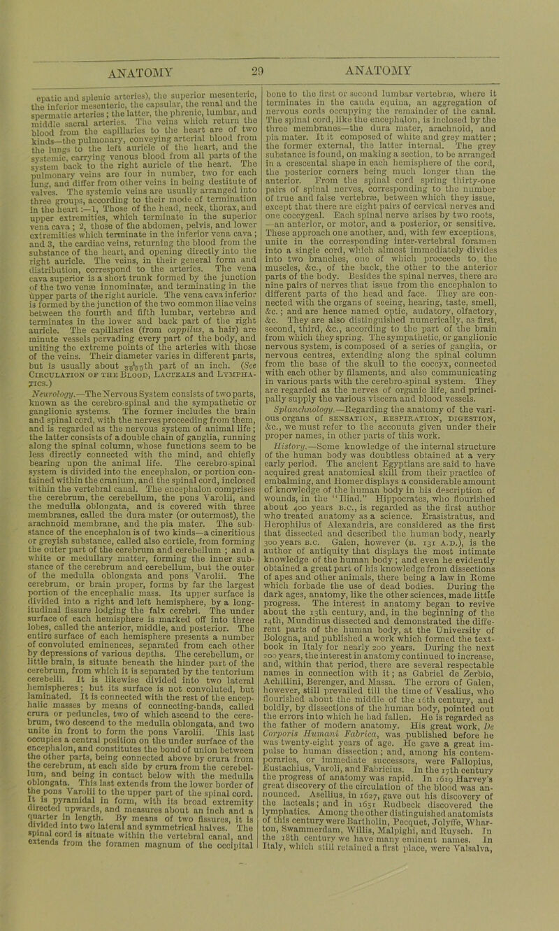epatio aud splenic arteries), tlie superior mesenteric, the inferior mesenteric, the capsular, the renal and the spermatic arteries; the latter, the phrenic, lumbar, and middle sacral arteries. The veins which return the blood from the capillaries to the heart are of two kinds—the pulmonary, conveying arterial blood from the lungs to the left auricle of the heart, and the systemic, carrying venous blood from all parts of the system back to the right auricle of the heart. The pulmonary veins are four in number, two for each lung, and differ from other veins in being destitute of valves. The systemic veins are usually arranged into three groups, according to their mode of termination in the heart1, Those of the head, neck, thorax, and upper extremities, which terminate in the superior vena cava ; 2, those of the abdomen, pelvis, and lower extremities which terminate in the inferior vena cava ; and 3, the cardiac veins, returning the blood from tiie substance of the heart, and opening directly into the right auricle. The veins, in their general form and distribution, correspond to the arteries. The vena cava superior is a short trunk formed by the junction of the two venue innominate, and terminating in the upper parts of the right auricle. The vena cava inferior is formed by the junction of the two common iliac veins between the fourth and fifth lumbar, vertebrae and terminates in the lower and back part of the right auricle. The capillaries (from cappilus, a hair) are minute vessels pervading every part of the body, and uniting the extreme points of the arteries with those of the veins. Their diameter varies in different parts, but is usually about jrffVijth part of an inch. (See Circulation of the Blood, Lacteals and Lyjipha- yics.) Neurolorry.—TheNervous System consistsof two parts, known as the cerebro-spinal and the sympathetic or ganglionic systems. The former includes the brain and spinal cord, with the nerves proceeding from them, and is regarded as the nervous system of animal life ; the latter consists of a double chain of ganglia, running along the spinal column, whose functions seem to be less directly connected with the mind, and chiefly bearing upon the animal life. The cerebro-spinal system is divided into the encephalon, or portion con- tained within the cranium, and the spinal cord, inclosed within the vertebral canal. The encephalon comprises the cerebrum, the cerebellum, the pons Varolii, and the medulla oblongata, and is covered with three membranes, called the dura mater (or outermost), the arachnoid membrane, and the pia mater. The sub- stance of the encephalon is of two kinds—a cineritious or greyish substance, called also corticle, from forming the outer part of the cerebrum and cerebellum ; and a white or medullary matter, forming the inner sub- stance of the cerebrum and cerebellum, but the outer of the medulla oblongata and pons Varolii. The cerebrum, or brain proper, forms by far the largest portion of the encephalic mass. Its upper surface is divided into a right and left hemisphere, by a long- itudinal fissure lodging the falx cerebri. The under surface of each hemisphere is marked off into three lobes, called the anterior, middle, and posterior. The entire surface of each hemisphere presents a number of convoluted eminences, separated from each other by depressions of various depths. The cerebellum, or little brain, is situate beneath the hinder part of the cerebrum, from which it is separated by the tentorium cerebelli. It is likewise divided into two lateral hemispheres ; but its surface is not convoluted, but laminated. It is connected with the rest of the encep- halic masses by means of connecting-bands, called crura or peduncles, two of which ascend to the cere- brum, two descend to the medulla oblongata, and two unite in front to form the pons Varolii. This last occupies a central position on the under surface of the encephalon, and constitutes the bond of union between the other parts, being connected above by crura from the cerebrum; at each side by crura from the cerebel- lum, and being in contact below with the medulla oblongata. This last extends from the lower border of the pons Varolii to the upper part of the spinal cord. It is pyramidal in form, with its broad extremity directed upwards, and measures about an inch and a quarter in length. By means of two fissures, it is divided into two lateral and symmetrical halves. The spinal cord is situate within the vertebral canal, and extends from the foramen magnum of the occipital bone to the first or second lumbar vertebrae, where it terminates in the cauda equina, an aggregation of nervous cords occupying the remainder of the canal. The spinal cord, like the encephalon, is inclosed by the three membranes—the dura mater, arachnoid, and pia mater. It it composed of white and grey matter; the former external, the latter internal. The grey substance is found, on making a section, to be arranged in a crescental shape in each hemisphere of the cord, the posterior corners being much longer than the anterior. From the spinal cord spring thirty-one pairs of spinal nerves, corresponding to the number of true and false vertebra, between which they issue, except that there are eight pairs of cervical nerves and one coccygeal. Each spinal nerve arises by two roots, —an anterior, or motor, and a posterior-, or sensitive. These approach one another, and, with few exceptions, unite in the corresponding inter-vertebral foramen into a single cord, which almost immediately divides into two branches, one of which proceeds to. the muscles, &c., of the back, the other to the anterior parts of the body. Besides the spinal nerves, there are nine pairs of nerves that issue from the encephalon to different parts of the head and face. They are con- nected with the organs of seeing, hearing, taste, smell, &c.; and are hence named optic, audatory, olfactory, &c. They are also distinguished numerically, as first, second, third, &c., according to the part of the brain from which they spring. The sympathetic, or ganglionic nervous system, is composed of a series of ganglia, or nervous centres, extending along the spinal column from the base of the skull to the coccyx, connected with each other by filaments, and also communicating in various parts with the cerebro-spinal system. They are regarded as the nerves of organic life, and princi- pally supply the various viscera and blood vessels. Splanchnology.—Regarding the anatomy of the vari- ous organs of sensation, respiration, digestion, &c., we must refer to the accounts given under their proper names, in other parts of this work. History.—Some knowledge of ihe internal structure of the human body was doubtless obtained at a very early period. The ancient Egyptians are said to have acquired great anatomical skill from their practice of embalming, and Homer displays a considerable amount of knowledge of the human body in his description of wounds, in the “Iliad.” Hippocrates, who flourished about 400 years b.c., is regarded as the first author who treated anatomy as a science. Erasistratus, and Herophilus of Alexandria, are considered as the first that dissected and described the human body, nearly 300 years u.c. Galen, however (b. 131 a.d.), is the author of antiquity that displays the most intimate knowledge of the human body ; and even he evidently obtained a great part of his knowledge from dissections of apes and other animals, there being a law in Rome which forbade the use of dead bodies. During the dark ages, anatomy, like the other sciences, made little progress. The interest in anatomy began to revive about the 13th century, and, in the beginning of the 14th, Mundinus dissected and demonstrated the diffe- rent parts of the human body, at the University of Bologna, and published a work which formed the text- book in Italy for nearly 200 years. During the next 200 years, the interest in anatomy continued to increase, and, within that period, there are several respectable names in connection with it; as Gabriel de Zerbio, Achillini, Berenger, and Massa. The errors of Galen, however, still prevailed till the time of Vesalius, who flourished about the middle of the 16th century, and boldly, by dissections of the human body, pointed out the errors into which he bad fallen. He is regarded as the father of modern anatomy. His great work, De Corporis Humani Fabrica, was published before he was twenty-eight years of age. He gave a great im- pulse to human dissection; and, among his contem- poraries, or immediate successors, were Fallopius, Eustachius, Varoli, and Fabricius. In the 17th century the progress of anatomy was rapid. In 1619 Harvey’s great discovery of the circulation of the blood was an- nounced. Asellius, in 1627, gave out his discovery of the lacteals; and in 1631 Rudbeck discovered the lymphatics. Among the other distinguished anatomists of this century were Bartholin, Pecquet, Jolyfie, Whar- ton, Swammerdam, Willis, Malpighi, and Ruysch. In the 18th century we have many eminent names. In Italy, which still retained a first place, were Valsalva,
