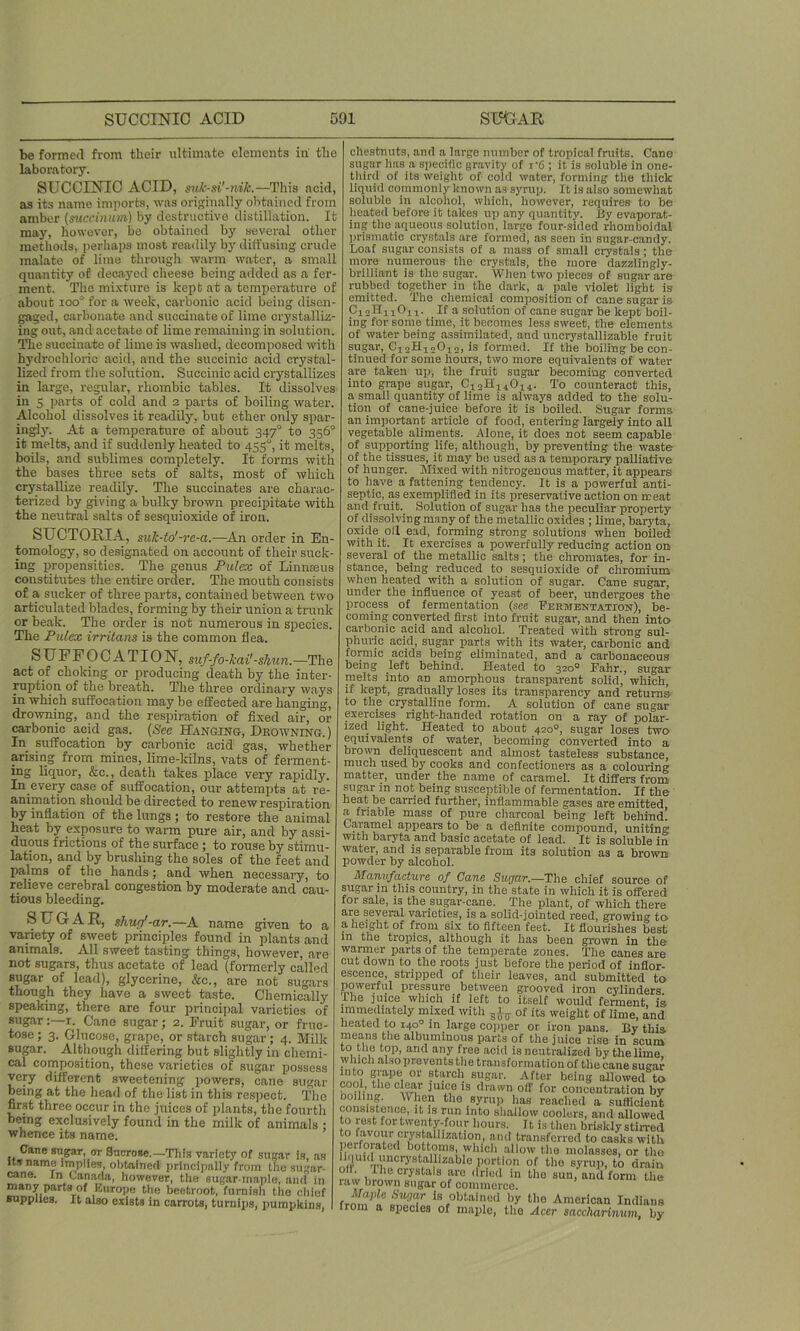be formed from their ultimate elements in the laboratory. SUCCINIC ACID, suk-si'-nik.—This acid, as its name imports, was originally obtained from amber (succinum) by destructive distillation. It may, however, be obtained by several other methods, perhaps most readily by diffusing crude malate of lime through warm water, a small quantity of decayed cheese being added as a fer- ment. The mixture is kept at a temperature of about ioo° for a week, carbonic acid being disen- gaged, carbonate and succinate of lime crystalliz- ing out, and acetate of lime remaining in solution. The succinate of lime is washed, decomposed with hydrochloric acid, and the succinic acid crystal- lized from the solution. Succinic acid crystallizes in large, regular, rhombic tables. It dissolves in 5 parts of cold and 2 parts of boiling water. Alcohol dissolves it readily, but ether only spar- ingly. At a temperature of about 347° to 356° it melts, and if suddenly heated to 455°, it melts, boils, and sublimes completely. It forms with the bases three sets of salts, most of which crystallize readily. The succinates are charac- terized by giving a bulky brown precipitate with the neutral salts of sesquioxide of iron. SUCTORIA, suk-to'-re-a.—An order in En- tomology, so designated on account of their suck- ing propensities. The genus Pulcx of Linnaeus constitutes the entire order. The mouth consists of a sucker of three parts, contained between two articulated blades, forming by their union a trunk or beak. The order is not numerous in species. The Pulex irritans is the common flea. SUFFOCATION, suf-fo-kai'-shun.—The act of choking or producing'death by the inter- ruption of the breath. The three ordinary ways in which suffocation may be effected are hanging, drowning, and the respiration of fixed air, or carbonic acid gas. (See Hanging, Drowning.) In suffocation by carbonic acid gas, whether arising from mines, lime-kilns, vats of ferment- ing liquor, &c., death takes place very rapidly. In every case of suffocation, our attempts at re- animation should be directed to renew respiration by inflation of the lungs ; to restore the animal heat by exposure to warm pure air, and by assi- duous frictions of the surface ; to rouse by stimu- lation, and by brushing the soles of the feet and palms of the hands; and when necessary, to relieve cerebral congestion by moderate and cau- tious bleeding. &U GAR, shuef-ar.—A name given to a variety of sweet principles found in plants and animals. All sweet tasting things, however, are not sugars, thus acetate of lead (formerly called sugar of lead), glycerine, &c., are not sugars though they have a sweet taste. Chemically speaking, there are four principal varieties of sugar1. Cane sugar; 2. Eruit sugar, or fruc- tose ; 3. Glucose, grape, or starch sugar; 4. Milk sugar. Although differing but slightly in chemi- cal composition, these varieties of sugar possess very different sweetening powers, cane sugar being at the head of the list in this respect. The first three occur in the juices of plants, the fourth being exclusively found in the milk of animals ; whence its name. Cane sugar, or Sucrose.—This variety of sugar is, as Us name implies, obtained principally from the sugar- cane. In Canada, however, the sugar-maple, and in many parts of Europe the beetroot, furnish the chief supplies. It also exists in carrots, turnips, pumpkins, chestnuts, and a large number of tropical fruits. Cane sugar has a specific gravity of r'6 ; it is soluble in one- third of its weight of cold water, forming the thick liquid commonly known as syrup. It is also somewhat soluble in alcohol, which, however, requires to be heated before it takes up any quantity. By evaporat- ing the aqueous solution, large four-sided rliomboidal prismatic crystals are formed, as seen in sugar-candy. Loaf sugar consists of a mass of small crystals ; the more numerous the crystals, the more dazzlingly- brilliant is the sugar. When two pieces of sugar are rubbed together in the dark, a pale violet light is emitted. The chemical composition of cane sugar is CieHixOix- If a solution of cane sugar be kept boil- ing for some time, it becomes less sweet, the elements of water being assimilated, and unerystallizable fruit sugar, CjoHxoOio, is formed. If the boiling be con- tinued for some hours, two more equivalents of water are taken up, the fruit sugar becoming converted into grape sugar, C1oH14014. To counteract this, a small quantity of lime is always added to the solu- tion of cane-juice before it is boiled. Sugar forms an important article of food, entering largely into all vegetable aliments. Alone, it does not seem capable of supporting life, although, by preventing the waste of the tissues, it may be used as a temporary palliative of hunger. Mixed with nitrogenous matter, it appears to have a fattening tendency. It is a powerful anti- septic, as exemplified in its preservative action on meat and fruit. Solution of sugar has the peculiar property of dissolving many of the metallic oxides ; lime, baryta, oxide oil ead, forming strong solutions when boiled with it. It exercises a powerfully reducing action on several of the metallic salts; the chromates, for in- stance, being reduced to sesquioxide of chromium when heated -with a solution of sugar. Cane sugar, under the influence of yeast of beer, undergoes the process of fermentation (see Fermentation), be- coming converted first into fruit sugar, and then into, carbonic acid and alcohol. Treated with strong sul- phuric acid, sugar parts with its water, carbonic and formic acids being eliminated, and a carbonaceous being left behind. Heated to 320° Falir., sugar melts into an amorphous transparent solid, which, if kept, gradually loses its transparency and returns to the crystalline form. A solution of cane sugar exercises right-handed rotation on a ray of polar- ized light. Heated to about 420°, sugar loses two equivalents of water, becoming converted into a brown deliquescent and almost tasteless substance, much used by cooks and confectioners as a colouring matter, under the name of caramel. It differs from sugar in not being susceptible of fermentation. If the heat be carried further, inflammable gases are emitted, a friable mass of pure charcoal being left behind! Caramel appears to be a definite compound, unitin'” with baryta and basic acetate of lead. It is soluble in water, and is separable from its solution as a brown powder by alcohol. manvjacture oj Lane Sugar.-—The chief source of sugar in this country, in the state in which it is offered for sale, is the sugar-cane. The plant, of which there are several varieties, is a solid-jointed reed, growing to a height of from six to fifteen feet. It flourishes best in the tropics, although it has been grown in the warmer parts of the temperate zones. The canes are cut down to the roots just before the period of inflor- escence, stripped of their leaves, and submitted to powerful pressure between grooved iron cylinders 4he juice which if left to itself would ferment, is immediately mixed with of its weight of lime, and heated to 1400 in large copper or iron pans. By this means the albuminous parts of the juice rise in scum to the top, and any free acid is neutralized by the lime which also prevents the transformation of the cane sugar into grape or starch sugar. After being allowed to cool, the clear juice is drawn off for concentration by v,?' W^.e? the .syrup lias reached a sufficient lfc Is run “to shallow coolers, and allowed to rest for twenty-four hours. It is then briskly stirred to favour crystallization, and transferred to casks with perforated bottoms, which allow the molasses, or the liquid uncrystaUizahie portion of the syrup, to drain ° • Ike crystals arc dried in the sun, and form the raw brown sugar of commerce. from a ** t,le American Indians from a species of maple, the Acer saccharinum, by