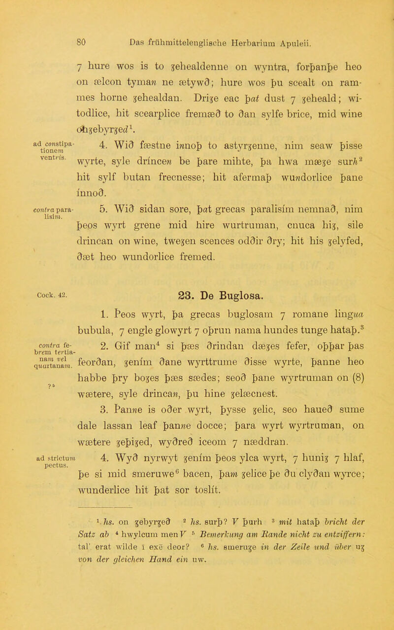 7 hure wos is to jjehealdenne on wyntra, forbanbe heo on selcon tymaw ne setywd; hure wos hu scealt on rara- tnes horne jehealdan. Drije eac bat dust 7 jeheald; wi- todlice, hit scearplice fremsed to dan sjdfe brice, mid wine öfajebyrjed1. adtionemPa Wid fsestne iwnoh to astyrjenne, nim seaw hisse ventns' wyrte, syle drincew be have mihte, ha hwa mseje sur/t2 hit sylf butan frecnesse; hit afertnah wuwdorlice hane innod. contra para- 5. Wid sidan sore, hat grecas paralislm nemnad, nim ltsij«. heos wyrt grene mid hire wurtruman, cnuca hij, sile drincan on wine, twe^en scences oddir dry; hit his jelyfed, dset heo wundorlice fremed. c°ck. 42. 23. De Buglosa. 1. I3eos wyrt, ha grecas buglosam 7 romane ling«« bubula, 7 engle glowyrt 7 ohrun nama hundes tunge hatah-3 contra fe- 2. Gif man4 si hses drindan dsexes fefer, ohhar bas q«urtanam feordan, jenlm dane wyrttrume disse wyrte, banne heo habbe bry bojes h®s ssedes; seod hane wju’truman on (8) ?» wsetere, syle drincan, hu hine jeltecnest. 3. Panne is oder wyrt, hysse jelic, seo haued sume dale lassan leaf banne docce; bara wyrt wyrtruman, on wsetere ^ehijed, wydred iceom 7 nseddran. ad strictum 4. Wyd nyrwyt jenim heos ylca wyrt, 7 liunij 7 hlaf, he si mid smeruwe6 bacen, haw jelicehe duclydan wyrce; wunderlice hit hat sor toslit. 1 hs. on gebyrjed 2 hs. sui-h? V hul'h 3 mit hatah bricht der Satz ab 1 hwylcum men V 5 Bemerkung am Bande nicht zu entziffern: tal' erat wilde I exe deor? 6 hs. smeruge in der Zeile und über ug von der gleichen Hand ein uw.