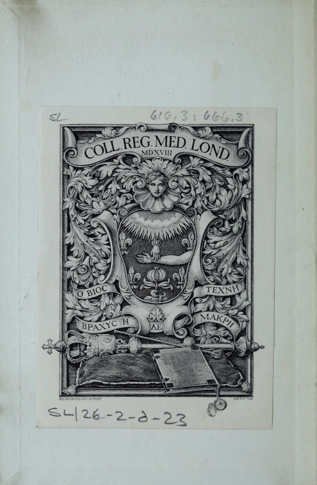 digitised image 2