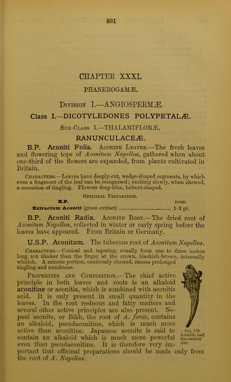 CHAPTEE XXXI. PHANE EO G AM2E. Division I.—ANGIOSPERMiE. Class I.—DICOTYLEDONES POLYPETALiE. Sub-Glass I.—THALAMIFLOE^E. RANUNCULACEiE. B.P. Aconiti Folia. Aconite Leaves.—The fresh leaves and flowering tops of Aconitum Napellus, gathered when about one-third of the flowers are expanded, from plants cultivated in Britain. Characters.—Leaves have deeply-cut, wedge-shaped segments, hy which even a fragment of the leaf can he recognised; exciting slowly, when chewed, a sensation of tingling. Flowers deep-blue, helmet-shaped. Officinal Preparation. B.P. 'DOSE. Extractum Aconiti (green extract) 1-2 gr. B.P. Aconiti Radix. Aconite Eoot.—The dried root of Aconitum Napellus, collected in winter or early spring before the leaves have appeared. From Britain or Germany. U.S.P. Aconitum. The tuberous root of Aconitum Napellus. Characters.—Conical and tapering, usually from one to three inches long, not thicker than the finger at the crown, blackish-brown, internally whitish. A minute portion, cautiously chewed, causes prolonged tingling and numbness. Properties and Composition.—The chief active principle in both leaves and roots is an alkaloid aconitine or aconitia, which is combined with aconitic acid. It is only present in small quantity in the leaves. In the root resinous and fatty matters and several other active principles are also present. Ne- paul aconite, or Bikh, the root of A. ferox, contains an alkaloid, pseudaconitine, which is much more active than aconitine. Japanese aconite is said to Fa». i76. contain an alkaloid which is much more powerful tuenatun?' even than pseudaconitine. It is therefore very im- siZ0, portant that officinal preparations should be made only from the root of A. Napellus.