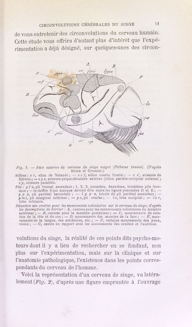de VOUS entretenir des circonvolutions du cerveau humain. Cette étude vous offrira d’autant plus d’intérêt que l’expé- rimentation a déjà désigné, sur quelques-unes des circon- pig_ 5. — face externe du cerveau du singe magot (Ptthecus Innuus). (D’après Broca et Grotnier.) Sillons : s r, silon de Rolande ; — s c f, sillon courbe frontal ; — si’, scissure de Sylvius; — sp e, scissure perpendiculaire externe (sillon pariéto-occipital externe); s P, scissure parallèle. Plis ; P/'a, pli frontal ascendant; 1, 2, 3, première, deuxième, troisième plis fron- taux;— le chiffre 3 qui manque devrait être entre les lignes ponctuées D et E; — P P a, pli pariétal ascendant ; — l p p a, lobule du pli pariétal ascendant ; — pmt, pii marginal inférieur; —pc, pli courbe; — lo, lobe occipital; — lo r, lobe orbitaire. Situation des centres pour les mouvements volontaires sur le cerveau du singe, d’après les descuiptions de Ferrier : A, centres pour les mouvements volontaires du membre antérieur ; — B, centres pour le membre postérieur ; — C, mouvements de rota- tion de la tête et du cou ; — D, mouvements des muscles de la face ; — E, mou- vements de la langue, des mâchoires, etc.; — F, certains mouvements des yeux, vision ; — G, centre en rapport avec les mouvements des oreilles et l’audition. volutions du singe, la réalité de ces points dits psycho-mo- teurs dont il y a lieu de rechercher en se fondant, non plus sur l’expérimentation, mais sur la clinique et sur l’anatomie pathologique, l’existence dans les points corres- pondants du cerveau de l’homme. Voici la représentation d’un cerveau de singe, vu latéra- lement (Ffy. 2), d’après une figure empruntée à l’ouvrage