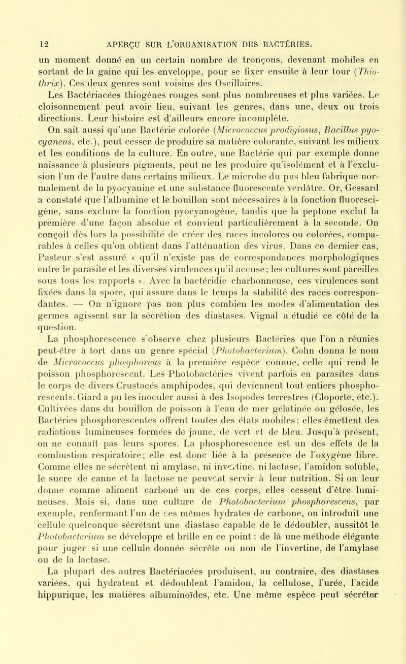 un moment donné en un certain nombre de tronçons, devenant mobiles en sortant de la gaine qui les enveloppe, pour se fixer ensuite à leur tour (Thio- thrix). Ces deux genres sont voisins des Oscillaires. Les Bactériacées thiogènes rouges sont plus nombreuses et plus variées. Le cloisonnement peut avoir lieu, suivant les genres, dans une, deux ou trois directions. Leur histoire est d’ailleurs encore incomplète. On sait aussi qu’une Bactérie colorée (Micrococcus prodigiosus, Bacillus pyo- cyaneus, etc.), peut cesser de produire sa matière colorante, suivant les milieux et les conditions de la culture. En outre, une Bactérie qui par exemple donne naissance à plusieurs pigments, peut ne les produire qu’isolément et à l’exclu- sion l’un de l’autre dans certains milieux. Le microbe du pus bleu fabrique nor- malement de la pyocyanine et une substance fluorescente verdâtre. Or, Gessard a constaté que l’albumine et le bouillon sont nécessaires à la fonction fluoresci- gène, sans exclure la fonction pyocyanogène, tandis que la peptone exclut la première d’une façon absolue et convient particulièrement à la seconde. On conçoit dès lors la possibilité de créer des races incolores ou colorées, compa- rables à celles qu’on obtient dans l’atténuation des virus. Dans ce dernier cas, Pasteur s’est assuré « qu’il n’existe pas de correspondances morphologiques entre le parasite et les diverses virulences qu’il accuse ; les cultures sont pareilles sous tous les rapports ». Avec la bactéridie charbonneuse, ces virulences sont fixées dans la spore, qui assure dans le temps la stabilité des races correspon- dantes. — On n’ignore pas non plus combien les modes d’alimentation des germes agissent sur la sécrétion des diastases. Vignal a étudié ce côté de la question. La phosphorescence s’observe chez plusieurs Bactéries que l’on a réunies peut-être à tort dans un genre spécial (Photobacterium). Cohn donna le nom de Micrococcus phosphoreus à la première espèce connue, celle qui rend le poisson phosphorescent. Les Photobactéries vivent parfois en parasites dans le corps de divers Crustacés amphipodes, qui deviennent tout entiers phospho- rescents. Giard a pu les inoculer aussi à des Isopodes terrestres (Cloporte, etc.). Cultivées dans du bouillon de poisson à l’eau de mer gélatinée ou gélosée, les Bactéries phosphorescentes offrent toutes des états mobiles ; elles émettent des radiations lumineuses formées de jaune, de vert et de bleu. Jusqu’à présent, on ne connaît pas leurs spores. La phosphorescence est un des effets de la combustion respiratoire; elle est donc liée à la présence de l’oxygène libre. Comme elles ne sécrètent ni amylase, ni invcvtine, ni lactase, l’amidon soluble, le sucre de canne et la lactose ne peuvent servir à leur nutrition. Si on leur donne comme aliment carboné un de ces corps, elles cessent d’être lumi- neuses. Mais si, dans une culture de Photobacterium phosphorescens, par exemple, renfermant l’un de ces mêmes hydrates de carbone, on introduit une cellule quelconque sécrétant une diastase capable de le dédoubler, aussitôt le Photobacterium se développe et brille en ce point : de là une méthode élégante pour juger si une cellule donnée sécrète ou non de l’invertine, de l’amylase ou de la lactase. La plupart des autres Bactériacées produisent, au contraire, des diastases variées, qui hydratent et dédoublent l’amidon, la cellulose, l’urée, l’acide hippurique, les matières albuminoïdes, etc. Une même espèce peut sécréter