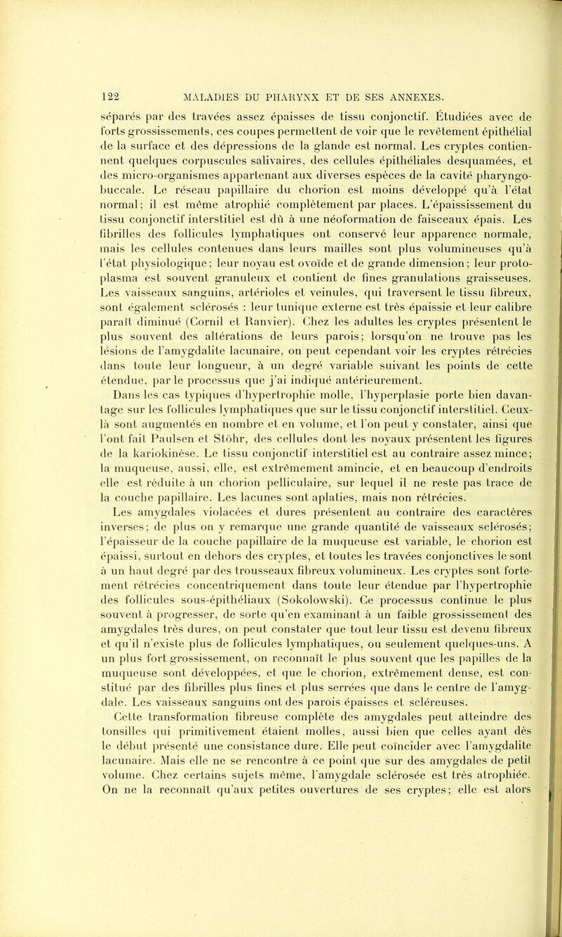 séparés par des travées assez épaisses de tissu conjonctif. Étudiées avec de forts grossissements, ces coupes permettent de voir que le revêtement épithélial de la surface et des dépressions de la glande est normal. Les cryptes contien- nent quelques corpuscules salivaires, des cellules épithéliales desquamées, et des micro-organismes appartenant aux diverses espèces de la cavité pharyngo- buccale. Le réseau papillaire du chorion est moins développé qu’à l’état normal; il est même atrophié complètement par places. L’épaississement du tissu conjonctif interstitiel est dû à une néoformation de faisceaux épais. Les fibrilles des follicules lymphatiques ont conservé leur apparence normale, mais les cellules contenues dans leurs mailles sont plus volumineuses qu’à l’état physiologique ; leur noyau est ovoïde et de grande dimension ; leur proto- plasma est souvent granuleux et contient de fines granulations graisseuses. Les vaisseaux sanguins, artérioles et veinules, qui traversent le tissu fibreux, sont également sclérosés : leur tunique externe est très épaissie et leur calibre paraît diminué (Cornil et Ranvier). Chez les adultes les cryptes présentent le plus souvent des altérations de leurs parois; lorsqu’on ne trouve pas les lésions de l’amygdalite lacunaire, on peut cependant voir les cryptes rétrécies dans toute leur longueur, à un degré variable suivant les points de cette étendue, par le processus que j’ai indiqué antérieurement. Dans les cas typiques d’hypertrophie molle, l’hyperplasie porte bien davan- tage sur les follicules lymphatiques que sur le tissu conjonctif interstitiel. Ceux- là sont augmentés en nombre et en volume, et l’on peut y constater, ainsi que l’ont fait Paulsen et Stôhr, des cellules dont les noyaux présentent les figures de la kariokinèse. Le tissu conjonctif interstitiel est au contraire assez mince; la muqueuse, aussi, elle, est extrêmement amincie, et en beaucoup d’endroits elle est réduite à un chorion pelliculaire, sur lequel il ne reste pas trace de la couche papillaire. Les lacunes sont aplaties, mais non rétrécies. Les amygdales violacées et dures présentent au contraire des caractères inverses; de plus on y remarque une grande quantité de vaisseaux sclérosés; l’épaisseur de la couche papillaire de la muqueuse est variable, le chorion est épaissi, surtout en dehors des cryptes, et toutes les travées conjonctives le sont à un haut degré par des trousseaux fibreux volumineux. Les cryptes sont forte- ment rétrécies concentriquement dans toute leur étendue par l’hypertrophie des follicules sous-épithéliaux (Sokolowski). Ce processus continue le plus souvent à progresser, de sorte qu’en examinant à un faible grossissement des amygdales très dures, on peut constater que tout leur tissu est devenu fibreux et qu’il n’existe plus de follicules lymphatiques, ou seulement quelques-uns. A un plus fort grossissement, on reconnaît le plus souvent que les papilles de la muqueuse sont développées, et que le chorion, extrêmement dense, est con- stitué par des fibrilles plus fines et plus serrées que dans le centre de l’amyg- dale. Les vaisseaux sanguins ont des parois épaisses et scléreuses. Cette transformation fibreuse complète des amygdales peut atteindre des lonsilles qui primitivement étaient molles, aussi bien que celles ayant dès le début présenté une consistance dure. Elle peut coïncider avec l’amygdalite lacunaire. Mais elle ne se rencontre à ce point que sur des amygdales de petit volume. Chez certains sujets même, l’amygdale sclérosée est très atrophiée. On ne la reconnaît qu’aux petites ouvertures de ses cryptes; elle est alors