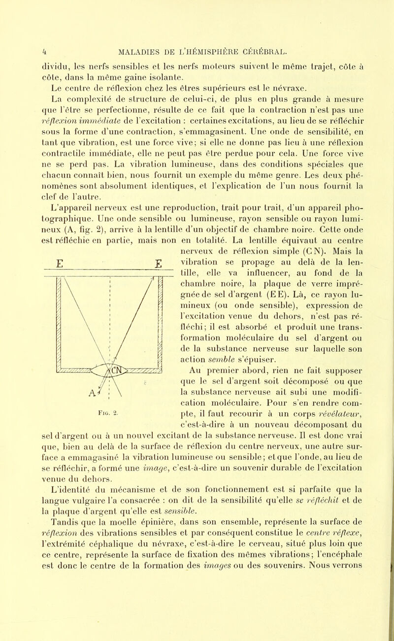 dividu, les nerfs sensibles et les nerfs moteurs suivent le même trajet, côte à côte, dans la même gaine isolante. Le centre de réflexion chez les êtres supérieurs est le névraxe. La complexité de structure de celui-ci, de plus en plus grande à mesure que l’être se perfectionne, résulte de ce fait que la contraction n’est pas une réflexion immédiate de l’excitation : certaines excitations, au lieu de se réfléchir sous la forme d'une contraction, s’emmagasinent. Une onde de sensibilité, en tant que vibration, est une force vive; si elle ne donne pas lieu à une réflexion contractile immédiate, elle ne peut pas être perdue pour cela. Une force vive ne se perd pas. La vibration lumineuse, dans des conditions spéciales que chacun connaît bien, nous fournit un exemple du même genre. Les deux phé- nomènes sont absolument identiques, et l’explication de l’un nous fournit la clef de l’autre. L’appareil nerveux est une reproduction, trait pour trait, d’un appareil pho- tographique. Une onde sensible ou lumineuse, rayon sensible ou rayon lumi- neux (A, fig. 2), arrive à la lentille d’un objectif de chambre noire. Cette onde est réfléchie en partie, mais non en totalité. La lentille équivaut au centre nerveux de réflexion simple (CN). Mais la £ £ vibration se propage au delà de la len- tille, elle va influencer, au fond de la chambre noire, la plaque de verre impré- gnée de sel d’argent (EE). Là, ce rayon lu- mineux (ou onde sensible), expression de l’excitation venue du dehors, n’est pas ré- fléchi; il est absorbé et produit une trans- formation moléculaire du sel d’argent ou de la substance nerveuse sur laquelle son action semble s’épuiser. Au premier abord, rien ne fait supposer que le sel d’argent soit décomposé ou que la substance nerveuse ait subi une modifi- cation moléculaire. Pour s’en rendre com- pte, il faut recourir à un corps révélateur, c’est-à-dire à un nouveau décomposant du sel d’argent ou à un nouvel excitant de la substance nerveuse. Il est donc vrai que, bien au delà de la surface de réflexion du centre nerveux, une autre sur- face a emmagasiné la vibration lumineuse ou sensible; et que Fonde, au lieu de se réfléchir, a formé une image, c’est-à-dire un souvenir durable de l’excitation venue du dehors. L’identité du mécanisme et de son fonctionnement est si parfaite que la langue vulgaire l’a consacrée : on dit de la sensibilité qu’elle se réfléchit et de la plaque d’argent qu’elle est sensible. Tandis que la moelle épinière, dans son ensemble, représente la surface de réflexion des vibrations sensibles et par conséquent constitue le centre réflexe, l’extrémité céphalique du névraxe, c’est-à-dire le cerveau, situé plus loin que ce centre, représente la surface de fixation des mêmes vibrations; l’encéphale est donc le centre de la formation des images ou des souvenirs. Nous verrons