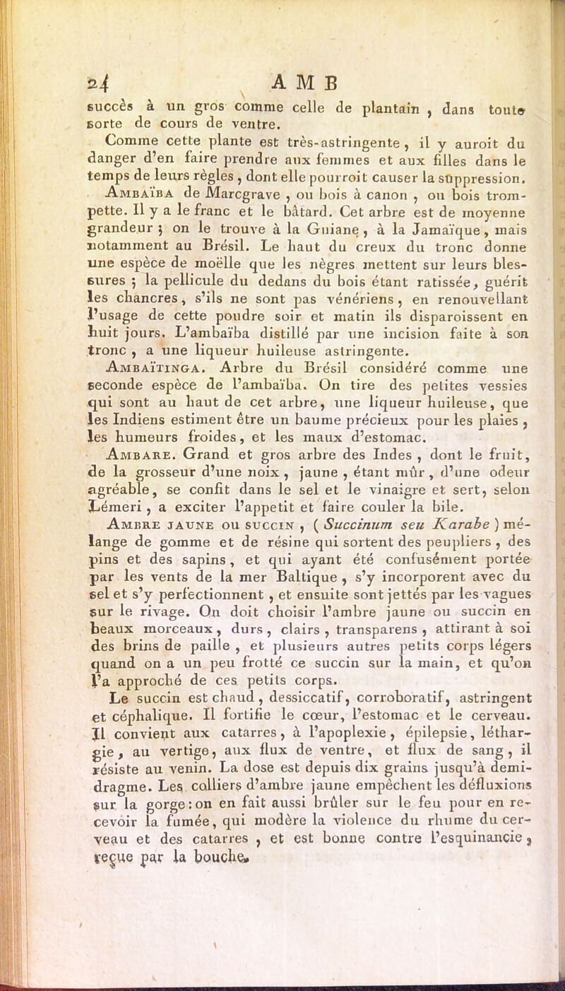 succès à un gros comme celle de plantain , dans tout® sorte de cours de ventre. Comme cette plante est très-astringente, il y auroit du danger d’en faire prendre aux femmes et aux filles dans le temps de leurs règles , dont elle pourrait causer la suppression. Ambai’ba de Marcgrave , ou bois à canon , ou bois trom- pette. Il y a le franc et le bâtard. Cet arbre est de moyenne grandeur } on le trouve à la Guiane , à la Jamaïque, mais notamment au Brésil. Le haut du creux du tronc donne une espèce de moelle que les nègres mettent sur leurs bles- sures 5 la pellicule du dedans du bois étant ratissée, guérit les chancres, s’ils ne sont pas vénériens, en renouvellant l’usage de cette poudre soir et matin ils disparoissent en huit jours. L’ambaïba distillé par une incision faite à son tronc , a une liqueur huileuse astringente. Ambaïtinga. Arbre du Brésil considéré comme une seconde espèce de l’ambaïba. On tire des petites vessies qui sont au haut de cet arbre, une liqueur huileuse, que les Indiens estiment être un baume précieux pour les plaies , les humeurs froides, et les maux d’estomac. Ambake. Grand et gros arbre des Indes , dont le fruit, de la grosseur d’une noix , jaune , étant mûr, d’une odeur agréable, se confit dans le sel et le vinaigre et sert, selon Lémeri, a exciter l’appetit et faire couler la bile. Ambre jaune ou succin , ( Succinum seu Karabe ) mé- lange de gomme et de résine qui sortent des peupliers , des pins et des sapins, et qui ayant été confusément portée par les vents de la mer Baltique , s’y incorporent avec du sel et s’y perfectionnent , et ensuite sont jettes par les vagues sur le rivage. On doit choisir l’ambre jaune ou succin en beaux morceaux, durs, clairs, transparens , attirant à soi des brins de paille , et plusieurs autres petits corps légers quand on a un peu frotté ce succin sur la main, et qu’on l’a approché de ces petits corps. Le succin est chaud, dessiccatif, corroboratif, astringent et céphalique. Il fortifie le cœur, l’estomac et le cerveau. Il convieut aux catarres, à l’apoplexie, épilepsie, léthar- gie, au vertige, aux ilux de ventre, et flux de sang, il résiste au venin. La dose est depuis dix grains jusqu’à demi- dragme. Les colliers d’ambre jaune empêchent les défluxions Sur la gorge:on en fait aussi brûler sur le feu pour en re- cevoir la fumée, qui modère la violence du rhume du cer- veau et des catarres , et est bonne contre l’esquinancie 3 reçue par la bouche. \