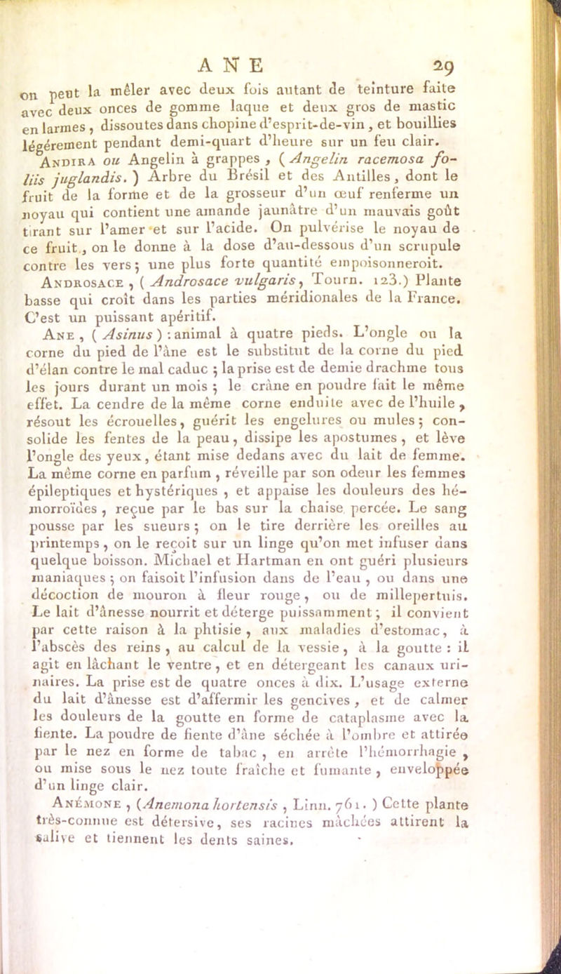 on peut la mêler avec deux fuis autant de teinture faite avec deux onces de gomme laque et deux gros de mastic en larmes , dissoutes dans chopine d’esprit-de-vin, et bouillies légèrement pendant demi-quart d’heure sur un feu clair. Andira ou Angelin à grappes, (Angelin racemosa fo~ liis juglandis. ) Arbre du Brésil et des Antilles, dont le fruit de la forme et de la grosseur d’un œuf renferme un noyau qui contient une amande jaunâtre d’un mauvais goût tirant sur l’amer et sur l’acide. On pulvérise le noyau de ce fruit., on le donne à la dose d’au-dessous d’un scrupule contre les vers; une plus forte quantité einpoisonneroit. Androsace , ( Androsace vulgaris, Tourn. ia3.) Plante basse qui croît dans les parties méridionales de la France. C’est un puissant apéritif. Ane, ( Asinus ): animal à quatre pieds. L’ongle ou la corne du pied de l’âne est le substitut de la corne du pied d’élan contre le mal caduc ; la prise est de demie drachme tous les jours durant un mois ; le crâne en poudre lait le même effet. La cendre de la même corne enduite avec de l’huile , résout les écrouelles, guérit les engelures ou mules; con- solide les fentes de la peau, dissipe les apostumes , et lève l’ongle des yeux, étant mise dedans avec du lait de femme. La même corne en parfum , réveille par son odeur les femmes épileptiques et hystériques , et appaise les douleurs des hé- morroïdes , reçue par le bas sur la chaise percée. Le sang pousse par les sueurs ; on le tire derrière les oreilles au printemps, on le reçoit sur un linge qu’on met infuser dans quelque boisson. Michael et Hartman en ont guéri plusieurs maniaques; on faisoit l’infusion dans de l’eau , ou dans une décoction de mouron à fleur rouge, ou de millepertuis. Le lait d’ânesse nourrit etdéterge puissamment; il convient par cette raison à la phtisie, aux maladies d’estomac, à l’abscès des reins , au calcul de la vessie, à la goutte : il agit en lâchant le Ventre, et en détergeant les canaux uri- naires. La prise est de quatre onces à dix. L’usage externe du lait d’ânesse est d’affermir les gencives , et de calmer les douleurs de la goutte en forme de cataplasme avec la fiente. La poudre de fiente d’âne séchée à L’ombre et attiré© par le nez en forme de tabac , en arrête l’hémorrhagie , ou mise sous le nez toute fraîche et fumante , enveloppée d’un linge clair. Anûmone , (Anemona hortensis , Linn. 761. ) Cette plante très-connue est détersive, ses racines mâchées attirent la salive et tiennent les dents saines.