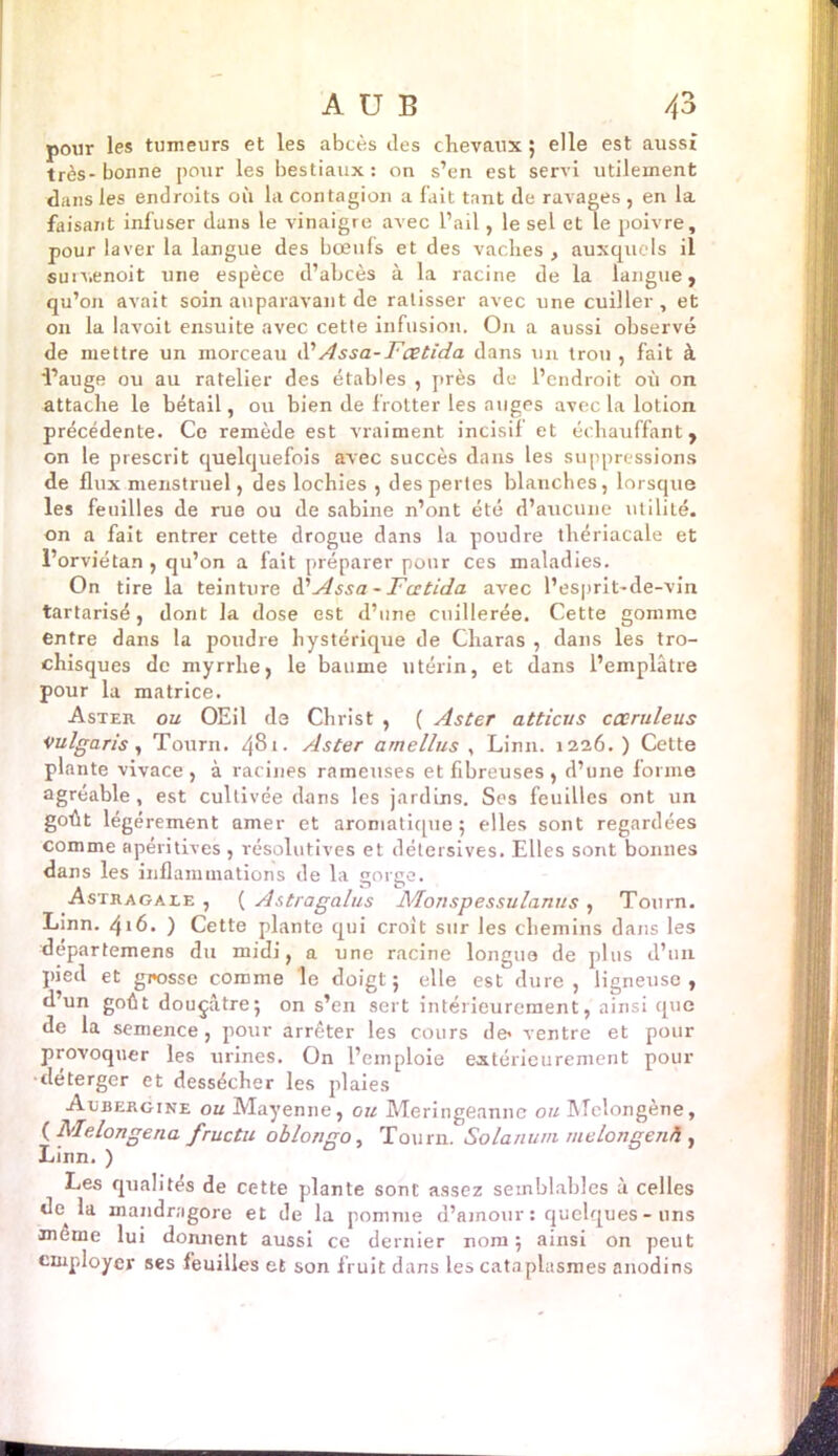 pour les tumeurs et les abcès îles chevaux ; elle est aussi très- bonne pour les bestiaux : on s’en est servi utilement dans les endroits où la contagion a fait tant de ravages , en la faisant infuser clans le vinaigre avec l’ail, le sel et le poivre, pour laver la langue des bœufs et des vaches , auxquels il sunienoit une espèce d’abcès à la racine de la langue, qu’on avait soin auparavant de ratisser avec une cuiller, et on la lavoit ensuite avec cette infusion. On a aussi observé de mettre un morceau à' Assa-Fcetida dans un trou , fait à 'l’auge ou au râtelier des étables , près de l’endroit où on attache le bétail, ou bien de frotter les auges avec la lotion précédente. Ce remède est vraiment incisif et échauffant, on le prescrit quelquefois avec succès dans les suppressions de flux menstruel, des lochies , des pertes blanches, lorsque les feuilles de rue ou de Sabine n’ont été d’aucune utilité, on a fait entrer cette drogue dans la poudre thériacale et l’orviétan , qu’on a fait préparer pour ces maladies. On tire la teinture d'Assa - Fcetida avec l’esprit-de-vin tartarisé, dont la dose est d’une cuillerée. Cette gomme entre dans la poudre hystérique de Cliaras , dans les tro- chisques de myrrhe, le baume utérin, et dans l’emplâtre pour la matrice. Aster ou OEil de Christ , ( Aster atticus caruleus Vulgaris , Tourn. 481- Aster arnellus , Linn. 1226. ) Cette plante vivace , à racines rameuses et fibreuses , d’une forme agréable, est cultivée dans les jardins. Ses feuilles ont un goût légèrement amer et aromatique ; elles sont regardées comme apéritives , résolutives et détersives. Elles sont bonnes dans les inflammations de la gorge. Astragale , ( Astragalus Monspessulanus , Tourn. Linn. 416. ) Cette plante qui croit sur les chemins dans les départemens du midi, a une racine longue de plus d’un pied et grosse comme le doigt; elle est dure, ligneuse, d’un goût douçâtre; on s’en sert intérieurement, ainsi que de la semence, pour arrêter les cours de* ventre et pour provoquer les urines. On l’emploie extérieurement pour •déterger et dessécher les plaies Aubergine ou Mayenne, ou Meringeannc ou Melongène, {Melongêna fructu oblongo, Tourn. Solanum melongenà, Linn. ) Les qualités de cette plante sont assez semblables à celles de la mandragore et de la pomme d’amour : quelques - uns meme lui donnent aussi ce dernier nom ; ainsi on peut employer ses feuilles et son fruit dans les cataplasmes anodins