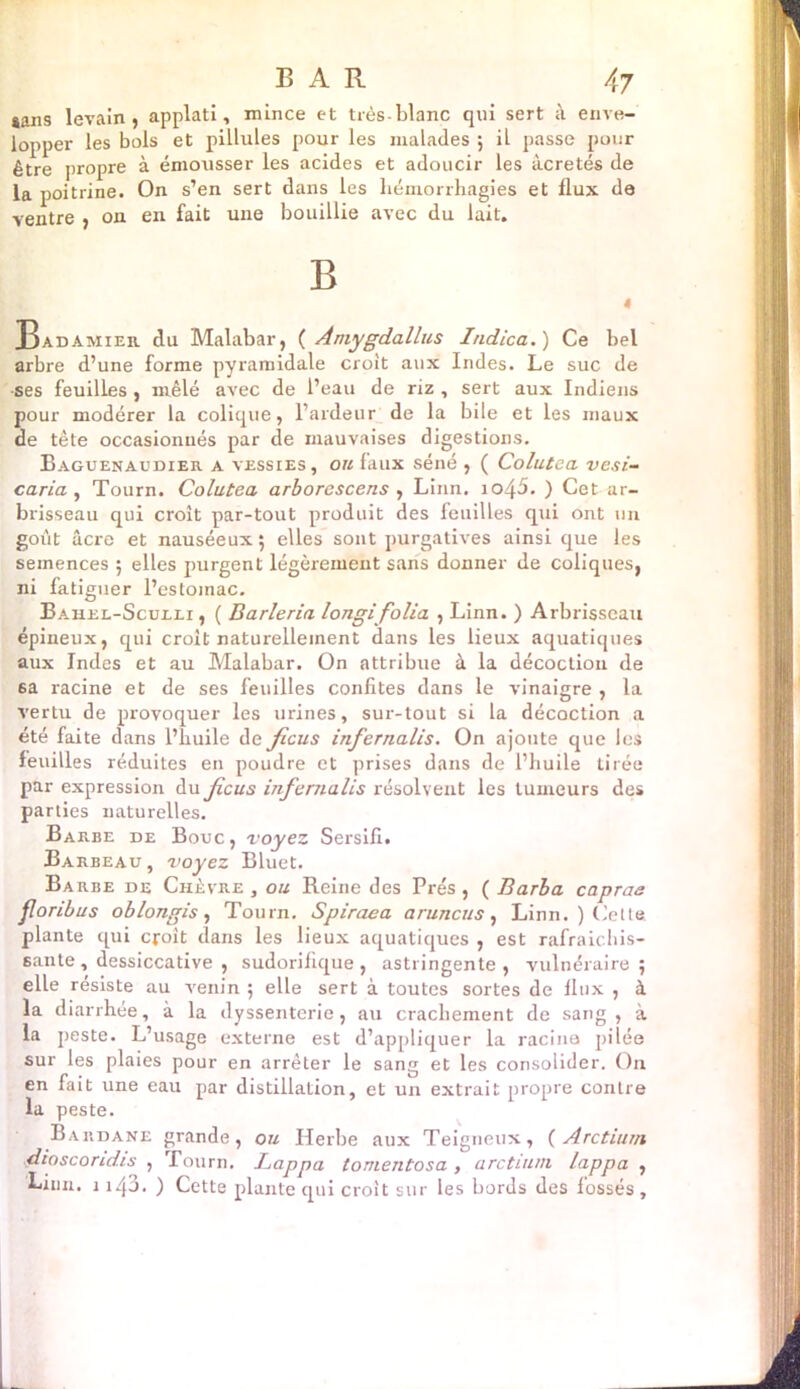sans levain, applati, mince et très-blanc qui sert à enve- lopper les bols et pillules pour les malades ; il passe pour être propre à émousser les acides et adoucir les àcretés de la poitrine. On s’en sert dans les hémorrhagies et flux de ventre , on en fait une bouillie avec du lait. B 4 Badamier du Malabar, ( Amygdalites Indica.) Ce bel arbre d’une forme pyramidale croit aux Indes. Le suc de -ses feuilles , mêlé avec de l’eau de riz , sert aux Indiens pour modérer la colique, l’ardeur de la bile et les maux de tête occasionnés par de mauvaises digestions. Baguenaudier a vessies, ou faux séné , ( Colutea vesi- caria , Tourn. Colutea arborescens , Linn. io45. ) Cet ar- brisseau qui croît par-tout produit des feuilles qui ont un goût âcre et nauséeux; elles sont purgatives ainsi que les semences ; elles purgent légèrement sans donner de coliques, ni fatiguer l’estomac. Bahel-Sculli , ( Barleria longifolia , Linn. ) Arbrisseau épineux, qui croit naturellement dans les lieux aquatiques aux Indes et au Malabar. On attribue à la décoction de 6a racine et de ses feuilles confites dans le vinaigre , la vertu de provoquer les urines, sur-tout si la décoction a été faite dans l’huile de ficus infernalis. On ajoute que les feuilles réduites en poudre et prises dans de l’huile tirée par expression du ficus infernalis résolvent les tumeurs des parties naturelles. Barbe de Bouc, voyez Sersifi. Barbeau, voyez Bluet. Barbe de Chèvre, ou Reine des Prés, (Barba caprae jlonbus oblongis, Tourn. Spiraea aruncus, Linn. ) Celte, plante qui croit dans les lieux aquatiques , est rafraîchis- sante, dessiccative , sudorifique, astringente, vulnéraire; elle résisté au venin ; elle sert à toutes sortes de flux , à la diarrhée, à la dyssenterie, au crachement de sang, à la peste. L’usage externe est d’appliquer la racine pilée sur les plaies pour en arrêter le sang et les consolider. On en fait une eau par distillation, et un extrait propre contre la peste. Bardane grande, ou Herbe aux Teigneux, ( Arctium dioscondis , Pourn, Lappa tonientosa , arctium lappa , Linn. 1143. ) Cette plante qui croit sur les bords des fossés ,