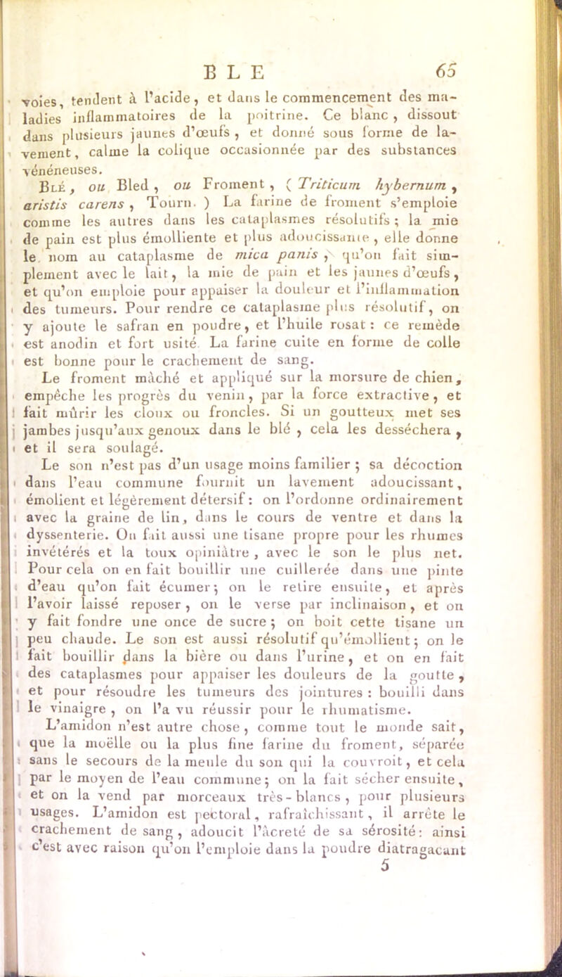 voies, tendent à l’acide, et dans le commencement des ma- ladies inflammatoires de la poitrine. Ce blanc, dissout dans plusieurs jaunes d’œufs , et donné sous forme de la- vement , calme la colique occasionnée par des substances vénéneuses. Blé, ou Bled, ou Froment, ( Triticum hybernum , aristis carens , Tourn. ) La farine de froment s’emploie comme les autres dans les cataplasmes résolutifs ; la mie de pain est plus émolliente et plus adoucissante , elle donne le nom au cataplasme de mica partis p qu’on fait sim- plement avec le lait, la mie de pain et les jaunes d’œufs, et qu’on emploie pour appaiser la douleur et l’inflammation des tumeurs. Pour rendre ce cataplasme plus résolutif, on y ajoute le safran en poudre, et l’huile rusât: ce remède est anodin et fort usité La farine cuite en forme de colle est bonne pour le crachement de sang. Le froment mâché et appliqué sur la morsure de chien, empêche les progrès du venin, par la force extractive, et 1 fait mûrir les doux ou frondes. Si un goutteux met ses j jambes jusqu’aux genoux dans le blé , cela les desséchera , i et il sera soulagé. Le son n’est pas d’un usage moins familier 5 sa décoction 1 dans l’eau commune fournit un lavement adoucissant, émolient et légèrement détersif : on l’ordonne ordinairement 1 avec la graine de lin, dans le cours de ventre et dans la < dyssenterie. On f.iit aussi une tisane propre pour les rhumes invétérés et la toux opiniâtre, avec le son le plus net. Pour cela on en fait bouillir une cuillerée dans une pinte 1 d’eau qu’on fait écumer; on le retire ensuite, et après l’avoir laissé reposer, on le verse par inclinaison, et on y fait fondre une once de sucre; on boit cette tisane un peu chaude. Le son est aussi résolutif qu’émollient ; on le t fait bouillir flans la bière ou dans l’urine, et on en fait des cataplasmes pour appaiser les douleurs de la goutte , 1 et pour résoudre les tumeurs des jointures : bouilli dans le vinaigre , on l’a vu réussir pour le rhumatisme. L’amidon n’est autre chose, comme tout le monde sait, t que la moelle ou la plus fine farine du froment, séparée s sans le secours de la meule du son qui la couvroit, et cela par le moyen de l’eau commune; on la fait sécher ensuite, et on la vend par morceaux très-blancs, pour plusieurs usages. L’amidon est pectoral, rafraîchissant, il arrête le crachement de sang , adoucit l’âcre té de sa sérosité: ainsi c’est avec raison qu’on l’emploie dans la poudre diatragacant 5