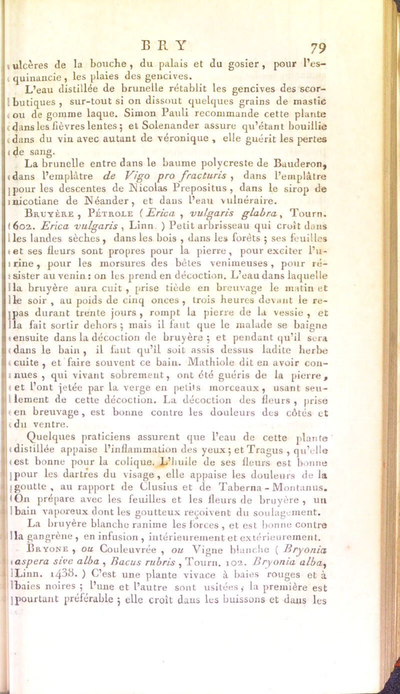 » ulcères de la bouche , du palais et du gosier , pour l’es- i quinancie , les plaies des gencives. L’eau distillée de brunelle rétablit les gencives des scor- Ibutiques, sur-tout si on dissout quelques grains de mastic ou de gomme laque. Simon Pauli recommande cette plante i dans les lièvres lentes 5 et Solenander assure qu’étant bouillie 1 dans du vin avec autant de véronique , elle guérit les pertes < de sang. La brunelle entre dans le baume polycreste de Bauderon, lidans l’emplâtre de Vigo pro fracturis , dans l’emplâtre n pour les descentes de Nicolas Prepositus , dans le sirop de inicotiane de Néander, et daus l’eau vulnéraire. Bruyère, Pétrole ( Erica , vu/garis glabra, Tourn. (602. Erica vulgaris , Linn. ) Petit arbrisseau qui croît dans lies landes sèches, dans les bois , dans les forets ; ses feuilles *et ses fleurs sont propres pour la pierre, pour exciter l’u- 11 rine, pour les morsures des bêtes venimeuses, pour ré- s sister au venin : on les prend en décoction. L’eau dans laquelle ■ lia bruyère aura cuit , [irise tiède en breuvage le matin et 11 le soir , au poids de cinq onces , trois heures devant le re- Ijpas durant trente jours, rompt la pierre de la vessie, et il la fait sortir dehors; mais il faut que le malade se baigne ensuite dans la décoction de bruyère; et pendant qu’il sera |<dans le bain, il faut qu’il soit assis dessus ladite herbe ïi cuite, et faire souvent ce bain. Mathiole dit en avoir con- tinues , qui vivant sobrement, ont été guéris de la pierre, | 1 et l’ont jetée par la verge en petits morceaux, usant seu- I 1 lement de cette décoction. La décoction des fleurs , prise lien breuvage, est bonne contre les douleurs des côtés et le du ventre. Quelques praticiens assurent que l’eau de cette plante l|(distillée appaise l’inflammation des yeux; etTragus , qu’elle juest bonne pour la colique. L’huile de ses fleurs est bonne t]]pour les dartres du visage, elle appaise les douleurs de la jljgoutle, au rapport de Clusius et de Taberna - Montanus. fl (On prépare avec les feuilles et les fleurs de bruyère, un I l bain vaporeux dont les goutteux reçoivent du soulagement. La bruyère blanche ranime les forces , et est bonne contre lia gangrène, en infusion , intérieurement et extérieurement. Bryone , ou Couleuvrée , ou Vigne blanche ( Bryonia taspera sive alba , Bacus rubris , Tourn. 102. Bryonia alba, iLinn. i438. ) C’est une plante vivace à baies rouges et à Ibaies noires ; l’une et l’autre sont usitées,- la première est ]pourtant préférable ; elle croit dans les buissons et dans les -