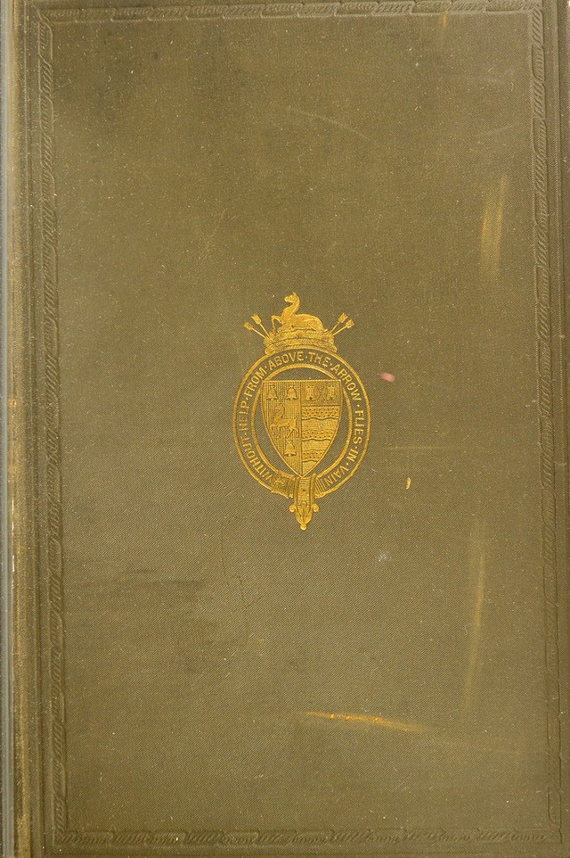 No text description is available for this image