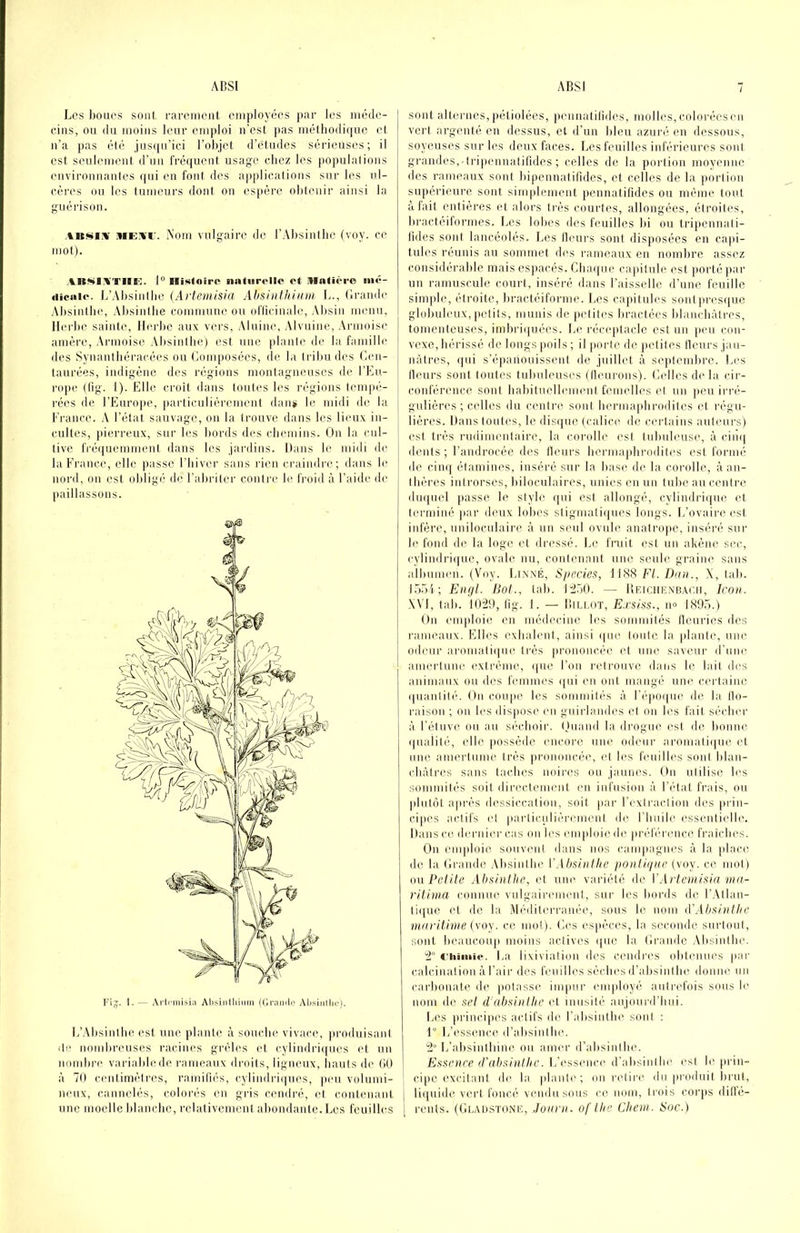 Les i)oiics sont l•al•CIncnt cni})loyées jiar les niéde- fiiis, ou (lu moins leur emploi n’est pas m(!‘lho(li(iue et n’a j>as ét(^ jus([u’ici l’objet d’êtmles S(!‘i'ieùS((s ; il est seulement d’un fré(iuent nsag-e chez les populalions environnantes ([ui en font des applications sur les ul- cères ou les tumeurs dont on espère obtenir ainsi la guérison. ME.ifr. Aom vulgaire de l’Absinlbe (voy. ce mot). AIt«i:iTllK. 1“ Histoire naturelle et i»Intii‘ro mé- dicale. L’AbsinlIie (Artemisia Ahsiuthiinn f.., (iramle Absinllu', Absinibe commune ou oflicinale, Alisin menu, Herbe sainte, Ilerl)e aux vers, AInine, .Mvuine, Armoise amère, ,\rmoise .U)sinlh(() est une piaule de la famille des Synanlbèracées ou Composées, de la tribu des Cen- taurées, indigène des régions montagneuses de l’Eu- rope (lig. I). Elle croît dans toules les l'égions tempé- rées de CEurojie, particulièrement dan»i le midi de la France. ,V l’état sauvage, on la iroiive dans les lieux in- cultes, |iierreux, sur les bords des cbemins. On la cul- tive fré(|uemment dans les jardins. Hans le midi de la France, elle passe l’biver sans rien craindre; dans le nord, on est oldiga) de l’abriter contre le froid à l’aide de paillassons. L’.'Misinlbe est une plante à souclie vivace, produisant di' nombreuses racines grêles (A cylindimpies et un nominal variable de rameaux diadts, ligneux, liants de tiU à 70 centimètres, rnmifn's, cylindri(|iies, peu vidnmi- nenx, cannelés, colorés en gris cendré, et contenant sont alternes,})étiolées, iiennatilides, molles,colorécsen vert argenté en dessus, et d’un bleu azuré eu dessous, soyeuses sur les deux faces. Les feuilles inférieures sont grandes,•1ri|)enna(ifides ; celles de la portion moyenne des rameaux sont bipenualifides, et celles de la portion supérieure sont simplement pennatifides ou même tout à fait entières et alors tia'is courtes, allongées, étroites, bractéilormes. T.es lobes des feuilles lii ou tripennati- lides sont lancéolés. Les Heurs sont disposées eu capi- tules T'énnis au sommet des rameaux en nombre assez considérable mais espacés. Cluujue capitule est jiorté par un ramuscule court, inséré dans Faisselle d’une feuille simple, étroite, bractéiforme. Les capitules sontpresi|ue glolmleux, petits, munis de petites bractées blancbàtres, tomenteuses, imbriiiuées. Le réce})tacle est un jieu con- vexe, hérissé de longs poils; il porte de petites ilcurs jau- nâtres, (|ui s’épanouissent de juillet à septembre. Les Heurs sont toutes tubuleuses (Heui’ons). Celles de la cir- conférence sont babituellement femelles et un peu iri’é- gulières ; celles du centre sont liermapbrodites et régu- lières. Dans toules, le dis([iie (calice de certains aulmirs) est très rudimentaire, la corolle est tubuleuse, à cim| dents ; l’androcée des Heurs bermapbrodiles est formé de c.ini[ étamines, inséré sur la base de la corolle, à an- Ibères inirorses, biloculaires, unies en un tube au centre du([uel passe le style (pii est allongé, cylindri([ii(? et terminé jtar deux lobes stigmati(pies longs. L’ovaire est infère, uniloculaire à un seul ovule anatrope, inséré sur b' fond de la loge et dn'ssé. Le fruit est un akène sec, cylindimpie, ovale nu, contenant une seule graine sans albumen. (Voy. Linné, Siiecies, 1188 Fl. Drin., X, lali. I.-Mi; Enrjl. Bol., lab. 1“2Ô0. — Ueichenb.vc.ii, Icoii. XVI, tab. 1020, lig. 1. — lliu.OT, Exsiss., no LSO,).) On emploie en médecine b's sommités Houries des rameaux. Elles exbaleni, ainsi (pie toiilc la planli', une odeur aromatiipie très pi'ononcée et iim' saveur d’une amertune extrême, ijiie l’on retrouve dans le lait des animaux ou des femnu’s ipii en ont mangé une cei-lainc (piantil(‘. On coupe les sommiti's à l’époipie de la llo- raisoii ; on les dispose en guirlandes et on les fait sécber à l’étuve ou au S('“cboir. (juaml la drogue est de bonne (pialilé, elle possède encore une odeur aromatiipie et une amertume très prononcée, et les feuilles sont blan- cbàlres sans taches mdi'es ou jaunes. On utilise les sommités soit directement en infusion à l’état frais, ou plutôt après dessiccation, soit par l’exlraclion des prin- cipes actifs et paidiculièi'emenl de l’buile essentielle. Dans ce dernier cas on bis emploie de préb'rencc fraiebes. On emploie souvent dans nos caiu}iagnes à la place de la (li'ande .\bsinllie VAbsinihe poniiiiitr (voy. ce mol) (mPcille Ali.'sinllie, et une variété de VArfemisia ma- riiima connue vnlgairenumt, sui’ les bords de l’.Vtlan- tiipie et de la Méditerranée, sous le nom d'Absinthe nuirithue {voy. ce mot). Les espèces, la seconde surtout, sont beaucou|i moins actives ipie la llraudc .Vbsintbe. 2° «'hiiiiie. La lixiviation des cendi’es oblmiues par calcination à l’air des feiiilb's séidu's d’absintbe donne un carbonate de jiotasse impur (miployé autrefois sous le nom de sel d'absinlkc et inusité aiijoui-d’liui. Les principes actifs de r.ibsinibe sont : 1° L’essence d’absinllKi. 2 L’absintliine ou amer d’absinlbe. Essence (Vabsinlhc. L’essence d’absintbe est b' prin- ! cipc excitant, de la piaule; ou ri'tii’e du produit l.irut, j li([uide vert foncé vendu sous ce nom, trois corps dillé-