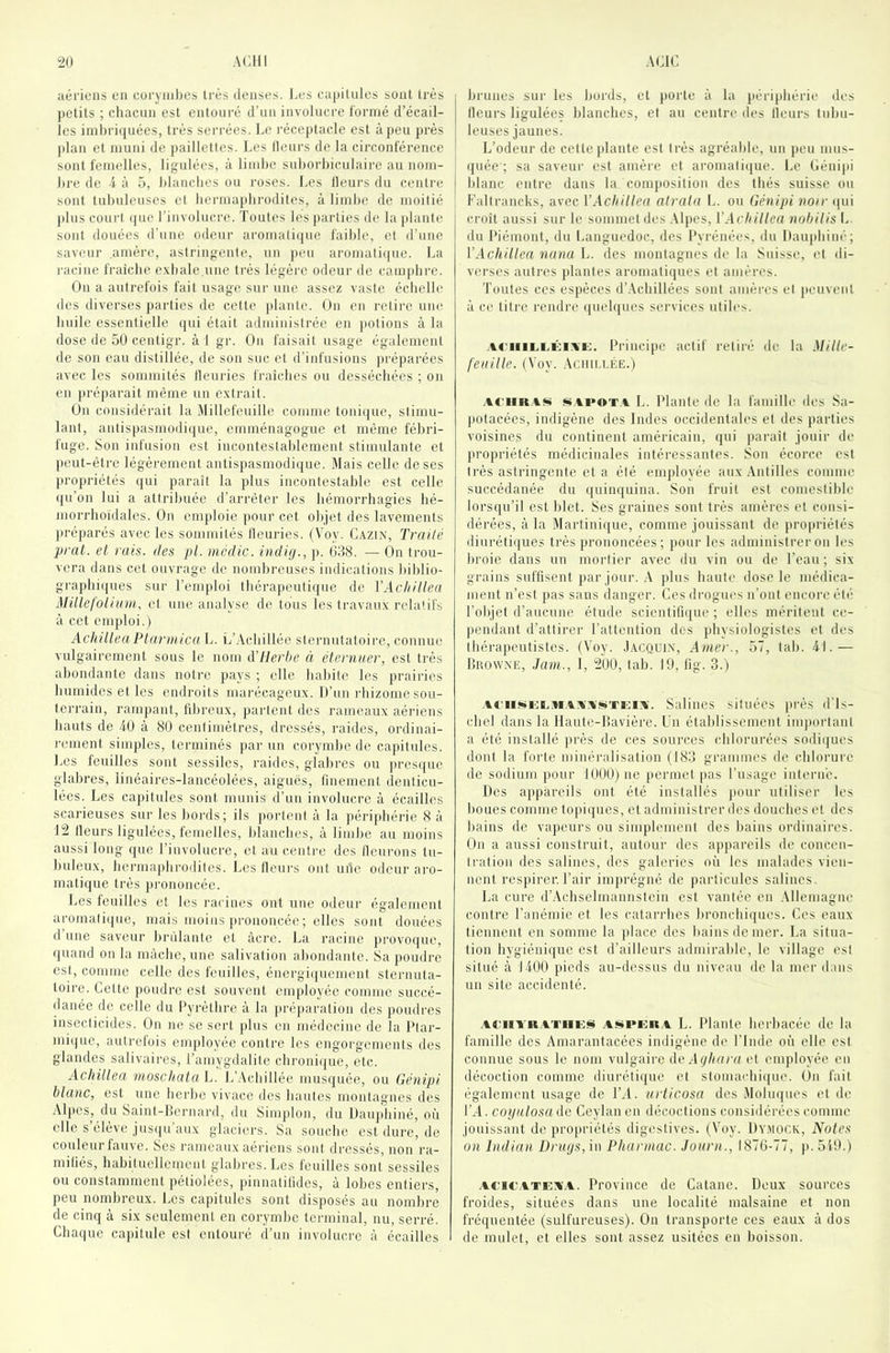 ‘20 ACIll A CIC aériens en coryinbes ti'ès denses. J.es eapilnlcs sont très petits ; chacun est entouré d’un involucre formé d’écail- Ics iinl)ri(juées, très serrées. Le réceptacle est à peu près jdan et muni de paillettes. Les Heurs de la circonférence sont femelles, ligulées, à limbe suhoi'biculaire au nom- bre de 4 à 5, blanches ou l'oses. Les Heurs du centre sont tubuleuses et bermapbi'odites, à limbe de moilié plus court ([ue l’involucre. Toutes lés parties de la plante sont douées d'une odeur ai‘omali<|ue faible, et d’une sav(,‘ur amère, astringente, un peu aromati((ue. La racine fraîche e.vbale.nne très légère odeur de camphre. On a autrefois fait usage sui- une assez vaste échelle des diverses parties de cette plante. On en retire uiu^ huile essentielle cpii était administrée en j)otions à la dose de 50 centigr. à 1 gr. On faisait usage également de son eau distillée, de son suc et d’infusions préparées avec les sommités Heuries fraîches ou desséchées ; on en pré|)arait même un e.xtrait. On considérait la Millefeuille comme toni({ue, stimu- lant, antis|)asniodi(|ue, emménagogue et même fébri- fuge. Son infusion est incontestablement stimulante et peut-être légèrement antispasmodique. Mais celle de ses j)ropriétés qui paraît la plus incontestable est celle ({ii’on lui a attribuée d’arrêter les hémorrhagies bé- morrboïdales. On emploie pour cet objet des lavements ]u-éparés avec les sommités Heuries. (Voy. CAZtN, Trailé prat. et rais, des pl. médic. indig., p. 038. — On trou- vera dans cet ouvrage de nombreuses indications biblio- grapbi([ues sur l’emploi thérapeutique de VAcliillea Millefolium, et une analyse de tous les travaux relatifs à cet emploi.) Achillea Ptarmica L. L’.Vcbillée sternutatoirc, connue vulgairement sous le nom d’Herhe à éternuer, est très abondante dans notre pays ; elle habite les prairies bumides et les endroits marécageux. D’un rbizome sou- terrain, rampant, fibreux, partent des rameaux aériens hauts de 40 à 80 centimètres, dressés, l'aides, ordinai- l'cment simples, terminés par un eorymbe de capitules. Les feuilles sont sessiles, raides, glabres ou pres([ue glabres, linéaires-lancéolées, aiguës, tinement denticu- lées. Les capitules sont munis d’un involucre à écailles scai’ieuses sur les bords; ils portent à la périphérie 8 à 12 Heurs ligulées, femelles, blanches, à limbe au moins aussi long que l’involucre, et au centi’c des lleurons tu- buleux, hermaphrodites. Los Heurs ont une odeur aro- matique très prononcée. Les feuilles et tes racines ont une odeur également aromati(jue, mais moins prononcée ; elles sont douées d une saveur brûlante et âcre. La racine })rovoque, quand on la mâche, une salivation abondante. Sa poudre est, comme celle des feuilles, énergiquement sternuta- loire. Cette poudre est souvent employée comme succé- danée de celle du Pyrètbre à la préparation des poudres insecticides. On ne se sert jdus on médecine de la Ptar- mi(|ue, autrefois enqiloyée contre les engorgements des glandes salivaires, l’amygdalite chi-onique, etc. Achiltea inoschata L. L’.Achillée musquée, ou Génipi btanc, est une berbe vivace des hantes montagnes des .\lpes, du Saint-liernard, du Simplon, du Dauphiné, où elle s élèvt; jus((u aux glaciers. Sa souche est dure, de couleur fauve. Ses rameaux aériens sont dressés, non ra- miliés, habituellement glabres. Les feuilles sont sessiles ou constamment pétiolécs, pinnatilides, à lobes entiers, peu nombreux. Les capitules sont disposés au nombre de cinq à six seulement en eorymbe terminal, nu, serré. Chaque capitule est entouré d’un involuci'c à écailles brunes sur les bords, cl })ortc à la périphérie des Heurs ligulées blanches, et an centre des Heurs tubu- leuses jaunes. L’odeur de cette plante est très agréable, un ])eu mus- quée ; sa saveur est amère et aromatique. Le Cénipi blanc entre dans la composition des thés suisse ou Faltrancks, avec VAchiltea airain L. on Génipi noir (jui ci'oît aussi sur le sommet des .Upes, \’Achillea nohilis L. du Piémont, du Languedoc, des Pyrénées, du Dauphiné; VAchiltea nana L. des montagnes de la Suisse, et di- verses autres plantes aromatiques et amères. Toutes ces espèces d’.\chillées sont amères et jieuvent à ce titi'C rendre ipielques services utiles. .\4'iiiLi.Éi:ii^. Principe actif retiré de la Milte- feuille. (Voy. Actiii.LÉE.) .iCiiRA!^ «üAi'OTA L. Plante de la famille des Sa- potacées, indigène des Indes occidentales et des parties voisines du continent américain, qui paraît jouir de propriétés médicinales intéressantes. Son écorce est très astringente et a été employée aux .Antilles comme succédanée du quinquina. Son fruit est comestible lorsqu’il est blet. Ses graines sont très amères et consi- dérées, à la Marlini([ue, comme jouissant de propriétés diurétii|ues très prononcées; pour les administrer on les broie dans un moi-lier avec du vin ou de l’eau ; six grains suffisent par jour. .V plus haute dose le médica- ment n’est pas sans danger. Ces drogues n’ont encore été l’objet d’aucune étude scientifique ; elles méritent ce- ])endant d’attii'cr l’attention des physiologistes et des thérapeutistes. (Voy. .I.ACQUiN, Amer., 57, tah. 41.— lîaowNE, .Jam., 1, “200, lab. 19, tig. 3.) .AciiMKi.M.AA'ASitTioiA. Saliucs siluécs près d’is- chel dans la llaute-liavière. Lu établissement im|)oi’tanl a été installé près de ces sources chlorurées sodiijues dont la forte minéralisation (183 grammes de chlorure de sodium jiour lüÜ0)ne permet pas l’usage intern’e. Des appareils ont été installés pour utiliser les l)Oues comme topi(|ues, et administrer des douches et des bains de vapeurs ou simplement des bains ordinaires. (!)n a aussi construit, autour des appareils de concen- tration des salines, des galeries où les malades vien- nent respirer, l’air imprégné de particules salines. La cure d’Achselmannstcin est vantée en .MIeniagne contre l’anémie et les catarrhes bronchi(]ues. Ces eaux tiennent en somme la place des bains de mer. La situa- tion hygiéni(|uc est d’ailleurs admirable, le village est situé à 1400 pieds au-dessus du niveau de la mei- dans un site accidenté. ACiiYR.AViiAtt^ .AütPi^R.A L. Plante herbacée de la famille des Amarantacées indigène de l’Inde où elle est connue sous le nom vulgaire de Aghara et employée en décoction comme diurétique et stoma(dii([ue. On fait également usage de l’.l. urlicosa des .Moluqiies et de l’.4. coijalosa do Ceylanen décoctions considérées comme jouissant de propriétés digestives. (Voy. Dymock, Notes on Indian üruijs, in Phannac. Journ., 1876-77, p. 519.) Aric.ATEA’.A. Province de Catane. Deux sources froides, situées dans une localité malsaine et non fréquentée (sulfureuses). On transporte ces eaux à dos de mulet, et elles sont assez usitées en boisson.