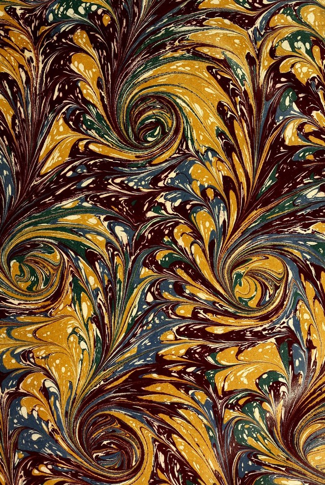 No text description is available for this image