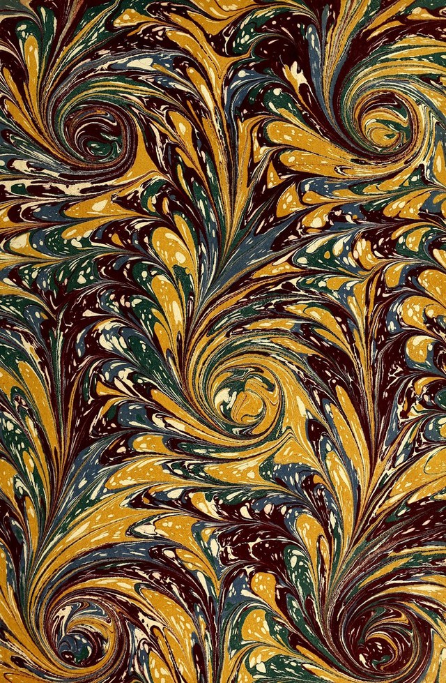 No text description is available for this image