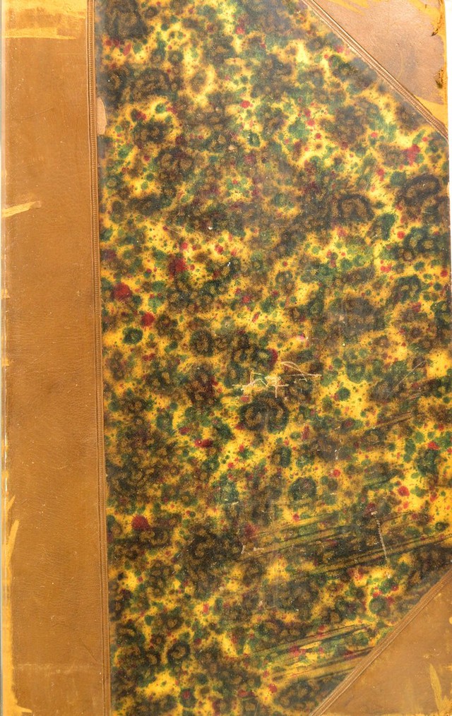 No text description is available for this image