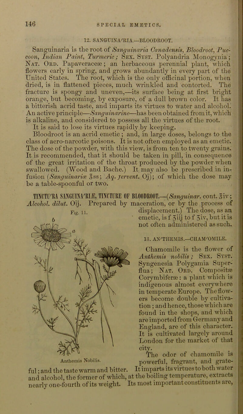 146 1 SPECIAL EMETICS. 12. SANGUlNAailA—BLOODROOT. Sanguinaria is tlie root of Sanguinaria Canadensis, Bloodroot, Puc- coon, Indian Paint, Turmeric; Sex. Syst. Polyandria Monogynia; Nat. Ord. Papaveracese; an herbaceous perennial plant, which flowers early in spring, and grows abundantly in every part of the United States. The root, which is the only ofllcinal portion, when dried, is in flattened pieces, much wrinkled and contorted. The fracture is spongy and uneven,—its surface being at first bright orange, but becoming, by exposure, of a dull brown color. It has a bitterish acrid taste, and imparts its virtues to water and alcohol.' An active principle—Sanguinarine—has been obtained from it, which is alkaline, and considered to possess all the virtues of the root. It is said to lose its virtues rapidly by keeping. Bloodroot is an acrid emetic ; and, in large doses, belongs to the class of acro-narcotic poisons. It is not often employed as an emetic. The dose of the powder, with this view, is from ten to twenty grains. It is recommended, that it should be taken in pill, in consequence of the great irritation of the throat produced by the powder when swallowed. (Wood and Bache.) It may also be prescribed in in- fusion {Sanguinarioe iss; Aq. jervent. Oj); of which the dose may be a table-spoonful or two. i TINCTD'M SANGUINA'RIiE, TINCTURE OF BLOODROOT.—(Naw^wmar. cont. ^iv; Alcohol, dilut. Oij. Prepared by maceration, or by the process of Pig displacement.) The dose, as an emetic, is f 5iij to f ^iv, but it is not often administered as such. 13. AN'THEMIS.—CHAM'OMILE. Chamomile is the flower of Anthemis nobilis; Sex. Syst. Syngenesia Polygamia Super- flua; Nat. Ord. Compositse Corymbiferse: a plant which is indigenous almost everywhere in temperate Europe. The flow- ers become double by cultiva- tion ; and hence, those which are found in the shops, and which are imported from Germany and England, are of this character. It is cultivated largely around London for the market of that city. The odor of chamomile is powerful, fragrant, and grate- ful ; and the taste warm and bitter. It imparts its virtues to both water and alcohol, the former of which, at the boiling temperature, extracts nearly one-fourth of its weight. Its most important constituents are, Anthemis Nobilis.